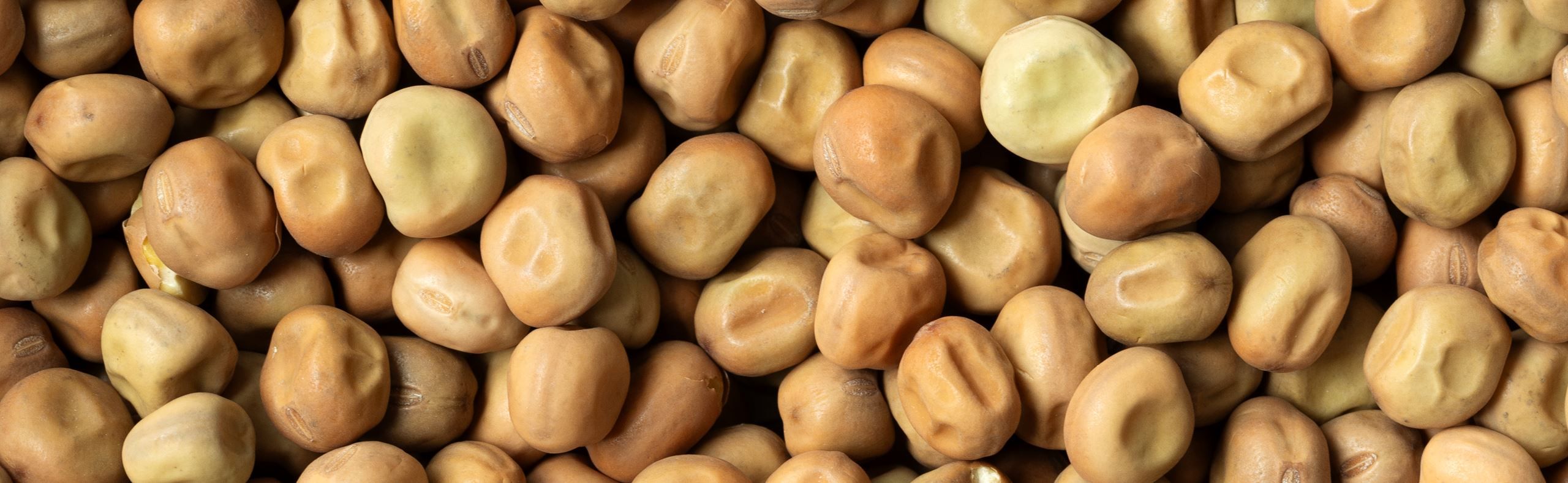 Lollandske Rosiner​​​​‌﻿‍﻿​‍​‍‌‍﻿﻿‌﻿​‍‌‍‍‌‌‍‌﻿‌‍‍‌‌‍﻿‍​‍​‍​﻿‍‍​‍​‍‌﻿​﻿‌‍​‌‌‍﻿‍‌‍‍‌‌﻿‌​‌﻿‍‌​‍﻿‍‌‍‍‌‌‍﻿﻿​‍​‍​‍﻿​​‍​‍‌‍‍​‌﻿​‍‌‍‌‌‌‍‌‍​‍​‍​﻿‍‍​‍​‍‌‍‍​‌﻿‌​‌﻿‌​‌﻿​​​﻿‍‍​‍﻿﻿​‍﻿﻿‌‍﻿​‌‍﻿﻿‌‍​﻿‌‍​‌‌‍﻿​‌‍‍​‌‍﻿﻿‌﻿​﻿‌﻿‌​​﻿‍‍​﻿​﻿​﻿​﻿​﻿​﻿​﻿​﻿​‍﻿﻿‌‍‍‌‌‍﻿‍‌﻿‌​‌‍‌‌‌‍﻿‍‌﻿‌​​‍﻿﻿‌‍‌‌‌‍‌​‌‍‍‌‌﻿‌​​‍﻿﻿‌‍﻿‌‌‍﻿﻿‌‍‌​‌‍‌‌​﻿﻿‌‌﻿​​‌﻿​‍‌‍‌‌‌﻿​﻿‌‍‌‌‌‍﻿‍‌﻿‌​‌‍​‌‌﻿‌​‌‍‍‌‌‍﻿﻿‌‍﻿‍​﻿‍﻿‌‍‍‌‌‍‌​​﻿﻿‌​﻿‍​​﻿‍​​﻿‍‌​﻿‌﻿​﻿​‌​﻿​​‌‍‌‍‌‍‌‍​‍﻿‌‌‍‌‌​﻿​﻿​﻿​﻿‌‍​‍​‍﻿‌​﻿‌​‌‍‌‍​﻿‍‌​﻿​​​‍﻿‌​﻿‍‌‌‍‌‌​﻿​​‌‍‌​​‍﻿‌​﻿​﻿‌‍​﻿​﻿‌‌​﻿​‌​﻿‌﻿​﻿​‌​﻿​‍‌‍‌‍‌‍​﻿‌‍‌‌‌‍‌‍‌‍‌​​﻿‍﻿‌﻿‌​‌﻿‍‌‌﻿​​‌‍‌‌​﻿﻿‌‌‍​‌‌﻿​‍‌﻿‌​‌‍‍‌‌‍​﻿‌‍﻿​‌‍‌‌​﻿‍﻿‌﻿​​‌‍​‌‌﻿‌​‌‍‍​​﻿﻿‌‌﻿​​‌‍﻿﻿‌﻿​‍‌﻿‌​‌‍​‌‌‍​‍‌‍﻿​‌‍‌‌‌﻿‌​‌‍‌‌‌﻿‍​‌﻿‌​​‍‌‌​﻿‌‌‌​​‍‌‌﻿﻿‌‍‍﻿‌‍‌‌‌﻿‍‌​‍‌‌​﻿​﻿‌​‌​​‍‌‌​﻿​﻿‌​‌​​‍‌‌​﻿​‍​﻿​‍‌‍​﻿​﻿‍​‌‍​‍​﻿‌​‌‍​﻿​﻿​‍​﻿‍‌‌‍‌‍​‍‌‌​﻿​‍​﻿​‍​‍‌‌​﻿‌‌‌​‌​​‍﻿‍‌‍​﻿‌‍​‌‌﻿​‍‌‍‌​‌﻿​﻿​‍‌‌​﻿‌‌‌​​‍‌‌﻿﻿‌‍‍﻿‌‍‌‌‌﻿‍‌​‍‌‌​﻿​﻿‌​‌​​‍‌‌​﻿​﻿‌​‌​​‍‌‌​﻿​‍​﻿​‍​﻿‌‍‌‍​﻿​﻿​​​﻿​‍​﻿‍‌​﻿‌‌​﻿‍​‌‍​‍​‍‌‌​﻿​‍​﻿​‍​‍‌‌​﻿‌‌‌​‌​​‍﻿‍‌‍‍‌‌‍﻿‌‌‍​‌‌‍‌﻿‌‍‌‌​‍﻿‍‌‍​‌‌‍﻿​‌﻿‌​​﻿﻿﻿‌‍​‍‌‍​‌‌﻿​﻿‌‍‌‌‌‌‌‌‌﻿​‍‌‍﻿​​﻿﻿‌‌‍‍​‌﻿‌​‌﻿‌​‌﻿​​​‍‌‌​﻿​﻿‌​​‌​‍‌‌​﻿​‍‌​‌‍​‍‌‌​﻿​‍‌​‌‍‌‍﻿​‌‍﻿﻿‌‍​﻿‌‍​‌‌‍﻿​‌‍‍​‌‍﻿﻿‌﻿​﻿‌﻿‌​​‍‌‌​﻿​﻿‌​​‌​﻿​﻿​﻿​﻿​﻿​﻿​﻿​﻿​‍‌‍‌‍‍‌‌‍‌​​﻿﻿‌​﻿‍​​﻿‍​​﻿‍‌​﻿‌﻿​﻿​‌​﻿​​‌‍‌‍‌‍‌‍​‍﻿‌‌‍‌‌​﻿​﻿​﻿​﻿‌‍​‍​‍﻿‌​﻿‌​‌‍‌‍​﻿‍‌​﻿​​​‍﻿‌​﻿‍‌‌‍‌‌​﻿​​‌‍‌​​‍﻿‌​﻿​﻿‌‍​﻿​﻿‌‌​﻿​‌​﻿‌﻿​﻿​‌​﻿​‍‌‍‌‍‌‍​﻿‌‍‌‌‌‍‌‍‌‍‌​​‍‌‍‌﻿‌​‌﻿‍‌‌﻿​​‌‍‌‌​﻿﻿‌‌‍​‌‌﻿​‍‌﻿‌​‌‍‍‌‌‍​﻿‌‍﻿​‌‍‌‌​‍‌‍‌﻿​​‌‍​‌‌﻿‌​‌‍‍​​﻿﻿‌‌﻿​​‌‍﻿﻿‌﻿​‍‌﻿‌​‌‍​‌‌‍​‍‌‍﻿​‌‍‌‌‌﻿‌​‌‍‌‌‌﻿‍​‌﻿‌​​‍‌‌​﻿‌‌‌​​‍‌‌﻿﻿‌‍‍﻿‌‍‌‌‌﻿‍‌​‍‌‌​﻿​﻿‌​‌​​‍‌‌​﻿​﻿‌​‌​​‍‌‌​﻿​‍​﻿​‍‌‍​﻿​﻿‍​‌‍​‍​﻿‌​‌‍​﻿​﻿​‍​﻿‍‌‌‍‌‍​‍‌‌​﻿​‍​﻿​‍​‍‌‌​﻿‌‌‌​‌​​‍﻿‍‌‍​﻿‌‍​‌‌﻿​‍‌‍‌​‌﻿​﻿​‍‌‌​﻿‌‌‌​​‍‌‌﻿﻿‌‍‍﻿‌‍‌‌‌﻿‍‌​‍‌‌​﻿​﻿‌​‌​​‍‌‌​﻿​﻿‌​‌​​‍‌‌​﻿​‍​﻿​‍​﻿‌‍‌‍​﻿​﻿​​​﻿​‍​﻿‍‌​﻿‌‌​﻿‍​‌‍​‍​‍‌‌​﻿​‍​﻿​‍​‍‌‌​﻿‌‌‌​‌​​‍﻿‍‌‍‍‌‌‍﻿‌‌‍​‌‌‍‌﻿‌‍‌‌​‍﻿‍‌‍​‌‌‍﻿​‌﻿‌​​‍‌‍‌﻿​​‌‍‌‌‌﻿​‍‌﻿​﻿‌﻿​​‌‍‌‌‌‍​﻿‌﻿‌​‌‍‍‌‌﻿‌‍‌‍‌‌​﻿﻿‌‌﻿​​‌﻿‌‌‌‍​‍‌‍﻿​‌‍‍‌‌﻿​﻿‌‍‍​‌‍‌‌‌‍‌​​‍​‍‌﻿﻿‌