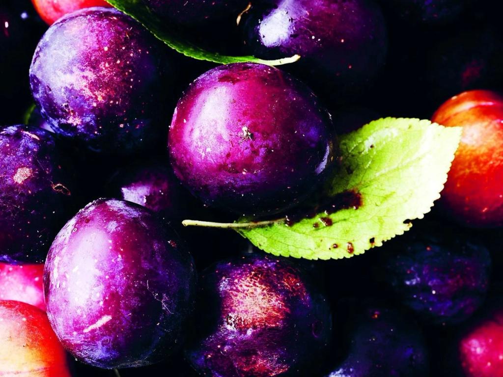 Spis sæsonens råvarer i august