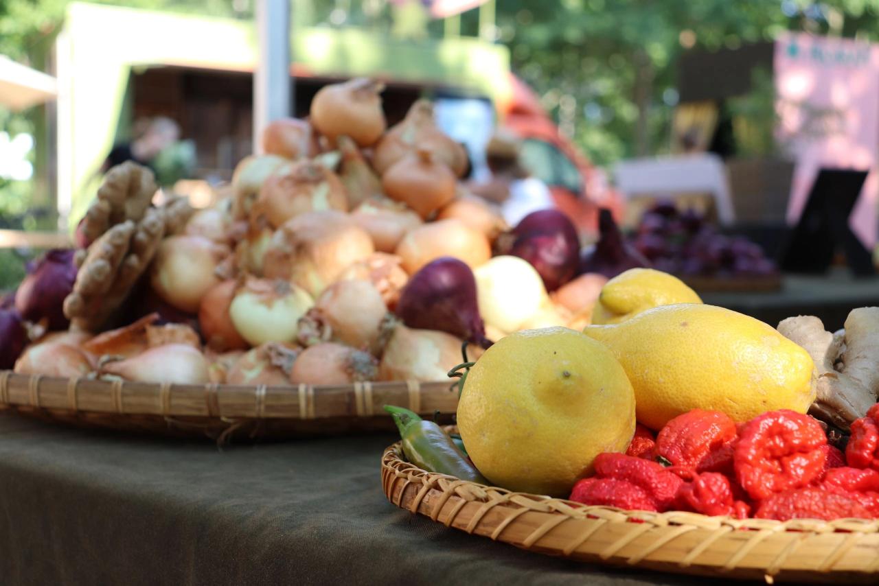 Generelt fylder bæredygtighedsstanken og idéen om at bruge ’det hele’ meget for os".​​​​‌﻿‍﻿​‍​‍‌‍﻿﻿‌﻿​‍‌‍‍‌‌‍‌﻿‌‍‍‌‌‍﻿‍​‍​‍​﻿‍‍​‍​‍‌﻿​﻿‌‍​‌‌‍﻿‍‌‍‍‌‌﻿‌​‌﻿‍‌​‍﻿‍‌‍‍‌‌‍﻿﻿​‍​‍​‍﻿​​‍​‍‌‍‍​‌﻿​‍‌‍‌‌‌‍‌‍​‍​‍​﻿‍‍​‍​‍‌‍‍​‌﻿‌​‌﻿‌​‌﻿​​​﻿‍‍​‍﻿﻿​‍﻿﻿‌‍﻿​‌‍﻿﻿‌‍​﻿‌‍​‌‌‍﻿​‌‍‍​‌‍﻿﻿‌﻿​﻿‌﻿‌​​﻿‍‍​﻿​﻿​﻿​﻿​﻿​﻿​﻿​﻿​‍﻿﻿‌‍‍‌‌‍﻿‍‌﻿‌​‌‍‌‌‌‍﻿‍‌﻿‌​​‍﻿﻿‌‍‌‌‌‍‌​‌‍‍‌‌﻿‌​​‍﻿﻿‌‍﻿‌‌‍﻿﻿‌‍‌​‌‍‌‌​﻿﻿‌‌﻿​​‌﻿​‍‌‍‌‌‌﻿​﻿‌‍‌‌‌‍﻿‍‌﻿‌​‌‍​‌‌﻿‌​‌‍‍‌‌‍﻿﻿‌‍﻿‍​﻿‍﻿‌‍‍‌‌‍‌​​﻿﻿‌​﻿‌​​﻿‌﻿​﻿‍‌​﻿​‍‌‍‌‍​﻿‌‌​﻿​‍‌‍​‌​‍﻿‌‌‍‌​​﻿​﻿‌‍​‌‌‍​‍​‍﻿‌​﻿‌​​﻿‍​​﻿​﻿​﻿‍‌​‍﻿‌‌‍​‍​﻿‌﻿​﻿‍‌​﻿‌‍​‍﻿‌‌‍‌‍​﻿‌‍​﻿​​​﻿‌​​﻿​​‌‍​‌‌‍​﻿​﻿‌﻿​﻿‌﻿‌‍​‌‌‍‌‍​﻿‍‌​﻿‍﻿‌﻿‌​‌﻿‍‌‌﻿​​‌‍‌‌​﻿﻿‌‌‍​‌‌﻿​‍‌﻿‌​‌‍‍‌‌‍​﻿‌‍﻿​‌‍‌‌​﻿‍﻿‌﻿​​‌‍​‌‌﻿‌​‌‍‍​​﻿﻿‌‌﻿​​‌‍﻿﻿‌﻿​‍‌﻿‌​‌‍​‌‌‍​‍‌‍﻿​‌‍‌‌‌﻿‌​‌‍‌‌‌﻿‍​‌﻿‌​​‍‌‌​﻿‌‌‌​​‍‌‌﻿﻿‌‍‍﻿‌‍‌‌‌﻿‍‌​‍‌‌​﻿​﻿‌​‌​​‍‌‌​﻿​﻿‌​‌​​‍‌‌​﻿​‍​﻿​‍‌‍​﻿​﻿‍​​﻿​‍‌‍‌‍​﻿​﻿‌‍​﻿​﻿​﻿​﻿​‌​‍‌‌​﻿​‍​﻿​‍​‍‌‌​﻿‌‌‌​‌​​‍﻿‍‌﻿​﻿‌‍﻿​‌‍‍‌‌‍‌​‌‍‌‌‌﻿​﻿​‍‌‌​﻿‌‌‌​​‍‌‌﻿﻿‌‍‍﻿‌‍‌‌‌﻿‍‌​‍‌‌​﻿​﻿‌​‌​​‍‌‌​﻿​﻿‌​‌​​‍‌‌​﻿​‍​﻿​‍‌‍‌‌‌‍​﻿​﻿‌‍​﻿​‍‌‍‌​‌‍‌‍​﻿‌​‌‍​‌​‍‌‌​﻿​‍​﻿​‍​‍‌‌​﻿‌‌‌​‌​​‍﻿‍‌‍‍‌‌‍﻿‌‌‍​‌‌‍‌﻿‌‍‌‌​‍﻿‍‌‍​‌‌‍﻿​‌﻿‌​​﻿﻿﻿‌‍​‍‌‍​‌‌﻿​﻿‌‍‌‌‌‌‌‌‌﻿​‍‌‍﻿​​﻿﻿‌‌‍‍​‌﻿‌​‌﻿‌​‌﻿​​​‍‌‌​﻿​﻿‌​​‌​‍‌‌​﻿​‍‌​‌‍​‍‌‌​﻿​‍‌​‌‍‌‍﻿​‌‍﻿﻿‌‍​﻿‌‍​‌‌‍﻿​‌‍‍​‌‍﻿﻿‌﻿​﻿‌﻿‌​​‍‌‌​﻿​﻿‌​​‌​﻿​﻿​﻿​﻿​﻿​﻿​﻿​﻿​‍‌‍‌‍‍‌‌‍‌​​﻿﻿‌​﻿‌​​﻿‌﻿​﻿‍‌​﻿​‍‌‍‌‍​﻿‌‌​﻿​‍‌‍​‌​‍﻿‌‌‍‌​​﻿​﻿‌‍​‌‌‍​‍​‍﻿‌​﻿‌​​﻿‍​​﻿​﻿​﻿‍‌​‍﻿‌‌‍​‍​﻿‌﻿​﻿‍‌​﻿‌‍​‍﻿‌‌‍‌‍​﻿‌‍​﻿​​​﻿‌​​﻿​​‌‍​‌‌‍​﻿​﻿‌﻿​﻿‌﻿‌‍​‌‌‍‌‍​﻿‍‌​‍‌‍‌﻿‌​‌﻿‍‌‌﻿​​‌‍‌‌​﻿﻿‌‌‍​‌‌﻿​‍‌﻿‌​‌‍‍‌‌‍​﻿‌‍﻿​‌‍‌‌​‍‌‍‌﻿​​‌‍​‌‌﻿‌​‌‍‍​​﻿﻿‌‌﻿​​‌‍﻿﻿‌﻿​‍‌﻿‌​‌‍​‌‌‍​‍‌‍﻿​‌‍‌‌‌﻿‌​‌‍‌‌‌﻿‍​‌﻿‌​​‍‌‌​﻿‌‌‌​​‍‌‌﻿﻿‌‍‍﻿‌‍‌‌‌﻿‍‌​‍‌‌​﻿​﻿‌​‌​​‍‌‌​﻿​﻿‌​‌​​‍‌‌​﻿​‍​﻿​‍‌‍​﻿​﻿‍​​﻿​‍‌‍‌‍​﻿​﻿‌‍​﻿​﻿​﻿​﻿​‌​‍‌‌​﻿​‍​﻿​‍​‍‌‌​﻿‌‌‌​‌​​‍﻿‍‌﻿​﻿‌‍﻿​‌‍‍‌‌‍‌​‌‍‌‌‌﻿​﻿​‍‌‌​﻿‌‌‌​​‍‌‌﻿﻿‌‍‍﻿‌‍‌‌‌﻿‍‌​‍‌‌​﻿​﻿‌​‌​​‍‌‌​﻿​﻿‌​‌​​‍‌‌​﻿​‍​﻿​‍‌‍‌‌‌‍​﻿​﻿‌‍​﻿​‍‌‍‌​‌‍‌‍​﻿‌​‌‍​‌​‍‌‌​﻿​‍​﻿​‍​‍‌‌​﻿‌‌‌​‌​​‍﻿‍‌‍‍‌‌‍﻿‌‌‍​‌‌‍‌﻿‌‍‌‌​‍﻿‍‌‍​‌‌‍﻿​‌﻿‌​​‍‌‍‌﻿​​‌‍‌‌‌﻿​‍‌﻿​﻿‌﻿​​‌‍‌‌‌‍​﻿‌﻿‌​‌‍‍‌‌﻿‌‍‌‍‌‌​﻿﻿‌‌﻿​​‌﻿‌‌‌‍​‍‌‍﻿​‌‍‍‌‌﻿​﻿‌‍‍​‌‍‌‌‌‍‌​​‍​‍‌﻿﻿‌