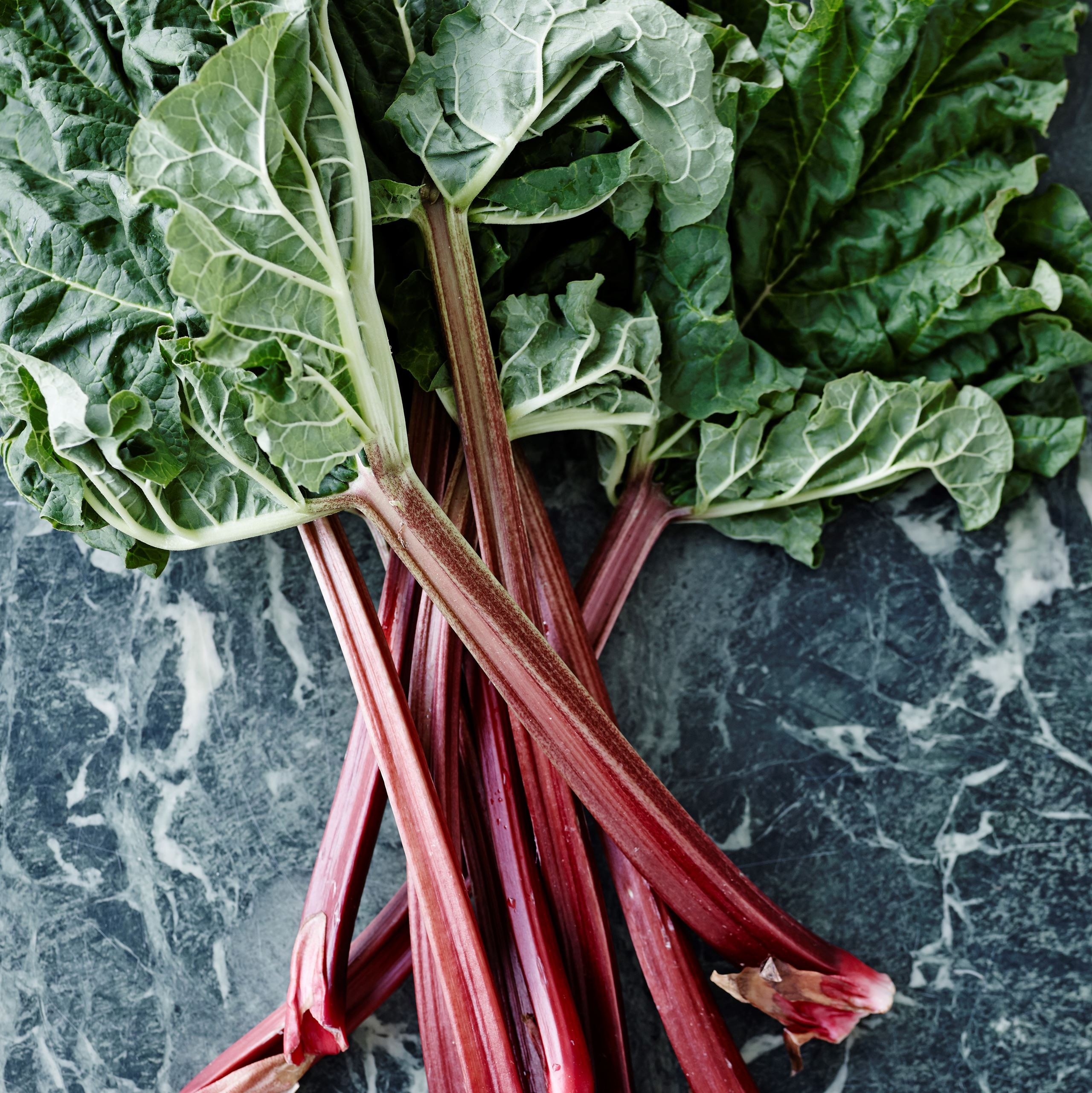 Vi elsker rabarber - både i det salte og søde køkken​​​​‌﻿‍﻿​‍​‍‌‍﻿﻿‌﻿​‍‌‍‍‌‌‍‌﻿‌‍‍‌‌‍﻿‍​‍​‍​﻿‍‍​‍​‍‌﻿​﻿‌‍​‌‌‍﻿‍‌‍‍‌‌﻿‌​‌﻿‍‌​‍﻿‍‌‍‍‌‌‍﻿﻿​‍​‍​‍﻿​​‍​‍‌‍‍​‌﻿​‍‌‍‌‌‌‍‌‍​‍​‍​﻿‍‍​‍​‍‌‍‍​‌﻿‌​‌﻿‌​‌﻿​​​﻿‍‍​‍﻿﻿​‍﻿﻿‌‍﻿​‌‍﻿﻿‌‍​﻿‌‍​‌‌‍﻿​‌‍‍​‌‍﻿﻿‌﻿​﻿‌﻿‌​​﻿‍‍​﻿​﻿​﻿​﻿​﻿​﻿​﻿​﻿​‍﻿﻿‌‍‍‌‌‍﻿‍‌﻿‌​‌‍‌‌‌‍﻿‍‌﻿‌​​‍﻿﻿‌‍‌‌‌‍‌​‌‍‍‌‌﻿‌​​‍﻿﻿‌‍﻿‌‌‍﻿﻿‌‍‌​‌‍‌‌​﻿﻿‌‌﻿​​‌﻿​‍‌‍‌‌‌﻿​﻿‌‍‌‌‌‍﻿‍‌﻿‌​‌‍​‌‌﻿‌​‌‍‍‌‌‍﻿﻿‌‍﻿‍​﻿‍﻿‌‍‍‌‌‍‌​​﻿﻿‌​﻿​﻿‌‍‌‌‌‍​‌​﻿‌​‌‍​‌‌‍‌‍​﻿‍‌​﻿‌﻿​‍﻿‌​﻿‌​​﻿​‌​﻿​﻿‌‍‌​​‍﻿‌​﻿‌​​﻿‌​‌‍​‌‌‍​‍​‍﻿‌​﻿‍‌‌‍‌​​﻿‌﻿​﻿‍​​‍﻿‌​﻿‍‌​﻿​​‌‍​‌‌‍‌​‌‍​‍​﻿‌​​﻿‌‍​﻿‍‌‌‍​‍‌‍‌‍​﻿‌‌‌‍‌‍​﻿‍﻿‌﻿‌​‌﻿‍‌‌﻿​​‌‍‌‌​﻿﻿‌‌‍​‌‌﻿​‍‌﻿‌​‌‍‍‌‌‍​﻿‌‍﻿​‌‍‌‌​﻿‍﻿‌﻿​​‌‍​‌‌﻿‌​‌‍‍​​﻿﻿‌‌‍‍‌‌‍﻿‌‌‍​‌‌‍‌﻿‌‍‌‌​‍﻿‍‌‍​‌‌‍﻿​‌﻿‌​​﻿﻿﻿‌‍​‍‌‍​‌‌﻿​﻿‌‍‌‌‌‌‌‌‌﻿​‍‌‍﻿​​﻿﻿‌‌‍‍​‌﻿‌​‌﻿‌​‌﻿​​​‍‌‌​﻿​﻿‌​​‌​‍‌‌​﻿​‍‌​‌‍​‍‌‌​﻿​‍‌​‌‍‌‍﻿​‌‍﻿﻿‌‍​﻿‌‍​‌‌‍﻿​‌‍‍​‌‍﻿﻿‌﻿​﻿‌﻿‌​​‍‌‌​﻿​﻿‌​​‌​﻿​﻿​﻿​﻿​﻿​﻿​﻿​﻿​‍‌‍‌‍‍‌‌‍‌​​﻿﻿‌​﻿​﻿‌‍‌‌‌‍​‌​﻿‌​‌‍​‌‌‍‌‍​﻿‍‌​﻿‌﻿​‍﻿‌​﻿‌​​﻿​‌​﻿​﻿‌‍‌​​‍﻿‌​﻿‌​​﻿‌​‌‍​‌‌‍​‍​‍﻿‌​﻿‍‌‌‍‌​​﻿‌﻿​﻿‍​​‍﻿‌​﻿‍‌​﻿​​‌‍​‌‌‍‌​‌‍​‍​﻿‌​​﻿‌‍​﻿‍‌‌‍​‍‌‍‌‍​﻿‌‌‌‍‌‍​‍‌‍‌﻿‌​‌﻿‍‌‌﻿​​‌‍‌‌​﻿﻿‌‌‍​‌‌﻿​‍‌﻿‌​‌‍‍‌‌‍​﻿‌‍﻿​‌‍‌‌​‍‌‍‌﻿​​‌‍​‌‌﻿‌​‌‍‍​​﻿﻿‌‌‍‍‌‌‍﻿‌‌‍​‌‌‍‌﻿‌‍‌‌​‍﻿‍‌‍​‌‌‍﻿​‌﻿‌​​‍‌‍‌﻿​​‌‍‌‌‌﻿​‍‌﻿​﻿‌﻿​​‌‍‌‌‌‍​﻿‌﻿‌​‌‍‍‌‌﻿‌‍‌‍‌‌​﻿﻿‌‌﻿​​‌﻿‌‌‌‍​‍‌‍﻿​‌‍‍‌‌﻿​﻿‌‍‍​‌‍‌‌‌‍‌​​‍​‍‌﻿﻿‌