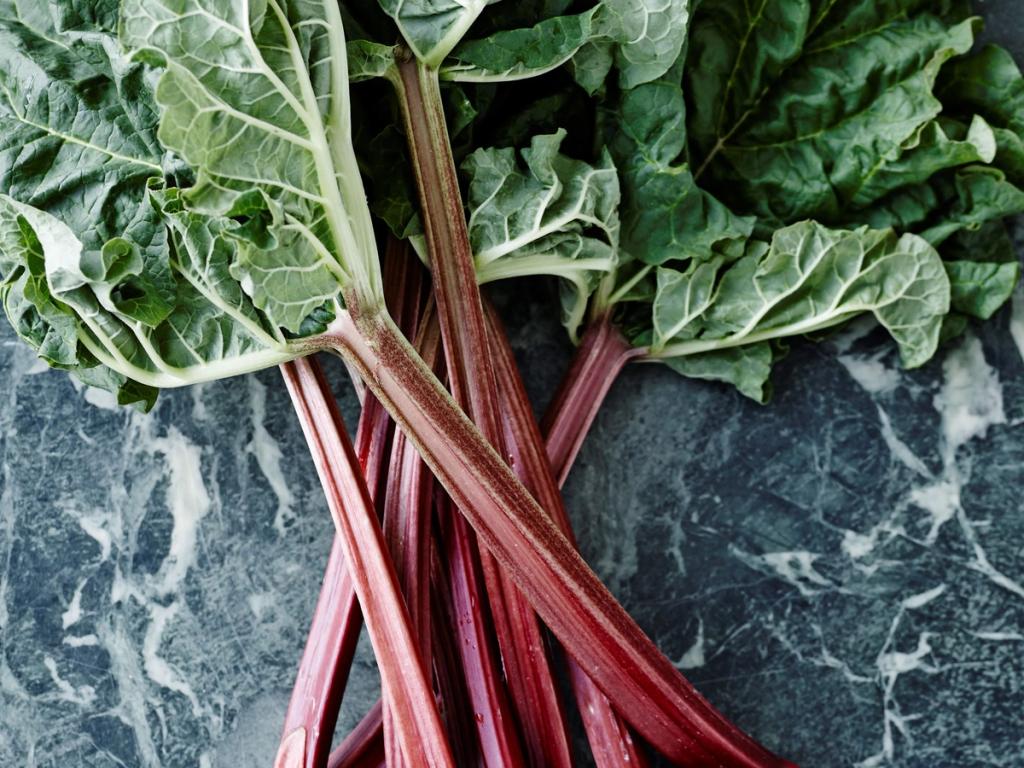 Vi elsker rabarber - både i det salte og søde køkken