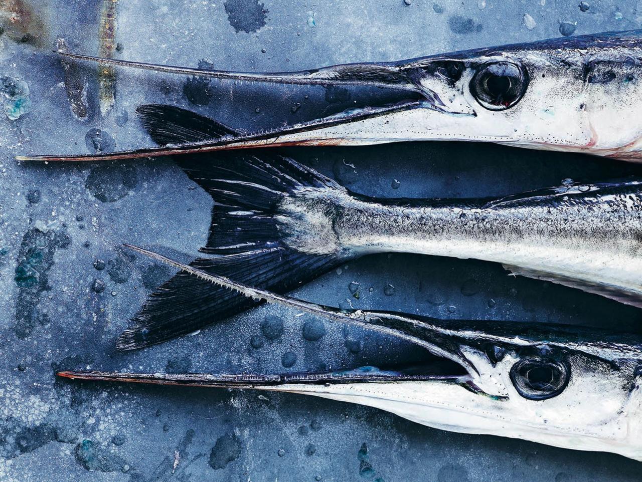 Inspiration og opskrifter​​​​‌﻿‍﻿​‍​‍‌‍﻿﻿‌﻿​‍‌‍‍‌‌‍‌﻿‌‍‍‌‌‍﻿‍​‍​‍​﻿‍‍​‍​‍‌﻿​﻿‌‍​‌‌‍﻿‍‌‍‍‌‌﻿‌​‌﻿‍‌​‍﻿‍‌‍‍‌‌‍﻿﻿​‍​‍​‍﻿​​‍​‍‌‍‍​‌﻿​‍‌‍‌‌‌‍‌‍​‍​‍​﻿‍‍​‍​‍‌‍‍​‌﻿‌​‌﻿‌​‌﻿​​​﻿‍‍​‍﻿﻿​‍﻿﻿‌‍﻿​‌‍﻿﻿‌‍​﻿‌‍​‌‌‍﻿​‌‍‍​‌‍﻿﻿‌﻿​﻿‌﻿‌​​﻿‍‍​﻿​﻿​﻿​﻿​﻿​﻿​﻿​﻿​‍﻿﻿‌‍‍‌‌‍﻿‍‌﻿‌​‌‍‌‌‌‍﻿‍‌﻿‌​​‍﻿﻿‌‍‌‌‌‍‌​‌‍‍‌‌﻿‌​​‍﻿﻿‌‍﻿‌‌‍﻿﻿‌‍‌​‌‍‌‌​﻿﻿‌‌﻿​​‌﻿​‍‌‍‌‌‌﻿​﻿‌‍‌‌‌‍﻿‍‌﻿‌​‌‍​‌‌﻿‌​‌‍‍‌‌‍﻿﻿‌‍﻿‍​﻿‍﻿‌‍‍‌‌‍‌​​﻿﻿‌​﻿‌﻿‌‍​﻿​﻿‌‌​﻿‌​​﻿‍​​﻿‌‌​﻿‌​​﻿‍‌​‍﻿‌‌‍‌​​﻿​‌‌‍​﻿​﻿​﻿​‍﻿‌​﻿‌​​﻿‌‌​﻿​‌​﻿‌‌​‍﻿‌​﻿‍‌​﻿​﻿​﻿‌﻿​﻿​‍​‍﻿‌​﻿‍​​﻿‍‌‌‍‌‍​﻿‍‌‌‍​‌​﻿​​‌‍​‍‌‍‌‍​﻿‌​‌‍‌‍‌‍​‌​﻿‌‌​﻿‍﻿‌﻿‌​‌﻿‍‌‌﻿​​‌‍‌‌​﻿﻿‌‌‍​‌‌﻿​‍‌﻿‌​‌‍‍‌‌‍​﻿‌‍﻿​‌‍‌‌​﻿‍﻿‌﻿​​‌‍​‌‌﻿‌​‌‍‍​​﻿﻿‌‌﻿​​‌‍﻿﻿‌﻿​‍‌﻿‌​‌‍​‌‌‍​‍‌‍﻿​‌‍‌‌‌﻿‌​‌‍‌‌‌﻿‍​‌﻿‌​​‍‌‌​﻿‌‌‌​​‍‌‌﻿﻿‌‍‍﻿‌‍‌‌‌﻿‍‌​‍‌‌​﻿​﻿‌​‌​​‍‌‌​﻿​﻿‌​‌​​‍‌‌​﻿​‍​﻿​‍​﻿‌‌​﻿​‌‌‍‌‍‌‍​‌​﻿‌‍​﻿‌‍​﻿​‌‌‍‌​​‍‌‌​﻿​‍​﻿​‍​‍‌‌​﻿‌‌‌​‌​​‍﻿‍‌﻿​﻿‌‍﻿​‌‍‍‌‌‍‌​‌‍‌‌‌﻿​﻿​‍‌‌​﻿‌‌‌​​‍‌‌﻿﻿‌‍‍﻿‌‍‌‌‌﻿‍‌​‍‌‌​﻿​﻿‌​‌​​‍‌‌​﻿​﻿‌​‌​​‍‌‌​﻿​‍​﻿​‍​﻿​﻿​﻿‌‍​﻿‌﻿​﻿‌​​﻿​​​﻿​﻿​﻿‌‌​﻿​‌​‍‌‌​﻿​‍​﻿​‍​‍‌‌​﻿‌‌‌​‌​​‍﻿‍‌‍‍‌‌‍﻿‌‌‍​‌‌‍‌﻿‌‍‌‌​‍﻿‍‌‍​‌‌‍﻿​‌﻿‌​​﻿﻿﻿‌‍​‍‌‍​‌‌﻿​﻿‌‍‌‌‌‌‌‌‌﻿​‍‌‍﻿​​﻿﻿‌‌‍‍​‌﻿‌​‌﻿‌​‌﻿​​​‍‌‌​﻿​﻿‌​​‌​‍‌‌​﻿​‍‌​‌‍​‍‌‌​﻿​‍‌​‌‍‌‍﻿​‌‍﻿﻿‌‍​﻿‌‍​‌‌‍﻿​‌‍‍​‌‍﻿﻿‌﻿​﻿‌﻿‌​​‍‌‌​﻿​﻿‌​​‌​﻿​﻿​﻿​﻿​﻿​﻿​﻿​﻿​‍‌‍‌‍‍‌‌‍‌​​﻿﻿‌​﻿‌﻿‌‍​﻿​﻿‌‌​﻿‌​​﻿‍​​﻿‌‌​﻿‌​​﻿‍‌​‍﻿‌‌‍‌​​﻿​‌‌‍​﻿​﻿​﻿​‍﻿‌​﻿‌​​﻿‌‌​﻿​‌​﻿‌‌​‍﻿‌​﻿‍‌​﻿​﻿​﻿‌﻿​﻿​‍​‍﻿‌​﻿‍​​﻿‍‌‌‍‌‍​﻿‍‌‌‍​‌​﻿​​‌‍​‍‌‍‌‍​﻿‌​‌‍‌‍‌‍​‌​﻿‌‌​‍‌‍‌﻿‌​‌﻿‍‌‌﻿​​‌‍‌‌​﻿﻿‌‌‍​‌‌﻿​‍‌﻿‌​‌‍‍‌‌‍​﻿‌‍﻿​‌‍‌‌​‍‌‍‌﻿​​‌‍​‌‌﻿‌​‌‍‍​​﻿﻿‌‌﻿​​‌‍﻿﻿‌﻿​‍‌﻿‌​‌‍​‌‌‍​‍‌‍﻿​‌‍‌‌‌﻿‌​‌‍‌‌‌﻿‍​‌﻿‌​​‍‌‌​﻿‌‌‌​​‍‌‌﻿﻿‌‍‍﻿‌‍‌‌‌﻿‍‌​‍‌‌​﻿​﻿‌​‌​​‍‌‌​﻿​﻿‌​‌​​‍‌‌​﻿​‍​﻿​‍​﻿‌‌​﻿​‌‌‍‌‍‌‍​‌​﻿‌‍​﻿‌‍​﻿​‌‌‍‌​​‍‌‌​﻿​‍​﻿​‍​‍‌‌​﻿‌‌‌​‌​​‍﻿‍‌﻿​﻿‌‍﻿​‌‍‍‌‌‍‌​‌‍‌‌‌﻿​﻿​‍‌‌​﻿‌‌‌​​‍‌‌﻿﻿‌‍‍﻿‌‍‌‌‌﻿‍‌​‍‌‌​﻿​﻿‌​‌​​‍‌‌​﻿​﻿‌​‌​​‍‌‌​﻿​‍​﻿​‍​﻿​﻿​﻿‌‍​﻿‌﻿​﻿‌​​﻿​​​﻿​﻿​﻿‌‌​﻿​‌​‍‌‌​﻿​‍​﻿​‍​‍‌‌​﻿‌‌‌​‌​​‍﻿‍‌‍‍‌‌‍﻿‌‌‍​‌‌‍‌﻿‌‍‌‌​‍﻿‍‌‍​‌‌‍﻿​‌﻿‌​​‍‌‍‌﻿​​‌‍‌‌‌﻿​‍‌﻿​﻿‌﻿​​‌‍‌‌‌‍​﻿‌﻿‌​‌‍‍‌‌﻿‌‍‌‍‌‌​﻿﻿‌‌﻿​​‌﻿‌‌‌‍​‍‌‍﻿​‌‍‍‌‌﻿​﻿‌‍‍​‌‍‌‌‌‍‌​​‍​‍‌﻿﻿‌