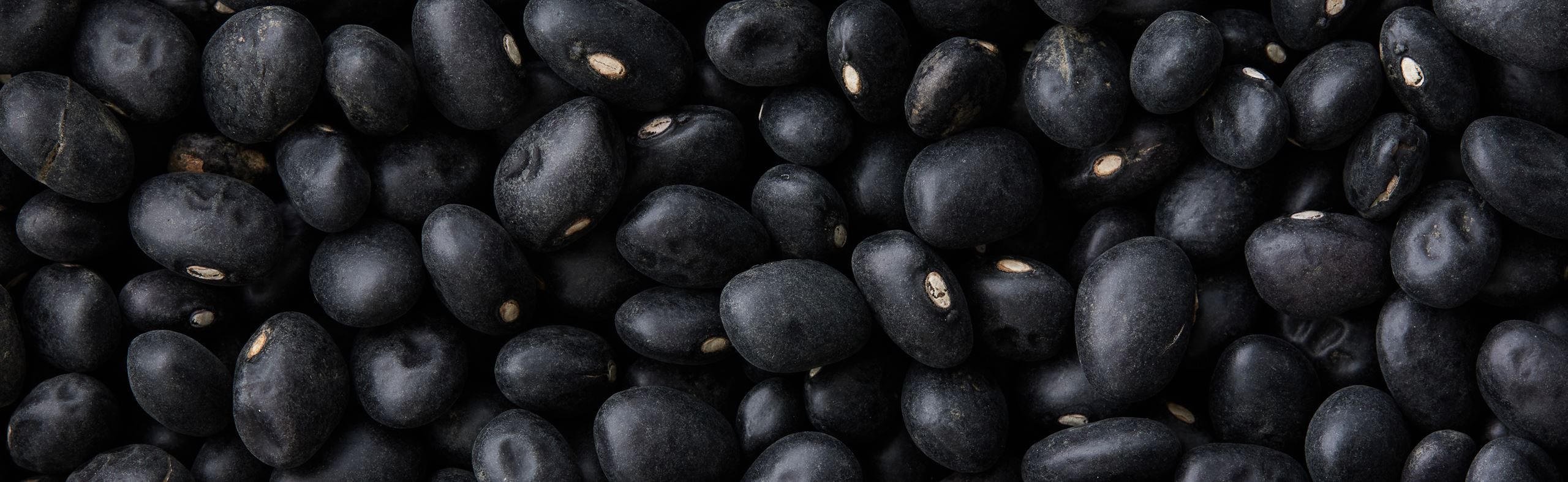 Sorte bønner​​​​‌﻿‍﻿​‍​‍‌‍﻿﻿‌﻿​‍‌‍‍‌‌‍‌﻿‌‍‍‌‌‍﻿‍​‍​‍​﻿‍‍​‍​‍‌﻿​﻿‌‍​‌‌‍﻿‍‌‍‍‌‌﻿‌​‌﻿‍‌​‍﻿‍‌‍‍‌‌‍﻿﻿​‍​‍​‍﻿​​‍​‍‌‍‍​‌﻿​‍‌‍‌‌‌‍‌‍​‍​‍​﻿‍‍​‍​‍‌‍‍​‌﻿‌​‌﻿‌​‌﻿​​​﻿‍‍​‍﻿﻿​‍﻿﻿‌‍﻿​‌‍﻿﻿‌‍​﻿‌‍​‌‌‍﻿​‌‍‍​‌‍﻿﻿‌﻿​﻿‌﻿‌​​﻿‍‍​﻿​﻿​﻿​﻿​﻿​﻿​﻿​﻿​‍﻿﻿‌‍‍‌‌‍﻿‍‌﻿‌​‌‍‌‌‌‍﻿‍‌﻿‌​​‍﻿﻿‌‍‌‌‌‍‌​‌‍‍‌‌﻿‌​​‍﻿﻿‌‍﻿‌‌‍﻿﻿‌‍‌​‌‍‌‌​﻿﻿‌‌﻿​​‌﻿​‍‌‍‌‌‌﻿​﻿‌‍‌‌‌‍﻿‍‌﻿‌​‌‍​‌‌﻿‌​‌‍‍‌‌‍﻿﻿‌‍﻿‍​﻿‍﻿‌‍‍‌‌‍‌​​﻿﻿‌​﻿‍​​﻿‍​​﻿‍‌​﻿‌﻿​﻿​‌​﻿​​‌‍‌‍‌‍‌‍​‍﻿‌‌‍‌‌​﻿​﻿​﻿​﻿‌‍​‍​‍﻿‌​﻿‌​‌‍‌‍​﻿‍‌​﻿​​​‍﻿‌​﻿‍‌‌‍‌‌​﻿​​‌‍‌​​‍﻿‌​﻿​﻿‌‍​﻿​﻿‌‌​﻿​‌​﻿‌﻿​﻿​‌​﻿​‍‌‍‌‍‌‍​﻿‌‍‌‌‌‍‌‍‌‍‌​​﻿‍﻿‌﻿‌​‌﻿‍‌‌﻿​​‌‍‌‌​﻿﻿‌‌‍​‌‌﻿​‍‌﻿‌​‌‍‍‌‌‍​﻿‌‍﻿​‌‍‌‌​﻿‍﻿‌﻿​​‌‍​‌‌﻿‌​‌‍‍​​﻿﻿‌‌﻿​​‌‍﻿﻿‌﻿​‍‌﻿‌​‌‍​‌‌‍​‍‌‍﻿​‌‍‌‌‌﻿‌​‌‍‌‌‌﻿‍​‌﻿‌​​‍‌‌​﻿‌‌‌​​‍‌‌﻿﻿‌‍‍﻿‌‍‌‌‌﻿‍‌​‍‌‌​﻿​﻿‌​‌​​‍‌‌​﻿​﻿‌​‌​​‍‌‌​﻿​‍​﻿​‍‌‍​﻿​﻿‍​‌‍​‍​﻿‌​‌‍​﻿​﻿​‍​﻿‍‌‌‍‌‍​‍‌‌​﻿​‍​﻿​‍​‍‌‌​﻿‌‌‌​‌​​‍﻿‍‌‍​﻿‌‍​‌‌﻿​‍‌‍‌​‌﻿​﻿​‍‌‌​﻿‌‌‌​​‍‌‌﻿﻿‌‍‍﻿‌‍‌‌‌﻿‍‌​‍‌‌​﻿​﻿‌​‌​​‍‌‌​﻿​﻿‌​‌​​‍‌‌​﻿​‍​﻿​‍‌‍​‌‌‍‌​​﻿‌‍​﻿‍‌​﻿​‌​﻿​﻿​﻿‌﻿‌‍‌​​‍‌‌​﻿​‍​﻿​‍​‍‌‌​﻿‌‌‌​‌​​‍﻿‍‌‍‍‌‌‍﻿‌‌‍​‌‌‍‌﻿‌‍‌‌​‍﻿‍‌‍​‌‌‍﻿​‌﻿‌​​﻿﻿﻿‌‍​‍‌‍​‌‌﻿​﻿‌‍‌‌‌‌‌‌‌﻿​‍‌‍﻿​​﻿﻿‌‌‍‍​‌﻿‌​‌﻿‌​‌﻿​​​‍‌‌​﻿​﻿‌​​‌​‍‌‌​﻿​‍‌​‌‍​‍‌‌​﻿​‍‌​‌‍‌‍﻿​‌‍﻿﻿‌‍​﻿‌‍​‌‌‍﻿​‌‍‍​‌‍﻿﻿‌﻿​﻿‌﻿‌​​‍‌‌​﻿​﻿‌​​‌​﻿​﻿​﻿​﻿​﻿​﻿​﻿​﻿​‍‌‍‌‍‍‌‌‍‌​​﻿﻿‌​﻿‍​​﻿‍​​﻿‍‌​﻿‌﻿​﻿​‌​﻿​​‌‍‌‍‌‍‌‍​‍﻿‌‌‍‌‌​﻿​﻿​﻿​﻿‌‍​‍​‍﻿‌​﻿‌​‌‍‌‍​﻿‍‌​﻿​​​‍﻿‌​﻿‍‌‌‍‌‌​﻿​​‌‍‌​​‍﻿‌​﻿​﻿‌‍​﻿​﻿‌‌​﻿​‌​﻿‌﻿​﻿​‌​﻿​‍‌‍‌‍‌‍​﻿‌‍‌‌‌‍‌‍‌‍‌​​‍‌‍‌﻿‌​‌﻿‍‌‌﻿​​‌‍‌‌​﻿﻿‌‌‍​‌‌﻿​‍‌﻿‌​‌‍‍‌‌‍​﻿‌‍﻿​‌‍‌‌​‍‌‍‌﻿​​‌‍​‌‌﻿‌​‌‍‍​​﻿﻿‌‌﻿​​‌‍﻿﻿‌﻿​‍‌﻿‌​‌‍​‌‌‍​‍‌‍﻿​‌‍‌‌‌﻿‌​‌‍‌‌‌﻿‍​‌﻿‌​​‍‌‌​﻿‌‌‌​​‍‌‌﻿﻿‌‍‍﻿‌‍‌‌‌﻿‍‌​‍‌‌​﻿​﻿‌​‌​​‍‌‌​﻿​﻿‌​‌​​‍‌‌​﻿​‍​﻿​‍‌‍​﻿​﻿‍​‌‍​‍​﻿‌​‌‍​﻿​﻿​‍​﻿‍‌‌‍‌‍​‍‌‌​﻿​‍​﻿​‍​‍‌‌​﻿‌‌‌​‌​​‍﻿‍‌‍​﻿‌‍​‌‌﻿​‍‌‍‌​‌﻿​﻿​‍‌‌​﻿‌‌‌​​‍‌‌﻿﻿‌‍‍﻿‌‍‌‌‌﻿‍‌​‍‌‌​﻿​﻿‌​‌​​‍‌‌​﻿​﻿‌​‌​​‍‌‌​﻿​‍​﻿​‍‌‍​‌‌‍‌​​﻿‌‍​﻿‍‌​﻿​‌​﻿​﻿​﻿‌﻿‌‍‌​​‍‌‌​﻿​‍​﻿​‍​‍‌‌​﻿‌‌‌​‌​​‍﻿‍‌‍‍‌‌‍﻿‌‌‍​‌‌‍‌﻿‌‍‌‌​‍﻿‍‌‍​‌‌‍﻿​‌﻿‌​​‍‌‍‌﻿​​‌‍‌‌‌﻿​‍‌﻿​﻿‌﻿​​‌‍‌‌‌‍​﻿‌﻿‌​‌‍‍‌‌﻿‌‍‌‍‌‌​﻿﻿‌‌﻿​​‌﻿‌‌‌‍​‍‌‍﻿​‌‍‍‌‌﻿​﻿‌‍‍​‌‍‌‌‌‍‌​​‍​‍‌﻿﻿‌