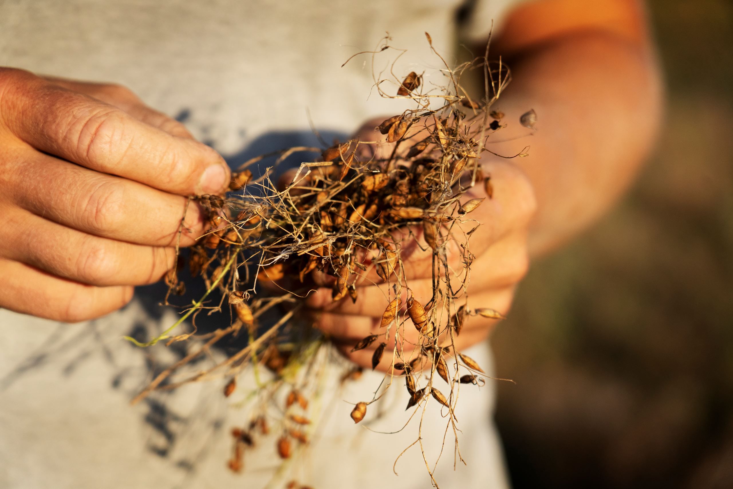 Bæredygtighed: foreløbige resultater​​​​‌﻿‍﻿​‍​‍‌‍﻿﻿‌﻿​‍‌‍‍‌‌‍‌﻿‌‍‍‌‌‍﻿‍​‍​‍​﻿‍‍​‍​‍‌﻿​﻿‌‍​‌‌‍﻿‍‌‍‍‌‌﻿‌​‌﻿‍‌​‍﻿‍‌‍‍‌‌‍﻿﻿​‍​‍​‍﻿​​‍​‍‌‍‍​‌﻿​‍‌‍‌‌‌‍‌‍​‍​‍​﻿‍‍​‍​‍‌‍‍​‌﻿‌​‌﻿‌​‌﻿​​​﻿‍‍​‍﻿﻿​‍﻿﻿‌‍﻿​‌‍﻿﻿‌‍​﻿‌‍​‌‌‍﻿​‌‍‍​‌‍﻿﻿‌﻿​﻿‌﻿‌​​﻿‍‍​﻿​﻿​﻿​﻿​﻿​﻿​﻿​﻿​‍﻿﻿‌‍‍‌‌‍﻿‍‌﻿‌​‌‍‌‌‌‍﻿‍‌﻿‌​​‍﻿﻿‌‍‌‌‌‍‌​‌‍‍‌‌﻿‌​​‍﻿﻿‌‍﻿‌‌‍﻿﻿‌‍‌​‌‍‌‌​﻿﻿‌‌﻿​​‌﻿​‍‌‍‌‌‌﻿​﻿‌‍‌‌‌‍﻿‍‌﻿‌​‌‍​‌‌﻿‌​‌‍‍‌‌‍﻿﻿‌‍﻿‍​﻿‍﻿‌‍‍‌‌‍‌​​﻿﻿‌‌‍​‌‌‍​﻿‌‍‌‌​﻿​​‌‍‌​‌‍​‌‌‍​‍‌‍​﻿​‍﻿‌‌‍‌‌‌‍‌‍​﻿​‌‌‍‌‍​‍﻿‌​﻿‌​​﻿​﻿​﻿​​‌‍‌​​‍﻿‌​﻿‍​​﻿​‌​﻿​‌​﻿​﻿​‍﻿‌​﻿​﻿​﻿​​‌‍​‍​﻿‍‌​﻿​‍​﻿​﻿‌‍​‍​﻿‌‍‌‍​﻿​﻿‌﻿​﻿‌‍‌‍‌‍​﻿‍﻿‌﻿‌​‌﻿‍‌‌﻿​​‌‍‌‌​﻿﻿‌‌‍​‌‌﻿​‍‌﻿‌​‌‍‍‌‌‍​﻿‌‍﻿​‌‍‌‌​﻿‍﻿‌﻿​​‌‍​‌‌﻿‌​‌‍‍​​﻿﻿‌‌‍‍‌‌‍﻿‌‌‍​‌‌‍‌﻿‌‍‌‌​‍﻿‍‌‍​‌‌‍﻿​‌﻿‌​​﻿﻿﻿‌‍​‍‌‍​‌‌﻿​﻿‌‍‌‌‌‌‌‌‌﻿​‍‌‍﻿​​﻿﻿‌‌‍‍​‌﻿‌​‌﻿‌​‌﻿​​​‍‌‌​﻿​﻿‌​​‌​‍‌‌​﻿​‍‌​‌‍​‍‌‌​﻿​‍‌​‌‍‌‍﻿​‌‍﻿﻿‌‍​﻿‌‍​‌‌‍﻿​‌‍‍​‌‍﻿﻿‌﻿​﻿‌﻿‌​​‍‌‌​﻿​﻿‌​​‌​﻿​﻿​﻿​﻿​﻿​﻿​﻿​﻿​‍‌‍‌‍‍‌‌‍‌​​﻿﻿‌‌‍​‌‌‍​﻿‌‍‌‌​﻿​​‌‍‌​‌‍​‌‌‍​‍‌‍​﻿​‍﻿‌‌‍‌‌‌‍‌‍​﻿​‌‌‍‌‍​‍﻿‌​﻿‌​​﻿​﻿​﻿​​‌‍‌​​‍﻿‌​﻿‍​​﻿​‌​﻿​‌​﻿​﻿​‍﻿‌​﻿​﻿​﻿​​‌‍​‍​﻿‍‌​﻿​‍​﻿​﻿‌‍​‍​﻿‌‍‌‍​﻿​﻿‌﻿​﻿‌‍‌‍‌‍​‍‌‍‌﻿‌​‌﻿‍‌‌﻿​​‌‍‌‌​﻿﻿‌‌‍​‌‌﻿​‍‌﻿‌​‌‍‍‌‌‍​﻿‌‍﻿​‌‍‌‌​‍‌‍‌﻿​​‌‍​‌‌﻿‌​‌‍‍​​﻿﻿‌‌‍‍‌‌‍﻿‌‌‍​‌‌‍‌﻿‌‍‌‌​‍﻿‍‌‍​‌‌‍﻿​‌﻿‌​​‍‌‍‌﻿​​‌‍‌‌‌﻿​‍‌﻿​﻿‌﻿​​‌‍‌‌‌‍​﻿‌﻿‌​‌‍‍‌‌﻿‌‍‌‍‌‌​﻿﻿‌‌﻿​​‌﻿‌‌‌‍​‍‌‍﻿​‌‍‍‌‌﻿​﻿‌‍‍​‌‍‌‌‌‍‌​​‍​‍‌﻿﻿‌