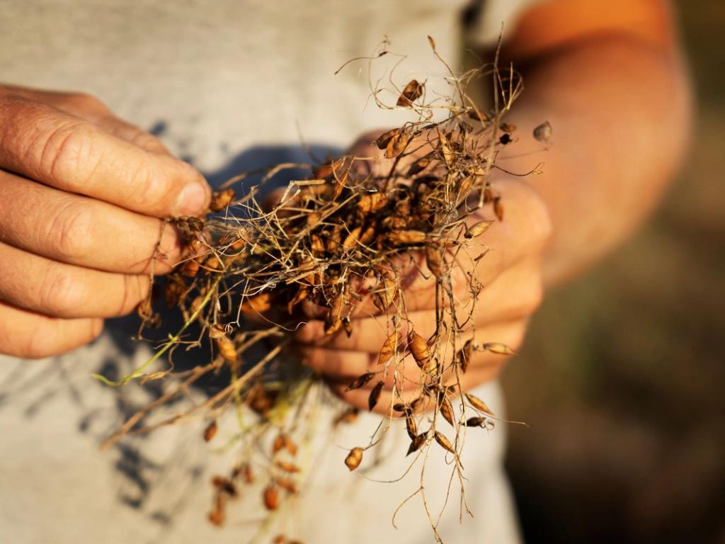 Bæredygtighed: foreløbige resultater
