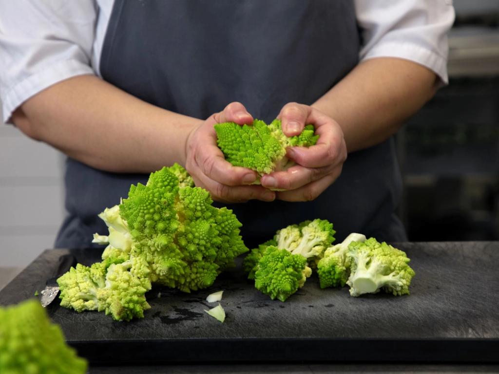 Meyers gør status på bæredygtighedsarbejde: Hæver økologiprocent til 55% og indkøber 72 tons bælgfrugter 