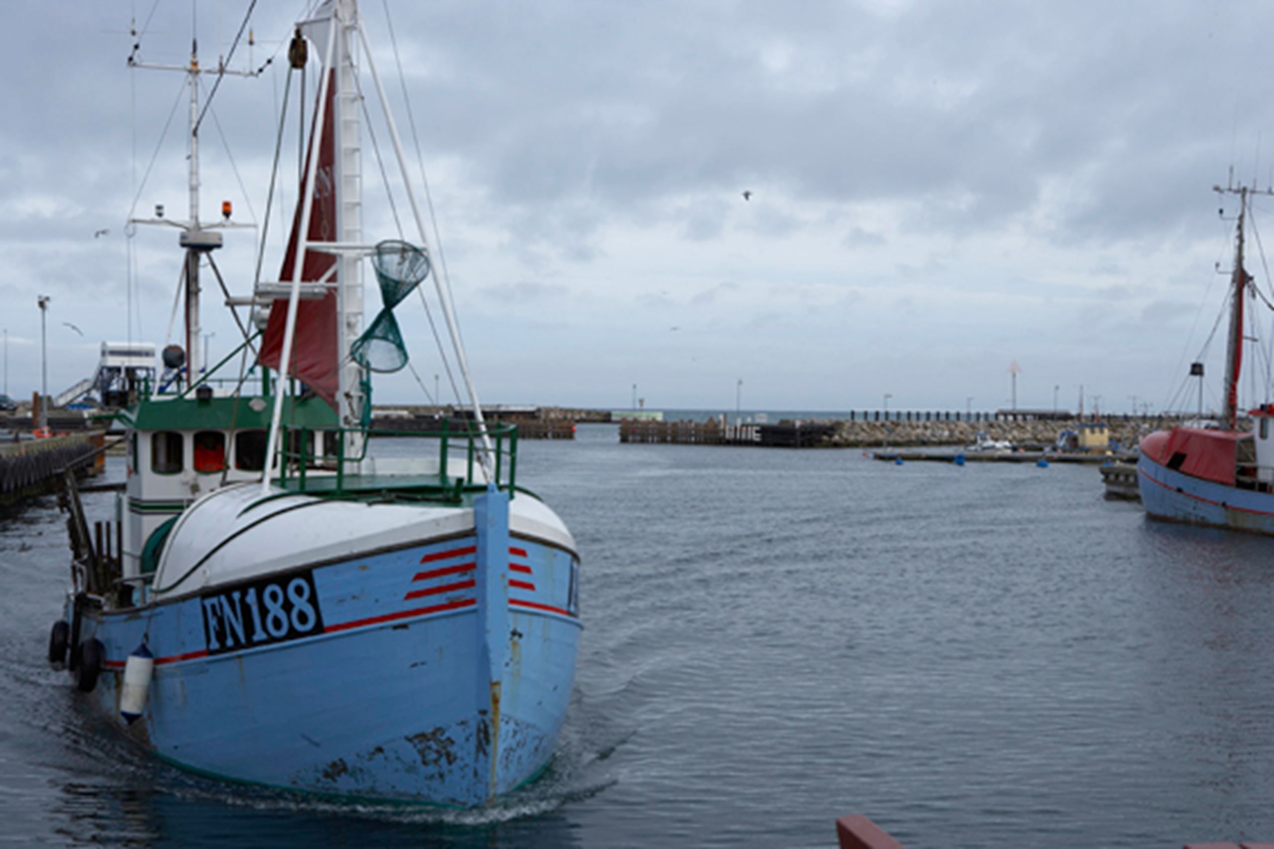 Friskfanget fisk på frokostbuffet i Meyers kantiner ​​​​‌﻿‍﻿​‍​‍‌‍﻿﻿‌﻿​‍‌‍‍‌‌‍‌﻿‌‍‍‌‌‍﻿‍​‍​‍​﻿‍‍​‍​‍‌﻿​﻿‌‍​‌‌‍﻿‍‌‍‍‌‌﻿‌​‌﻿‍‌​‍﻿‍‌‍‍‌‌‍﻿﻿​‍​‍​‍﻿​​‍​‍‌‍‍​‌﻿​‍‌‍‌‌‌‍‌‍​‍​‍​﻿‍‍​‍​‍‌‍‍​‌﻿‌​‌﻿‌​‌﻿​​​﻿‍‍​‍﻿﻿​‍﻿﻿‌‍﻿​‌‍﻿﻿‌‍​﻿‌‍​‌‌‍﻿​‌‍‍​‌‍﻿﻿‌﻿​﻿‌﻿‌​​﻿‍‍​﻿​﻿​﻿​﻿​﻿​﻿​﻿​﻿​‍﻿﻿‌‍‍‌‌‍﻿‍‌﻿‌​‌‍‌‌‌‍﻿‍‌﻿‌​​‍﻿﻿‌‍‌‌‌‍‌​‌‍‍‌‌﻿‌​​‍﻿﻿‌‍﻿‌‌‍﻿﻿‌‍‌​‌‍‌‌​﻿﻿‌‌﻿​​‌﻿​‍‌‍‌‌‌﻿​﻿‌‍‌‌‌‍﻿‍‌﻿‌​‌‍​‌‌﻿‌​‌‍‍‌‌‍﻿﻿‌‍﻿‍​﻿‍﻿‌‍‍‌‌‍‌​​﻿﻿‌​﻿‌﻿​﻿‌‌‌‍‌​‌‍‌‍​﻿‌​‌‍​﻿​﻿‌‌​﻿‍‌​‍﻿‌‌‍​﻿‌‍​‍​﻿‌​​﻿‍‌​‍﻿‌​﻿‌​​﻿‌‌‌‍‌​‌‍​‍​‍﻿‌‌‍​‌​﻿‌‍​﻿‍​​﻿‌‍​‍﻿‌​﻿​​‌‍‌‌​﻿‍​​﻿​‌​﻿‍‌​﻿​​​﻿‍‌​﻿‌‌‌‍​﻿‌‍‌​‌‍‌‍​﻿‌​​﻿‍﻿‌﻿‌​‌﻿‍‌‌﻿​​‌‍‌‌​﻿﻿‌‌‍​‌‌﻿​‍‌﻿‌​‌‍‍‌‌‍​﻿‌‍﻿​‌‍‌‌​﻿‍﻿‌﻿​​‌‍​‌‌﻿‌​‌‍‍​​﻿﻿‌‌‍‍‌‌‍﻿‌‌‍​‌‌‍‌﻿‌‍‌‌​‍﻿‍‌‍​‌‌‍﻿​‌﻿‌​​﻿﻿﻿‌‍​‍‌‍​‌‌﻿​﻿‌‍‌‌‌‌‌‌‌﻿​‍‌‍﻿​​﻿﻿‌‌‍‍​‌﻿‌​‌﻿‌​‌﻿​​​‍‌‌​﻿​﻿‌​​‌​‍‌‌​﻿​‍‌​‌‍​‍‌‌​﻿​‍‌​‌‍‌‍﻿​‌‍﻿﻿‌‍​﻿‌‍​‌‌‍﻿​‌‍‍​‌‍﻿﻿‌﻿​﻿‌﻿‌​​‍‌‌​﻿​﻿‌​​‌​﻿​﻿​﻿​﻿​﻿​﻿​﻿​﻿​‍‌‍‌‍‍‌‌‍‌​​﻿﻿‌​﻿‌﻿​﻿‌‌‌‍‌​‌‍‌‍​﻿‌​‌‍​﻿​﻿‌‌​﻿‍‌​‍﻿‌‌‍​﻿‌‍​‍​﻿‌​​﻿‍‌​‍﻿‌​﻿‌​​﻿‌‌‌‍‌​‌‍​‍​‍﻿‌‌‍​‌​﻿‌‍​﻿‍​​﻿‌‍​‍﻿‌​﻿​​‌‍‌‌​﻿‍​​﻿​‌​﻿‍‌​﻿​​​﻿‍‌​﻿‌‌‌‍​﻿‌‍‌​‌‍‌‍​﻿‌​​‍‌‍‌﻿‌​‌﻿‍‌‌﻿​​‌‍‌‌​﻿﻿‌‌‍​‌‌﻿​‍‌﻿‌​‌‍‍‌‌‍​﻿‌‍﻿​‌‍‌‌​‍‌‍‌﻿​​‌‍​‌‌﻿‌​‌‍‍​​﻿﻿‌‌‍‍‌‌‍﻿‌‌‍​‌‌‍‌﻿‌‍‌‌​‍﻿‍‌‍​‌‌‍﻿​‌﻿‌​​‍‌‍‌﻿​​‌‍‌‌‌﻿​‍‌﻿​﻿‌﻿​​‌‍‌‌‌‍​﻿‌﻿‌​‌‍‍‌‌﻿‌‍‌‍‌‌​﻿﻿‌‌﻿​​‌﻿‌‌‌‍​‍‌‍﻿​‌‍‍‌‌﻿​﻿‌‍‍​‌‍‌‌‌‍‌​​‍​‍‌﻿﻿‌