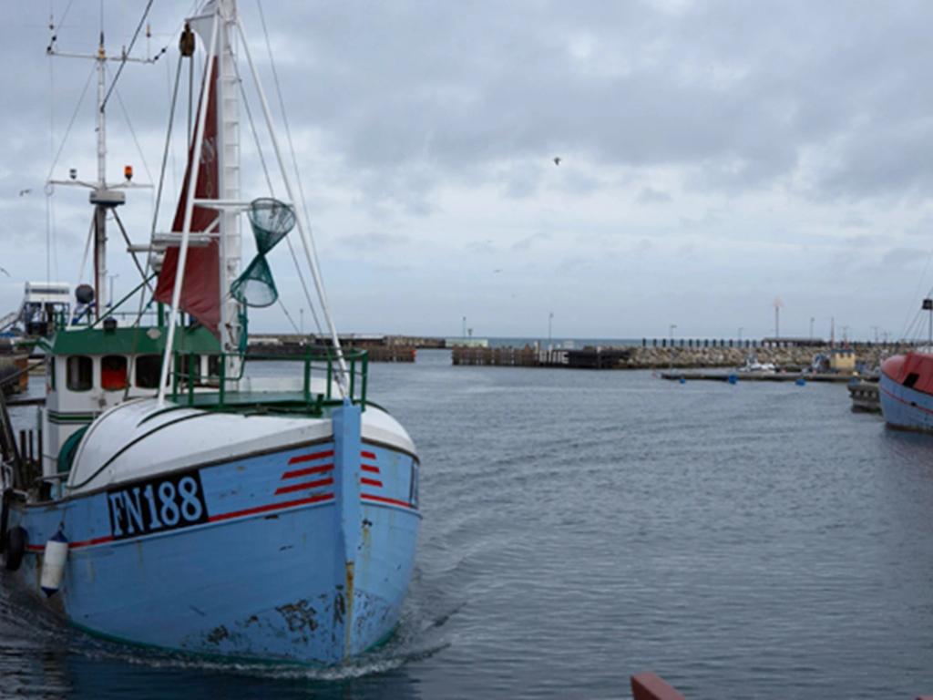 Friskfanget fisk på frokostbuffet i Meyers kantiner 