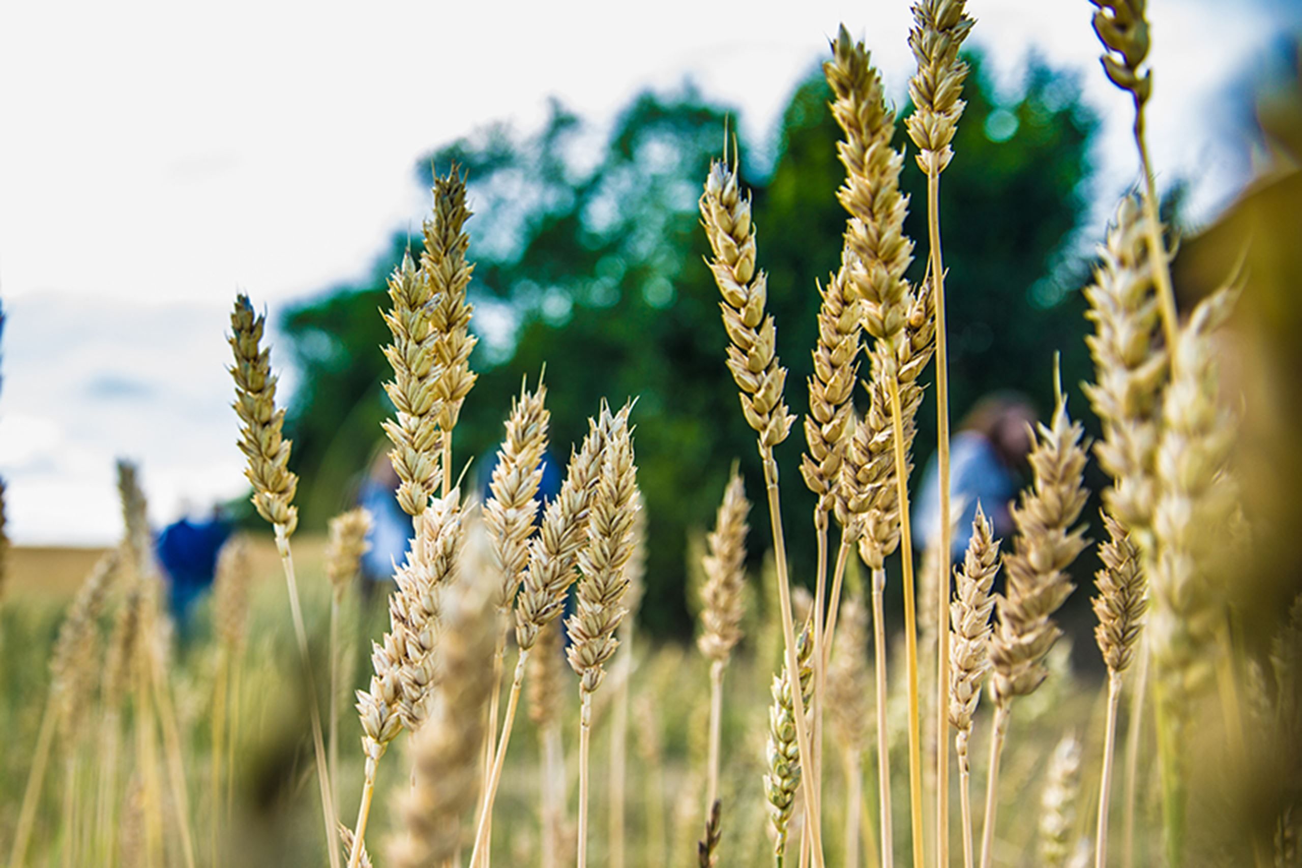 Økologi​​​​‌﻿‍﻿​‍​‍‌‍﻿﻿‌﻿​‍‌‍‍‌‌‍‌﻿‌‍‍‌‌‍﻿‍​‍​‍​﻿‍‍​‍​‍‌﻿​﻿‌‍​‌‌‍﻿‍‌‍‍‌‌﻿‌​‌﻿‍‌​‍﻿‍‌‍‍‌‌‍﻿﻿​‍​‍​‍﻿​​‍​‍‌‍‍​‌﻿​‍‌‍‌‌‌‍‌‍​‍​‍​﻿‍‍​‍​‍‌‍‍​‌﻿‌​‌﻿‌​‌﻿​​​﻿‍‍​‍﻿﻿​‍﻿﻿‌‍﻿​‌‍﻿﻿‌‍​﻿‌‍​‌‌‍﻿​‌‍‍​‌‍﻿﻿‌﻿​﻿‌﻿‌​​﻿‍‍​﻿​﻿​﻿​﻿​﻿​﻿​﻿​﻿​‍﻿﻿‌‍‍‌‌‍﻿‍‌﻿‌​‌‍‌‌‌‍﻿‍‌﻿‌​​‍﻿﻿‌‍‌‌‌‍‌​‌‍‍‌‌﻿‌​​‍﻿﻿‌‍﻿‌‌‍﻿﻿‌‍‌​‌‍‌‌​﻿﻿‌‌﻿​​‌﻿​‍‌‍‌‌‌﻿​﻿‌‍‌‌‌‍﻿‍‌﻿‌​‌‍​‌‌﻿‌​‌‍‍‌‌‍﻿﻿‌‍﻿‍​﻿‍﻿‌‍‍‌‌‍‌​​﻿﻿‌​﻿‌​​﻿‍​​﻿‌‍​﻿‌‍‌‍‌‍‌‍‌‍‌‍‌​‌‍​﻿​‍﻿‌‌‍​﻿‌‍‌​‌‍​‌‌‍‌​​‍﻿‌​﻿‌​​﻿‌﻿​﻿‍​​﻿‌‍​‍﻿‌‌‍​‍‌‍‌‍‌‍‌‌​﻿‍‌​‍﻿‌​﻿‌​​﻿‍​​﻿‌​‌‍‌‍​﻿‌﻿​﻿‍​‌‍‌‌​﻿​‍​﻿​‌​﻿‌﻿​﻿‌﻿​﻿‍​​﻿‍﻿‌﻿‌​‌﻿‍‌‌﻿​​‌‍‌‌​﻿﻿‌‌‍​‌‌﻿​‍‌﻿‌​‌‍‍‌‌‍​﻿‌‍﻿​‌‍‌‌​﻿‍﻿‌﻿​​‌‍​‌‌﻿‌​‌‍‍​​﻿﻿‌‌‍‍‌‌‍﻿‌‌‍​‌‌‍‌﻿‌‍‌‌​‍﻿‍‌‍​‌‌‍﻿​‌﻿‌​​﻿﻿﻿‌‍​‍‌‍​‌‌﻿​﻿‌‍‌‌‌‌‌‌‌﻿​‍‌‍﻿​​﻿﻿‌‌‍‍​‌﻿‌​‌﻿‌​‌﻿​​​‍‌‌​﻿​﻿‌​​‌​‍‌‌​﻿​‍‌​‌‍​‍‌‌​﻿​‍‌​‌‍‌‍﻿​‌‍﻿﻿‌‍​﻿‌‍​‌‌‍﻿​‌‍‍​‌‍﻿﻿‌﻿​﻿‌﻿‌​​‍‌‌​﻿​﻿‌​​‌​﻿​﻿​﻿​﻿​﻿​﻿​﻿​﻿​‍‌‍‌‍‍‌‌‍‌​​﻿﻿‌​﻿‌​​﻿‍​​﻿‌‍​﻿‌‍‌‍‌‍‌‍‌‍‌‍‌​‌‍​﻿​‍﻿‌‌‍​﻿‌‍‌​‌‍​‌‌‍‌​​‍﻿‌​﻿‌​​﻿‌﻿​﻿‍​​﻿‌‍​‍﻿‌‌‍​‍‌‍‌‍‌‍‌‌​﻿‍‌​‍﻿‌​﻿‌​​﻿‍​​﻿‌​‌‍‌‍​﻿‌﻿​﻿‍​‌‍‌‌​﻿​‍​﻿​‌​﻿‌﻿​﻿‌﻿​﻿‍​​‍‌‍‌﻿‌​‌﻿‍‌‌﻿​​‌‍‌‌​﻿﻿‌‌‍​‌‌﻿​‍‌﻿‌​‌‍‍‌‌‍​﻿‌‍﻿​‌‍‌‌​‍‌‍‌﻿​​‌‍​‌‌﻿‌​‌‍‍​​﻿﻿‌‌‍‍‌‌‍﻿‌‌‍​‌‌‍‌﻿‌‍‌‌​‍﻿‍‌‍​‌‌‍﻿​‌﻿‌​​‍‌‍‌﻿​​‌‍‌‌‌﻿​‍‌﻿​﻿‌﻿​​‌‍‌‌‌‍​﻿‌﻿‌​‌‍‍‌‌﻿‌‍‌‍‌‌​﻿﻿‌‌﻿​​‌﻿‌‌‌‍​‍‌‍﻿​‌‍‍‌‌﻿​﻿‌‍‍​‌‍‌‌‌‍‌​​‍​‍‌﻿﻿‌