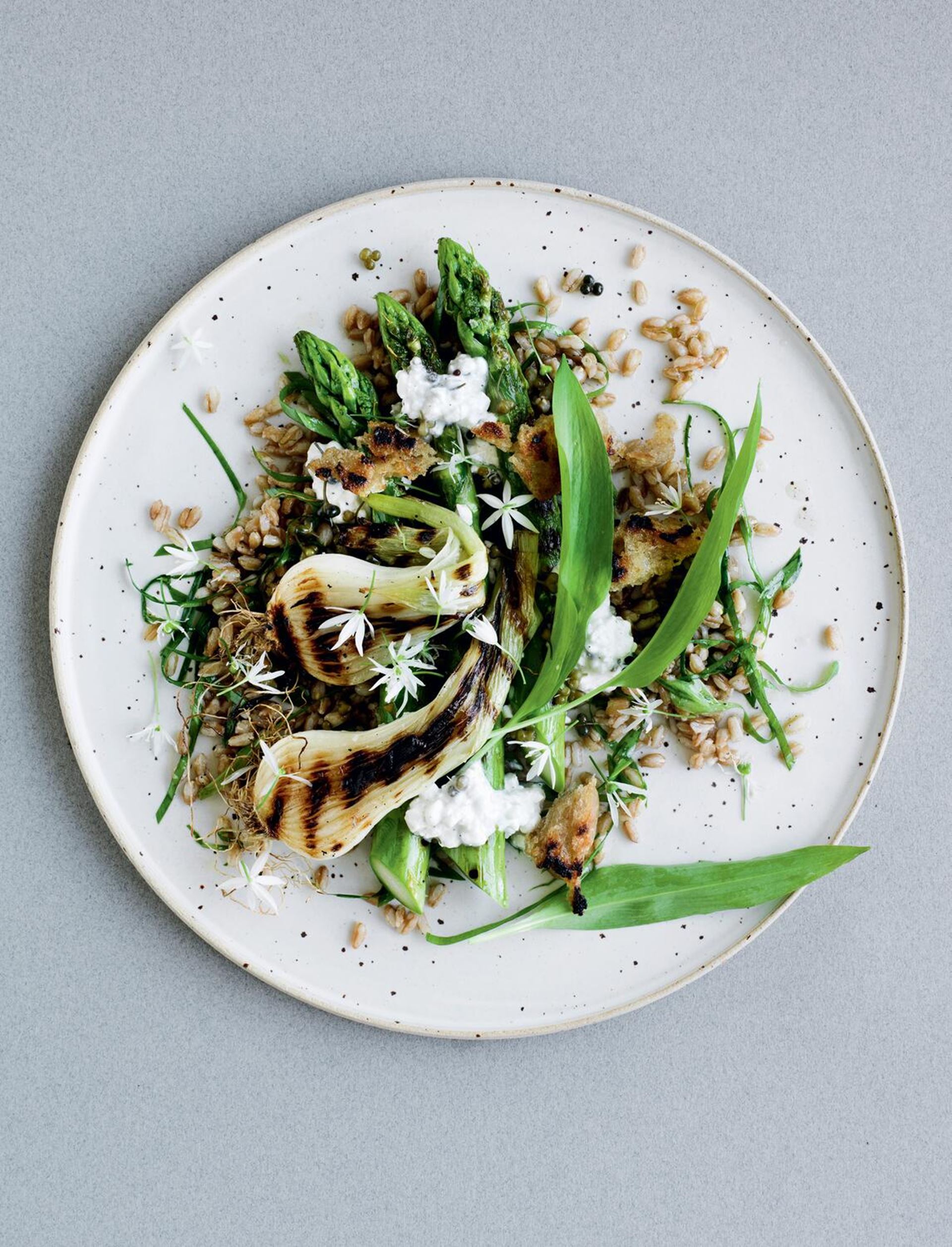 Grillede grønne asparges med nye løg, ramsløgsmarineret byg og hytteost​​​​‌﻿‍﻿​‍​‍‌‍﻿﻿‌﻿​‍‌‍‍‌‌‍‌﻿‌‍‍‌‌‍﻿‍​‍​‍​﻿‍‍​‍​‍‌﻿​﻿‌‍​‌‌‍﻿‍‌‍‍‌‌﻿‌​‌﻿‍‌​‍﻿‍‌‍‍‌‌‍﻿﻿​‍​‍​‍﻿​​‍​‍‌‍‍​‌﻿​‍‌‍‌‌‌‍‌‍​‍​‍​﻿‍‍​‍​‍‌‍‍​‌﻿‌​‌﻿‌​‌﻿​​​﻿‍‍​‍﻿﻿​‍﻿﻿‌‍﻿​‌‍﻿﻿‌‍​﻿‌‍​‌‌‍﻿​‌‍‍​‌‍﻿﻿‌﻿​﻿‌﻿‌​​﻿‍‍​﻿​﻿​﻿​﻿​﻿​﻿​﻿​﻿​‍﻿﻿‌‍‍‌‌‍﻿‍‌﻿‌​‌‍‌‌‌‍﻿‍‌﻿‌​​‍﻿﻿‌‍‌‌‌‍‌​‌‍‍‌‌﻿‌​​‍﻿﻿‌‍﻿‌‌‍﻿﻿‌‍‌​‌‍‌‌​﻿﻿‌‌﻿​​‌﻿​‍‌‍‌‌‌﻿​﻿‌‍‌‌‌‍﻿‍‌﻿‌​‌‍​‌‌﻿‌​‌‍‍‌‌‍﻿﻿‌‍﻿‍​﻿‍﻿‌‍‍‌‌‍‌​​﻿﻿‌‌‍‌‌​﻿​‌​﻿‍​​﻿​‍‌‍​﻿​﻿‌‍‌‍​‌​﻿​​​‍﻿‌​﻿​﻿​﻿‌​‌‍​﻿​﻿‍​​‍﻿‌​﻿‌‌​﻿‌​​﻿​‍​﻿‌​​‍﻿‌‌‍​‍‌‍​‌​﻿​﻿​﻿​﻿​‍﻿‌‌‍​﻿​﻿‍‌​﻿​﻿​﻿‌﻿​﻿‌‌​﻿‍​​﻿​‌‌‍‌‌​﻿​​‌‍​‍‌‍‌‌​﻿​​​﻿‍﻿‌﻿‌​‌﻿‍‌‌﻿​​‌‍‌‌​﻿﻿‌‌﻿​‍‌‍‌‌‌‍​﻿‌‍‍‌‌﻿​​‌‍‌‌​﻿‍﻿‌﻿​​‌‍​‌‌﻿‌​‌‍‍​​﻿﻿‌‌‍‍‌‌‍﻿‌‌‍​‌‌‍‌﻿‌‍‌‌​‍﻿‍‌‍​‌‌‍﻿​‌﻿‌​​﻿﻿﻿‌‍​‍‌‍​‌‌﻿​﻿‌‍‌‌‌‌‌‌‌﻿​‍‌‍﻿​​﻿﻿‌‌‍‍​‌﻿‌​‌﻿‌​‌﻿​​​‍‌‌​﻿​﻿‌​​‌​‍‌‌​﻿​‍‌​‌‍​‍‌‌​﻿​‍‌​‌‍‌‍﻿​‌‍﻿﻿‌‍​﻿‌‍​‌‌‍﻿​‌‍‍​‌‍﻿﻿‌﻿​﻿‌﻿‌​​‍‌‌​﻿​﻿‌​​‌​﻿​﻿​﻿​﻿​﻿​﻿​﻿​﻿​‍‌‍‌‍‍‌‌‍‌​​﻿﻿‌‌‍‌‌​﻿​‌​﻿‍​​﻿​‍‌‍​﻿​﻿‌‍‌‍​‌​﻿​​​‍﻿‌​﻿​﻿​﻿‌​‌‍​﻿​﻿‍​​‍﻿‌​﻿‌‌​﻿‌​​﻿​‍​﻿‌​​‍﻿‌‌‍​‍‌‍​‌​﻿​﻿​﻿​﻿​‍﻿‌‌‍​﻿​﻿‍‌​﻿​﻿​﻿‌﻿​﻿‌‌​﻿‍​​﻿​‌‌‍‌‌​﻿​​‌‍​‍‌‍‌‌​﻿​​​‍‌‍‌﻿‌​‌﻿‍‌‌﻿​​‌‍‌‌​﻿﻿‌‌﻿​‍‌‍‌‌‌‍​﻿‌‍‍‌‌﻿​​‌‍‌‌​‍‌‍‌﻿​​‌‍​‌‌﻿‌​‌‍‍​​﻿﻿‌‌‍‍‌‌‍﻿‌‌‍​‌‌‍‌﻿‌‍‌‌​‍﻿‍‌‍​‌‌‍﻿​‌﻿‌​​‍‌‍‌﻿​​‌‍‌‌‌﻿​‍‌﻿​﻿‌﻿​​‌‍‌‌‌‍​﻿‌﻿‌​‌‍‍‌‌﻿‌‍‌‍‌‌​﻿﻿‌‌﻿​​‌﻿‌‌‌‍​‍‌‍﻿​‌‍‍‌‌﻿​﻿‌‍‍​‌‍‌‌‌‍‌​​‍​‍‌﻿﻿‌