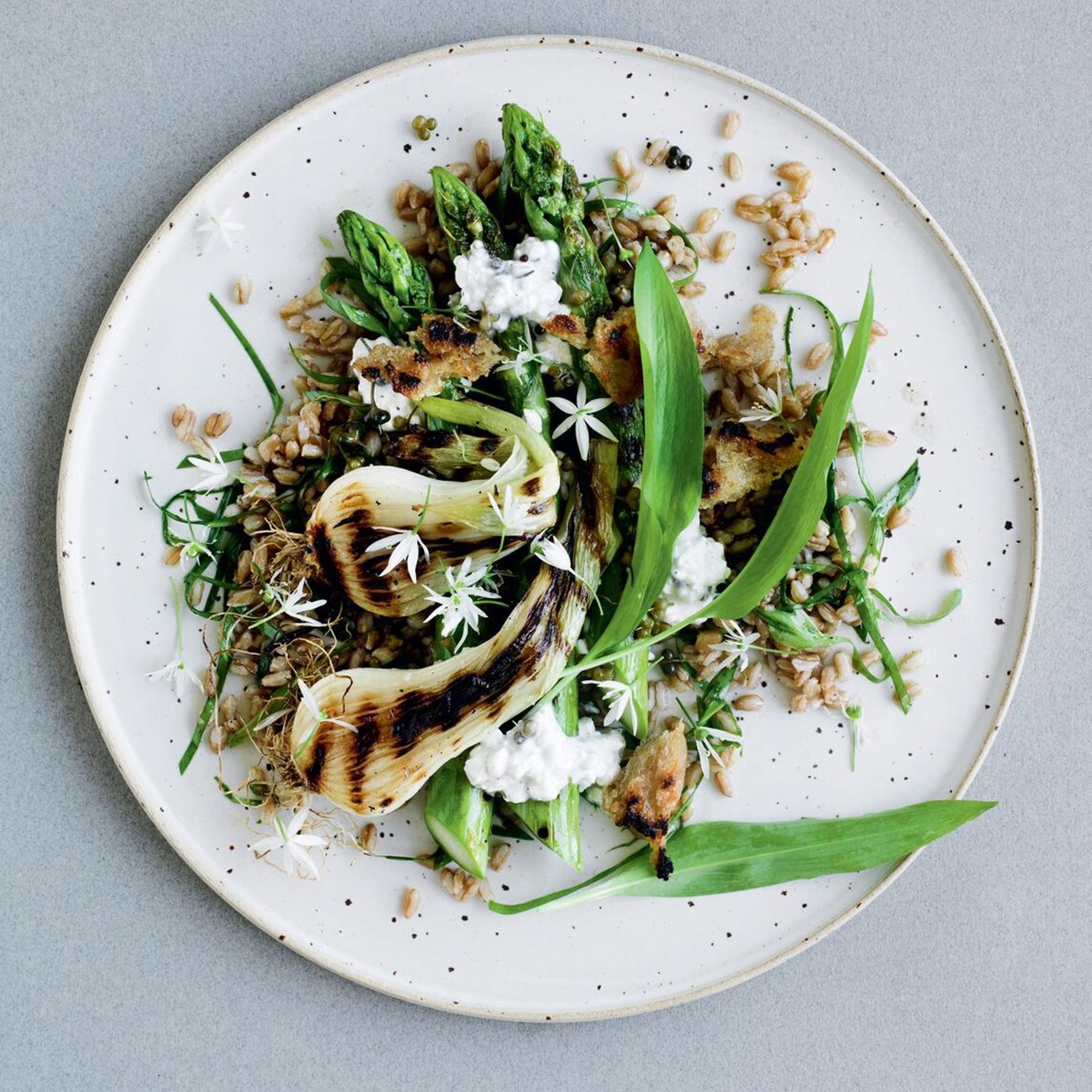 Grillede grønne asparges med nye løg, ramsløgsmarineret byg og hytteost