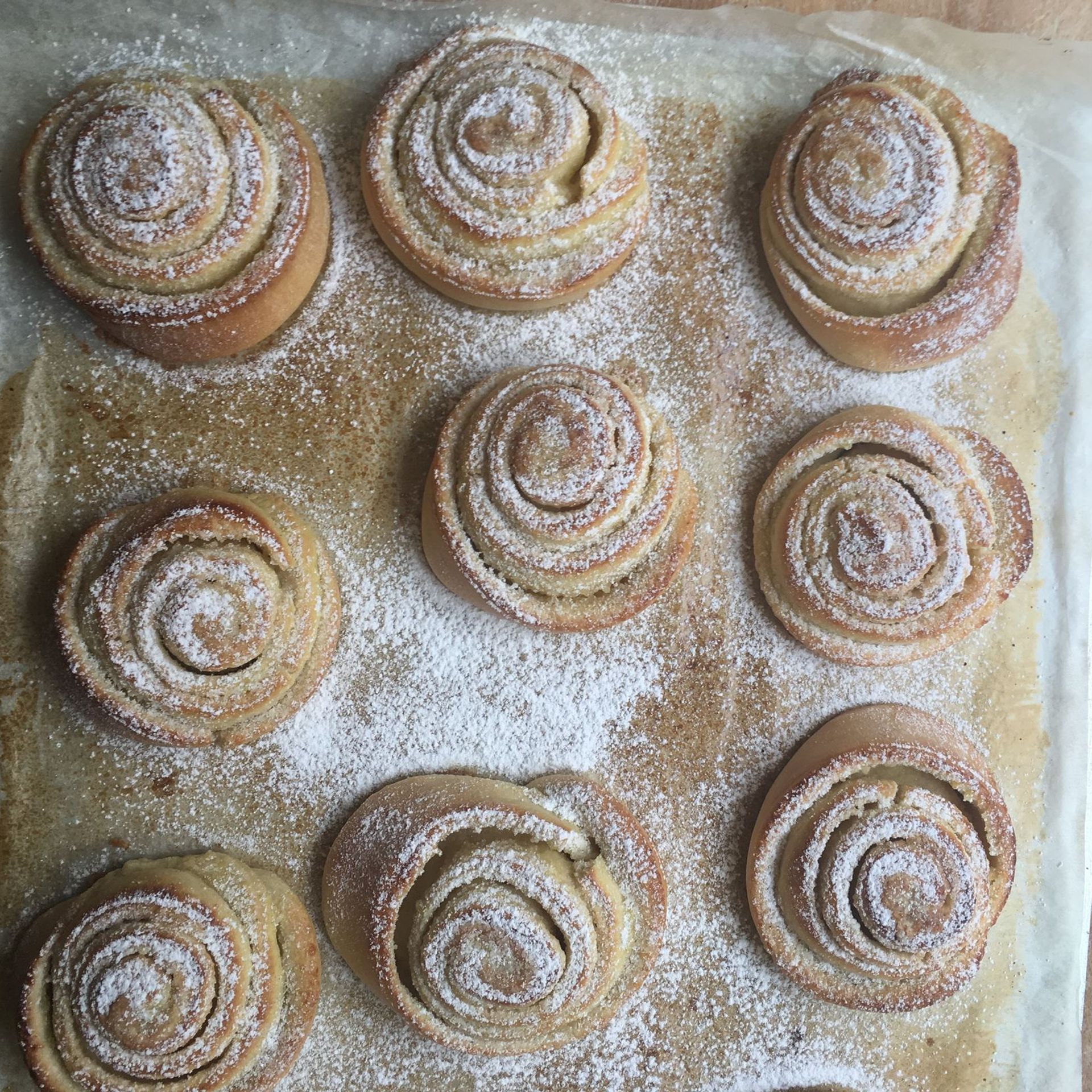 Islandske vaniljesnegle