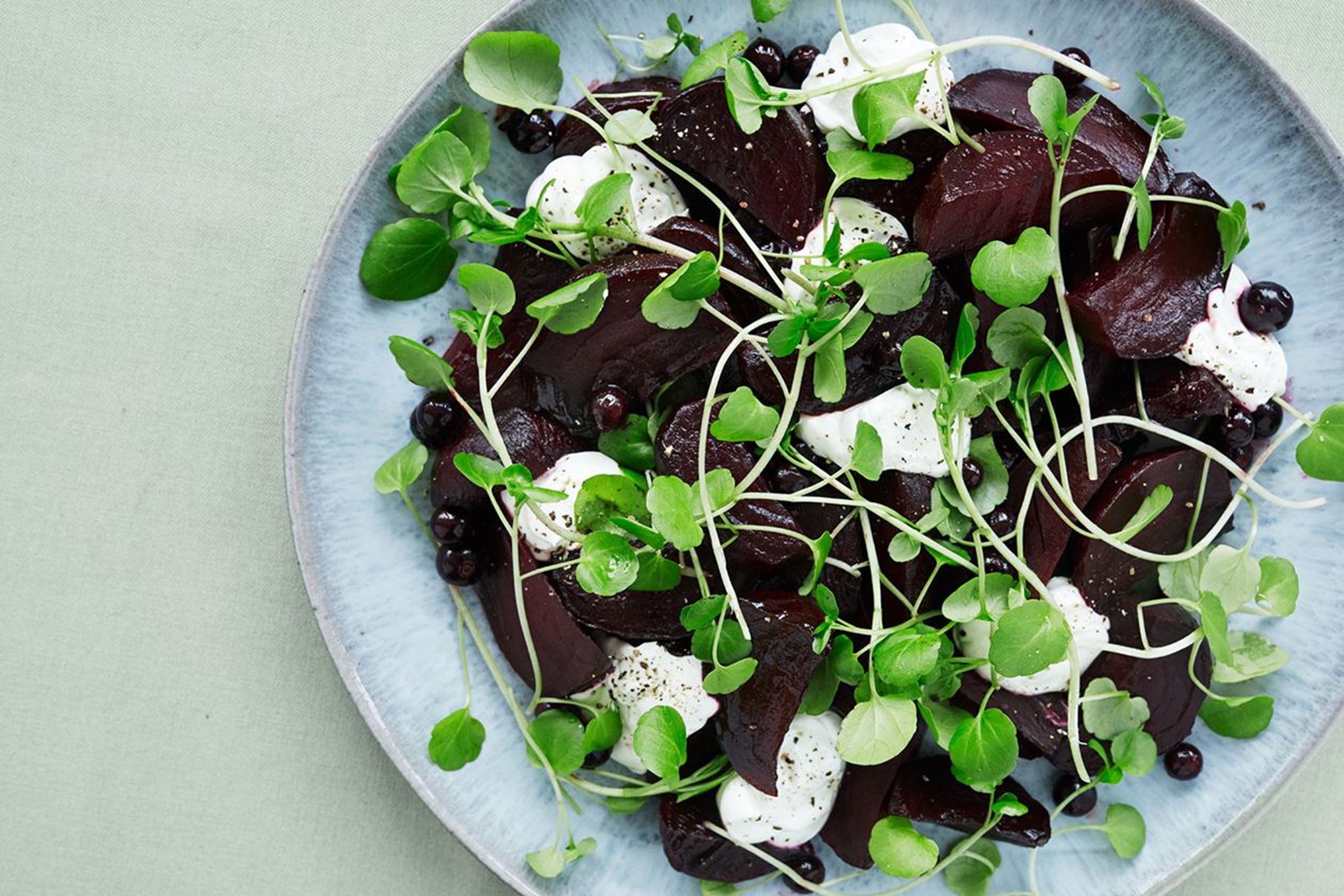 Bagte rødbeder med krydderurter og sprød parmesan​​​​‌﻿‍﻿​‍​‍‌‍﻿﻿‌﻿​‍‌‍‍‌‌‍‌﻿‌‍‍‌‌‍﻿‍​‍​‍​﻿‍‍​‍​‍‌﻿​﻿‌‍​‌‌‍﻿‍‌‍‍‌‌﻿‌​‌﻿‍‌​‍﻿‍‌‍‍‌‌‍﻿﻿​‍​‍​‍﻿​​‍​‍‌‍‍​‌﻿​‍‌‍‌‌‌‍‌‍​‍​‍​﻿‍‍​‍​‍‌‍‍​‌﻿‌​‌﻿‌​‌﻿​​​﻿‍‍​‍﻿﻿​‍﻿﻿‌‍﻿​‌‍﻿﻿‌‍​﻿‌‍​‌‌‍﻿​‌‍‍​‌‍﻿﻿‌﻿​﻿‌﻿‌​​﻿‍‍​﻿​﻿​﻿​﻿​﻿​﻿​﻿​﻿​‍﻿﻿‌‍‍‌‌‍﻿‍‌﻿‌​‌‍‌‌‌‍﻿‍‌﻿‌​​‍﻿﻿‌‍‌‌‌‍‌​‌‍‍‌‌﻿‌​​‍﻿﻿‌‍﻿‌‌‍﻿﻿‌‍‌​‌‍‌‌​﻿﻿‌‌﻿​​‌﻿​‍‌‍‌‌‌﻿​﻿‌‍‌‌‌‍﻿‍‌﻿‌​‌‍​‌‌﻿‌​‌‍‍‌‌‍﻿﻿‌‍﻿‍​﻿‍﻿‌‍‍‌‌‍‌​​﻿﻿‌​﻿​﻿‌‍‌​​﻿‌‍​﻿‌‍​﻿‌​​﻿‌​​﻿​‌​﻿‍​​‍﻿‌​﻿‌‌​﻿​﻿​﻿‌﻿‌‍‌‍​‍﻿‌​﻿‌​​﻿​​​﻿‌‍​﻿‌﻿​‍﻿‌​﻿‍​‌‍‌‍​﻿​​​﻿‌‍​‍﻿‌‌‍​﻿‌‍‌‍​﻿‍​​﻿‍​​﻿​‍​﻿​​‌‍‌‌‌‍​‍​﻿‍​​﻿‍‌‌‍​‍​﻿​﻿​﻿‍﻿‌﻿‌​‌﻿‍‌‌﻿​​‌‍‌‌​﻿﻿‌‌‍​‌‌﻿​‍‌﻿‌​‌‍‍‌‌‍​﻿‌‍﻿​‌‍‌‌​﻿‍﻿‌﻿​​‌‍​‌‌﻿‌​‌‍‍​​﻿﻿‌‌﻿​​‌‍﻿﻿‌﻿​‍‌﻿‌​‌‍​‌‌‍​‍‌‍﻿​‌‍‌‌‌﻿‌​‌‍‌‌‌﻿‍​‌﻿‌​​‍‌‌​﻿‌‌‌​​‍‌‌﻿﻿‌‍‍﻿‌‍‌‌‌﻿‍‌​‍‌‌​﻿​﻿‌​‌​​‍‌‌​﻿​﻿‌​‌​​‍‌‌​﻿​‍​﻿​‍​﻿‌‍‌‍​﻿​﻿‍‌‌‍‌​​﻿‌‌‌‍​﻿​﻿‌‌​﻿‍‌​‍‌‌​﻿​‍​﻿​‍​‍‌‌​﻿‌‌‌​‌​​‍﻿‍‌‍​﻿‌‍​‌‌﻿​‍‌‍‌​‌﻿​﻿​‍‌‌​﻿‌‌‌​​‍‌‌﻿﻿‌‍‍﻿‌‍‌‌‌﻿‍‌​‍‌‌​﻿​﻿‌​‌​​‍‌‌​﻿​﻿‌​‌​​‍‌‌​﻿​‍​﻿​‍​﻿‍‌​﻿‌‌​﻿‍‌‌‍‌‍‌‍‌‍‌‍​‌​﻿‌‌​﻿‌‍​‍‌‌​﻿​‍​﻿​‍​‍‌‌​﻿‌‌‌​‌​​‍﻿‍‌‍‍‌‌‍﻿‌‌‍​‌‌‍‌﻿‌‍‌‌​‍﻿‍‌‍​‌‌‍﻿​‌﻿‌​​﻿﻿﻿‌‍​‍‌‍​‌‌﻿​﻿‌‍‌‌‌‌‌‌‌﻿​‍‌‍﻿​​﻿﻿‌‌‍‍​‌﻿‌​‌﻿‌​‌﻿​​​‍‌‌​﻿​﻿‌​​‌​‍‌‌​﻿​‍‌​‌‍​‍‌‌​﻿​‍‌​‌‍‌‍﻿​‌‍﻿﻿‌‍​﻿‌‍​‌‌‍﻿​‌‍‍​‌‍﻿﻿‌﻿​﻿‌﻿‌​​‍‌‌​﻿​﻿‌​​‌​﻿​﻿​﻿​﻿​﻿​﻿​﻿​﻿​‍‌‍‌‍‍‌‌‍‌​​﻿﻿‌​﻿​﻿‌‍‌​​﻿‌‍​﻿‌‍​﻿‌​​﻿‌​​﻿​‌​﻿‍​​‍﻿‌​﻿‌‌​﻿​﻿​﻿‌﻿‌‍‌‍​‍﻿‌​﻿‌​​﻿​​​﻿‌‍​﻿‌﻿​‍﻿‌​﻿‍​‌‍‌‍​﻿​​​﻿‌‍​‍﻿‌‌‍​﻿‌‍‌‍​﻿‍​​﻿‍​​﻿​‍​﻿​​‌‍‌‌‌‍​‍​﻿‍​​﻿‍‌‌‍​‍​﻿​﻿​‍‌‍‌﻿‌​‌﻿‍‌‌﻿​​‌‍‌‌​﻿﻿‌‌‍​‌‌﻿​‍‌﻿‌​‌‍‍‌‌‍​﻿‌‍﻿​‌‍‌‌​‍‌‍‌﻿​​‌‍​‌‌﻿‌​‌‍‍​​﻿﻿‌‌﻿​​‌‍﻿﻿‌﻿​‍‌﻿‌​‌‍​‌‌‍​‍‌‍﻿​‌‍‌‌‌﻿‌​‌‍‌‌‌﻿‍​‌﻿‌​​‍‌‌​﻿‌‌‌​​‍‌‌﻿﻿‌‍‍﻿‌‍‌‌‌﻿‍‌​‍‌‌​﻿​﻿‌​‌​​‍‌‌​﻿​﻿‌​‌​​‍‌‌​﻿​‍​﻿​‍​﻿‌‍‌‍​﻿​﻿‍‌‌‍‌​​﻿‌‌‌‍​﻿​﻿‌‌​﻿‍‌​‍‌‌​﻿​‍​﻿​‍​‍‌‌​﻿‌‌‌​‌​​‍﻿‍‌‍​﻿‌‍​‌‌﻿​‍‌‍‌​‌﻿​﻿​‍‌‌​﻿‌‌‌​​‍‌‌﻿﻿‌‍‍﻿‌‍‌‌‌﻿‍‌​‍‌‌​﻿​﻿‌​‌​​‍‌‌​﻿​﻿‌​‌​​‍‌‌​﻿​‍​﻿​‍​﻿‍‌​﻿‌‌​﻿‍‌‌‍‌‍‌‍‌‍‌‍​‌​﻿‌‌​﻿‌‍​‍‌‌​﻿​‍​﻿​‍​‍‌‌​﻿‌‌‌​‌​​‍﻿‍‌‍‍‌‌‍﻿‌‌‍​‌‌‍‌﻿‌‍‌‌​‍﻿‍‌‍​‌‌‍﻿​‌﻿‌​​‍‌‍‌﻿​​‌‍‌‌‌﻿​‍‌﻿​﻿‌﻿​​‌‍‌‌‌‍​﻿‌﻿‌​‌‍‍‌‌﻿‌‍‌‍‌‌​﻿﻿‌‌﻿​​‌﻿‌‌‌‍​‍‌‍﻿​‌‍‍‌‌﻿​﻿‌‍‍​‌‍‌‌‌‍‌​​‍​‍‌﻿﻿‌