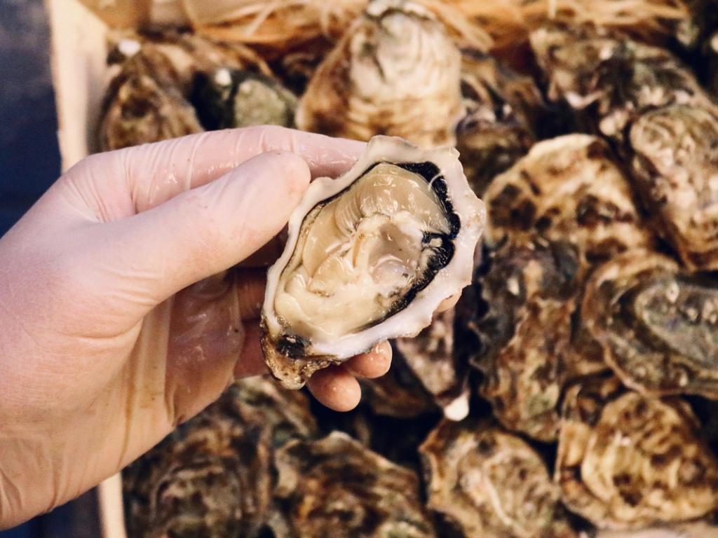 Sådan undgår vi Corona-madspild: Tusindvis af strandede østers forvandles til ren velsmag