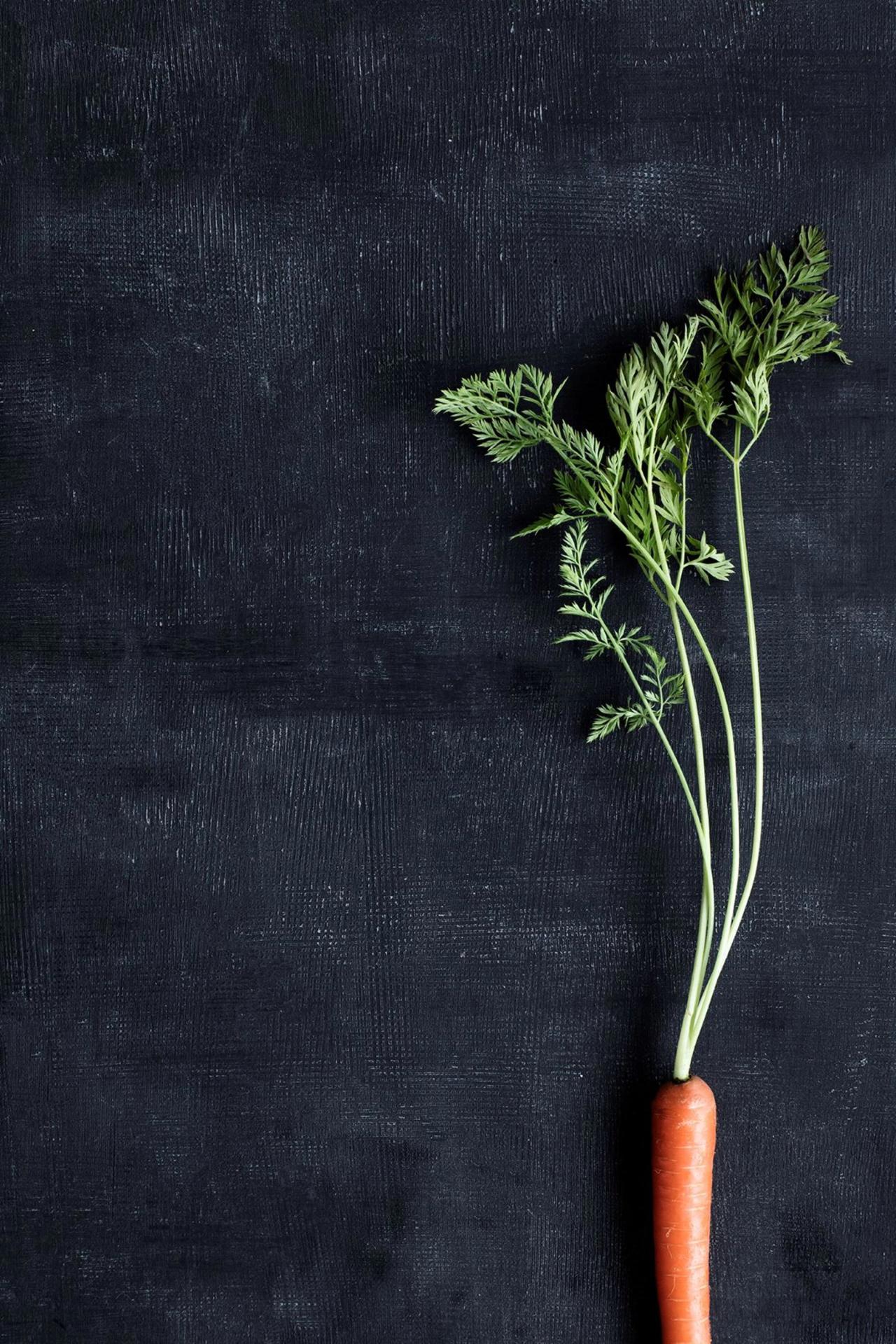 Rodfrugter​​​​‌﻿‍﻿​‍​‍‌‍﻿﻿‌﻿​‍‌‍‍‌‌‍‌﻿‌‍‍‌‌‍﻿‍​‍​‍​﻿‍‍​‍​‍‌﻿​﻿‌‍​‌‌‍﻿‍‌‍‍‌‌﻿‌​‌﻿‍‌​‍﻿‍‌‍‍‌‌‍﻿﻿​‍​‍​‍﻿​​‍​‍‌‍‍​‌﻿​‍‌‍‌‌‌‍‌‍​‍​‍​﻿‍‍​‍​‍‌‍‍​‌﻿‌​‌﻿‌​‌﻿​​​﻿‍‍​‍﻿﻿​‍﻿﻿‌‍﻿​‌‍﻿﻿‌‍​﻿‌‍​‌‌‍﻿​‌‍‍​‌‍﻿﻿‌﻿​﻿‌﻿‌​​﻿‍‍​﻿​﻿​﻿​﻿​﻿​﻿​﻿​﻿​‍﻿﻿‌‍‍‌‌‍﻿‍‌﻿‌​‌‍‌‌‌‍﻿‍‌﻿‌​​‍﻿﻿‌‍‌‌‌‍‌​‌‍‍‌‌﻿‌​​‍﻿﻿‌‍﻿‌‌‍﻿﻿‌‍‌​‌‍‌‌​﻿﻿‌‌﻿​​‌﻿​‍‌‍‌‌‌﻿​﻿‌‍‌‌‌‍﻿‍‌﻿‌​‌‍​‌‌﻿‌​‌‍‍‌‌‍﻿﻿‌‍﻿‍​﻿‍﻿‌‍‍‌‌‍‌​​﻿﻿‌​﻿​‌‌‍​﻿​﻿​﻿​﻿‍‌​﻿‍​​﻿‌‍‌‍‌‍‌‍​‍​‍﻿‌​﻿‌﻿​﻿​‍‌‍​﻿​﻿‌‍​‍﻿‌​﻿‌​‌‍‌‌​﻿​﻿‌‍​‍​‍﻿‌‌‍​‌‌‍‌‌​﻿​‌​﻿‌​​‍﻿‌​﻿‌​​﻿‍‌‌‍​‌‌‍​‍‌‍‌‌​﻿‍​​﻿​​‌‍​﻿‌‍‌‍​﻿‌‍‌‍​‌​﻿‌﻿​﻿‍﻿‌﻿‌​‌﻿‍‌‌﻿​​‌‍‌‌​﻿﻿‌‌‍​‌‌﻿​‍‌﻿‌​‌‍‍‌‌‍​﻿‌‍﻿​‌‍‌‌​﻿‍﻿‌﻿​​‌‍​‌‌﻿‌​‌‍‍​​﻿﻿‌‌﻿​​‌‍﻿﻿‌﻿​‍‌﻿‌​‌‍​‌‌‍​‍‌‍﻿​‌‍‌‌‌﻿‌​‌‍‌‌‌﻿‍​‌﻿‌​​‍‌‌​﻿‌‌‌​​‍‌‌﻿﻿‌‍‍﻿‌‍‌‌‌﻿‍‌​‍‌‌​﻿​﻿‌​‌​​‍‌‌​﻿​﻿‌​‌​​‍‌‌​﻿​‍​﻿​‍​﻿​‌​﻿‌‌​﻿‌﻿​﻿‌​‌‍​‍​﻿​‍​﻿‌‍​﻿‍‌​‍‌‌​﻿​‍​﻿​‍​‍‌‌​﻿‌‌‌​‌​​‍﻿‍‌﻿​﻿‌‍﻿​‌‍‍‌‌‍‌​‌‍‌‌‌﻿​﻿​‍‌‌​﻿‌‌‌​​‍‌‌﻿﻿‌‍‍﻿‌‍‌‌‌﻿‍‌​‍‌‌​﻿​﻿‌​‌​​‍‌‌​﻿​﻿‌​‌​​‍‌‌​﻿​‍​﻿​‍‌‍‌​​﻿‌﻿‌‍‌​​﻿‌‍​﻿‌‍​﻿‌​‌‍‌​​﻿​﻿​‍‌‌​﻿​‍​﻿​‍​‍‌‌​﻿‌‌‌​‌​​‍﻿‍‌‍‍‌‌‍﻿‌‌‍​‌‌‍‌﻿‌‍‌‌​‍﻿‍‌‍​‌‌‍﻿​‌﻿‌​​﻿﻿﻿‌‍​‍‌‍​‌‌﻿​﻿‌‍‌‌‌‌‌‌‌﻿​‍‌‍﻿​​﻿﻿‌‌‍‍​‌﻿‌​‌﻿‌​‌﻿​​​‍‌‌​﻿​﻿‌​​‌​‍‌‌​﻿​‍‌​‌‍​‍‌‌​﻿​‍‌​‌‍‌‍﻿​‌‍﻿﻿‌‍​﻿‌‍​‌‌‍﻿​‌‍‍​‌‍﻿﻿‌﻿​﻿‌﻿‌​​‍‌‌​﻿​﻿‌​​‌​﻿​﻿​﻿​﻿​﻿​﻿​﻿​﻿​‍‌‍‌‍‍‌‌‍‌​​﻿﻿‌​﻿​‌‌‍​﻿​﻿​﻿​﻿‍‌​﻿‍​​﻿‌‍‌‍‌‍‌‍​‍​‍﻿‌​﻿‌﻿​﻿​‍‌‍​﻿​﻿‌‍​‍﻿‌​﻿‌​‌‍‌‌​﻿​﻿‌‍​‍​‍﻿‌‌‍​‌‌‍‌‌​﻿​‌​﻿‌​​‍﻿‌​﻿‌​​﻿‍‌‌‍​‌‌‍​‍‌‍‌‌​﻿‍​​﻿​​‌‍​﻿‌‍‌‍​﻿‌‍‌‍​‌​﻿‌﻿​‍‌‍‌﻿‌​‌﻿‍‌‌﻿​​‌‍‌‌​﻿﻿‌‌‍​‌‌﻿​‍‌﻿‌​‌‍‍‌‌‍​﻿‌‍﻿​‌‍‌‌​‍‌‍‌﻿​​‌‍​‌‌﻿‌​‌‍‍​​﻿﻿‌‌﻿​​‌‍﻿﻿‌﻿​‍‌﻿‌​‌‍​‌‌‍​‍‌‍﻿​‌‍‌‌‌﻿‌​‌‍‌‌‌﻿‍​‌﻿‌​​‍‌‌​﻿‌‌‌​​‍‌‌﻿﻿‌‍‍﻿‌‍‌‌‌﻿‍‌​‍‌‌​﻿​﻿‌​‌​​‍‌‌​﻿​﻿‌​‌​​‍‌‌​﻿​‍​﻿​‍​﻿​‌​﻿‌‌​﻿‌﻿​﻿‌​‌‍​‍​﻿​‍​﻿‌‍​﻿‍‌​‍‌‌​﻿​‍​﻿​‍​‍‌‌​﻿‌‌‌​‌​​‍﻿‍‌﻿​﻿‌‍﻿​‌‍‍‌‌‍‌​‌‍‌‌‌﻿​﻿​‍‌‌​﻿‌‌‌​​‍‌‌﻿﻿‌‍‍﻿‌‍‌‌‌﻿‍‌​‍‌‌​﻿​﻿‌​‌​​‍‌‌​﻿​﻿‌​‌​​‍‌‌​﻿​‍​﻿​‍‌‍‌​​﻿‌﻿‌‍‌​​﻿‌‍​﻿‌‍​﻿‌​‌‍‌​​﻿​﻿​‍‌‌​﻿​‍​﻿​‍​‍‌‌​﻿‌‌‌​‌​​‍﻿‍‌‍‍‌‌‍﻿‌‌‍​‌‌‍‌﻿‌‍‌‌​‍﻿‍‌‍​‌‌‍﻿​‌﻿‌​​‍‌‍‌﻿​​‌‍‌‌‌﻿​‍‌﻿​﻿‌﻿​​‌‍‌‌‌‍​﻿‌﻿‌​‌‍‍‌‌﻿‌‍‌‍‌‌​﻿﻿‌‌﻿​​‌﻿‌‌‌‍​‍‌‍﻿​‌‍‍‌‌﻿​﻿‌‍‍​‌‍‌‌‌‍‌​​‍​‍‌﻿﻿‌