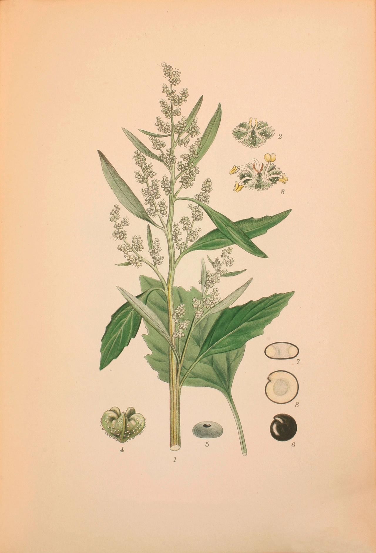 Efterår​​​​‌﻿‍﻿​‍​‍‌‍﻿﻿‌﻿​‍‌‍‍‌‌‍‌﻿‌‍‍‌‌‍﻿‍​‍​‍​﻿‍‍​‍​‍‌﻿​﻿‌‍​‌‌‍﻿‍‌‍‍‌‌﻿‌​‌﻿‍‌​‍﻿‍‌‍‍‌‌‍﻿﻿​‍​‍​‍﻿​​‍​‍‌‍‍​‌﻿​‍‌‍‌‌‌‍‌‍​‍​‍​﻿‍‍​‍​‍‌‍‍​‌﻿‌​‌﻿‌​‌﻿​​​﻿‍‍​‍﻿﻿​‍﻿﻿‌‍﻿​‌‍﻿﻿‌‍​﻿‌‍​‌‌‍﻿​‌‍‍​‌‍﻿﻿‌﻿​﻿‌﻿‌​​﻿‍‍​﻿​﻿​﻿​﻿​﻿​﻿​﻿​﻿​‍﻿﻿‌‍‍‌‌‍﻿‍‌﻿‌​‌‍‌‌‌‍﻿‍‌﻿‌​​‍﻿﻿‌‍‌‌‌‍‌​‌‍‍‌‌﻿‌​​‍﻿﻿‌‍﻿‌‌‍﻿﻿‌‍‌​‌‍‌‌​﻿﻿‌‌﻿​​‌﻿​‍‌‍‌‌‌﻿​﻿‌‍‌‌‌‍﻿‍‌﻿‌​‌‍​‌‌﻿‌​‌‍‍‌‌‍﻿﻿‌‍﻿‍​﻿‍﻿‌‍‍‌‌‍‌​​﻿﻿‌​﻿‌‍​﻿​‍‌‍​‌‌‍‌‍​﻿‍​​﻿​﻿​﻿​​​﻿‌﻿​‍﻿‌​﻿​‌​﻿​‌‌‍​‍​﻿‌﻿​‍﻿‌​﻿‌​​﻿‌‌‌‍‌​​﻿​﻿​‍﻿‌​﻿‍‌‌‍​﻿​﻿‌‌‌‍‌​​‍﻿‌‌‍​‌​﻿​﻿‌‍‌​‌‍‌‍​﻿‌‌‌‍‌‍​﻿‌﻿​﻿‌​​﻿‍‌​﻿‌‍‌‍​‍‌‍‌‍​﻿‍﻿‌﻿‌​‌﻿‍‌‌﻿​​‌‍‌‌​﻿﻿‌‌‍​‌‌﻿​‍‌﻿‌​‌‍‍‌‌‍​﻿‌‍﻿​‌‍‌‌​﻿‍﻿‌﻿​​‌‍​‌‌﻿‌​‌‍‍​​﻿﻿‌‌﻿​​‌‍﻿﻿‌﻿​‍‌﻿‌​‌‍​‌‌‍​‍‌‍﻿​‌‍‌‌‌﻿‌​‌‍‌‌‌﻿‍​‌﻿‌​​‍‌‌​﻿‌‌‌​​‍‌‌﻿﻿‌‍‍﻿‌‍‌‌‌﻿‍‌​‍‌‌​﻿​﻿‌​‌​​‍‌‌​﻿​﻿‌​‌​​‍‌‌​﻿​‍​﻿​‍‌‍​‍​﻿‍‌‌‍‌​‌‍‌‌​﻿‌‌​﻿‌‌​﻿​​​﻿​‌​‍‌‌​﻿​‍​﻿​‍​‍‌‌​﻿‌‌‌​‌​​‍﻿‍‌﻿​﻿‌‍﻿​‌‍‍‌‌‍‌​‌‍‌‌‌﻿​﻿​‍‌‌​﻿‌‌‌​​‍‌‌﻿﻿‌‍‍﻿‌‍‌‌‌﻿‍‌​‍‌‌​﻿​﻿‌​‌​​‍‌‌​﻿​﻿‌​‌​​‍‌‌​﻿​‍​﻿​‍‌‍​‌‌‍‌​‌‍​‌‌‍‌‌‌‍​‍‌‍​﻿​﻿‍‌‌‍‌​​‍‌‌​﻿​‍​﻿​‍​‍‌‌​﻿‌‌‌​‌​​‍﻿‍‌‍‍‌‌‍﻿‌‌‍​‌‌‍‌﻿‌‍‌‌​‍﻿‍‌‍​‌‌‍﻿​‌﻿‌​​﻿﻿﻿‌‍​‍‌‍​‌‌﻿​﻿‌‍‌‌‌‌‌‌‌﻿​‍‌‍﻿​​﻿﻿‌‌‍‍​‌﻿‌​‌﻿‌​‌﻿​​​‍‌‌​﻿​﻿‌​​‌​‍‌‌​﻿​‍‌​‌‍​‍‌‌​﻿​‍‌​‌‍‌‍﻿​‌‍﻿﻿‌‍​﻿‌‍​‌‌‍﻿​‌‍‍​‌‍﻿﻿‌﻿​﻿‌﻿‌​​‍‌‌​﻿​﻿‌​​‌​﻿​﻿​﻿​﻿​﻿​﻿​﻿​﻿​‍‌‍‌‍‍‌‌‍‌​​﻿﻿‌​﻿‌‍​﻿​‍‌‍​‌‌‍‌‍​﻿‍​​﻿​﻿​﻿​​​﻿‌﻿​‍﻿‌​﻿​‌​﻿​‌‌‍​‍​﻿‌﻿​‍﻿‌​﻿‌​​﻿‌‌‌‍‌​​﻿​﻿​‍﻿‌​﻿‍‌‌‍​﻿​﻿‌‌‌‍‌​​‍﻿‌‌‍​‌​﻿​﻿‌‍‌​‌‍‌‍​﻿‌‌‌‍‌‍​﻿‌﻿​﻿‌​​﻿‍‌​﻿‌‍‌‍​‍‌‍‌‍​‍‌‍‌﻿‌​‌﻿‍‌‌﻿​​‌‍‌‌​﻿﻿‌‌‍​‌‌﻿​‍‌﻿‌​‌‍‍‌‌‍​﻿‌‍﻿​‌‍‌‌​‍‌‍‌﻿​​‌‍​‌‌﻿‌​‌‍‍​​﻿﻿‌‌﻿​​‌‍﻿﻿‌﻿​‍‌﻿‌​‌‍​‌‌‍​‍‌‍﻿​‌‍‌‌‌﻿‌​‌‍‌‌‌﻿‍​‌﻿‌​​‍‌‌​﻿‌‌‌​​‍‌‌﻿﻿‌‍‍﻿‌‍‌‌‌﻿‍‌​‍‌‌​﻿​﻿‌​‌​​‍‌‌​﻿​﻿‌​‌​​‍‌‌​﻿​‍​﻿​‍‌‍​‍​﻿‍‌‌‍‌​‌‍‌‌​﻿‌‌​﻿‌‌​﻿​​​﻿​‌​‍‌‌​﻿​‍​﻿​‍​‍‌‌​﻿‌‌‌​‌​​‍﻿‍‌﻿​﻿‌‍﻿​‌‍‍‌‌‍‌​‌‍‌‌‌﻿​﻿​‍‌‌​﻿‌‌‌​​‍‌‌﻿﻿‌‍‍﻿‌‍‌‌‌﻿‍‌​‍‌‌​﻿​﻿‌​‌​​‍‌‌​﻿​﻿‌​‌​​‍‌‌​﻿​‍​﻿​‍‌‍​‌‌‍‌​‌‍​‌‌‍‌‌‌‍​‍‌‍​﻿​﻿‍‌‌‍‌​​‍‌‌​﻿​‍​﻿​‍​‍‌‌​﻿‌‌‌​‌​​‍﻿‍‌‍‍‌‌‍﻿‌‌‍​‌‌‍‌﻿‌‍‌‌​‍﻿‍‌‍​‌‌‍﻿​‌﻿‌​​‍‌‍‌﻿​​‌‍‌‌‌﻿​‍‌﻿​﻿‌﻿​​‌‍‌‌‌‍​﻿‌﻿‌​‌‍‍‌‌﻿‌‍‌‍‌‌​﻿﻿‌‌﻿​​‌﻿‌‌‌‍​‍‌‍﻿​‌‍‍‌‌﻿​﻿‌‍‍​‌‍‌‌‌‍‌​​‍​‍‌﻿﻿‌