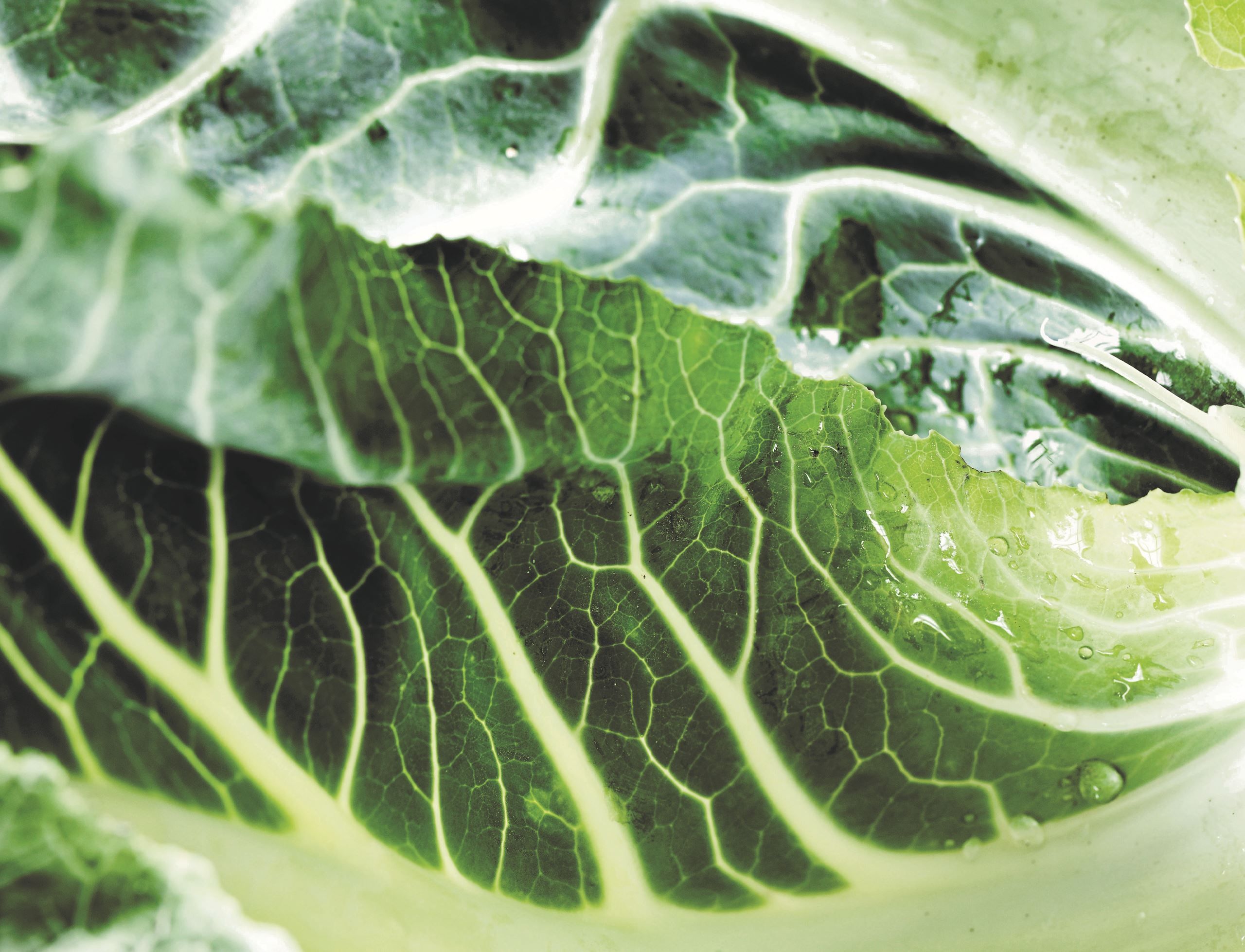 Meyers Madhus vinder udbud om Københavns Kommunes klimavenlige måltider​​​​‌﻿‍﻿​‍​‍‌‍﻿﻿‌﻿​‍‌‍‍‌‌‍‌﻿‌‍‍‌‌‍﻿‍​‍​‍​﻿‍‍​‍​‍‌﻿​﻿‌‍​‌‌‍﻿‍‌‍‍‌‌﻿‌​‌﻿‍‌​‍﻿‍‌‍‍‌‌‍﻿﻿​‍​‍​‍﻿​​‍​‍‌‍‍​‌﻿​‍‌‍‌‌‌‍‌‍​‍​‍​﻿‍‍​‍​‍‌‍‍​‌﻿‌​‌﻿‌​‌﻿​​​﻿‍‍​‍﻿﻿​‍﻿﻿‌‍﻿​‌‍﻿﻿‌‍​﻿‌‍​‌‌‍﻿​‌‍‍​‌‍﻿﻿‌﻿​﻿‌﻿‌​​﻿‍‍​﻿​﻿​﻿​﻿​﻿​﻿​﻿​﻿​‍﻿﻿‌‍‍‌‌‍﻿‍‌﻿‌​‌‍‌‌‌‍﻿‍‌﻿‌​​‍﻿﻿‌‍‌‌‌‍‌​‌‍‍‌‌﻿‌​​‍﻿﻿‌‍﻿‌‌‍﻿﻿‌‍‌​‌‍‌‌​﻿﻿‌‌﻿​​‌﻿​‍‌‍‌‌‌﻿​﻿‌‍‌‌‌‍﻿‍‌﻿‌​‌‍​‌‌﻿‌​‌‍‍‌‌‍﻿﻿‌‍﻿‍​﻿‍﻿‌‍‍‌‌‍‌​​﻿﻿‌​﻿‌﻿​﻿​‌​﻿‍​​﻿​﻿‌‍​‌​﻿​‌​﻿​‍​﻿‌‌​‍﻿‌‌‍​‌​﻿‍‌​﻿​‍​﻿‌​​‍﻿‌​﻿‌​​﻿​​‌‍​﻿​﻿​‍​‍﻿‌‌‍​‍​﻿​‍‌‍​‍‌‍‌​​‍﻿‌‌‍​‍‌‍​‍‌‍‌‍​﻿‌‍​﻿‌﻿​﻿‌​​﻿​﻿​﻿‌‌​﻿‌‌​﻿​﻿‌‍​‍‌‍‌‌​﻿‍﻿‌﻿‌​‌﻿‍‌‌﻿​​‌‍‌‌​﻿﻿‌‌‍​‌‌﻿​‍‌﻿‌​‌‍‍‌‌‍​﻿‌‍﻿​‌‍‌‌​﻿‍﻿‌﻿​​‌‍​‌‌﻿‌​‌‍‍​​﻿﻿‌‌‍‍‌‌‍﻿‌‌‍​‌‌‍‌﻿‌‍‌‌​‍﻿‍‌‍​‌‌‍﻿​‌﻿‌​​﻿﻿﻿‌‍​‍‌‍​‌‌﻿​﻿‌‍‌‌‌‌‌‌‌﻿​‍‌‍﻿​​﻿﻿‌‌‍‍​‌﻿‌​‌﻿‌​‌﻿​​​‍‌‌​﻿​﻿‌​​‌​‍‌‌​﻿​‍‌​‌‍​‍‌‌​﻿​‍‌​‌‍‌‍﻿​‌‍﻿﻿‌‍​﻿‌‍​‌‌‍﻿​‌‍‍​‌‍﻿﻿‌﻿​﻿‌﻿‌​​‍‌‌​﻿​﻿‌​​‌​﻿​﻿​﻿​﻿​﻿​﻿​﻿​﻿​‍‌‍‌‍‍‌‌‍‌​​﻿﻿‌​﻿‌﻿​﻿​‌​﻿‍​​﻿​﻿‌‍​‌​﻿​‌​﻿​‍​﻿‌‌​‍﻿‌‌‍​‌​﻿‍‌​﻿​‍​﻿‌​​‍﻿‌​﻿‌​​﻿​​‌‍​﻿​﻿​‍​‍﻿‌‌‍​‍​﻿​‍‌‍​‍‌‍‌​​‍﻿‌‌‍​‍‌‍​‍‌‍‌‍​﻿‌‍​﻿‌﻿​﻿‌​​﻿​﻿​﻿‌‌​﻿‌‌​﻿​﻿‌‍​‍‌‍‌‌​‍‌‍‌﻿‌​‌﻿‍‌‌﻿​​‌‍‌‌​﻿﻿‌‌‍​‌‌﻿​‍‌﻿‌​‌‍‍‌‌‍​﻿‌‍﻿​‌‍‌‌​‍‌‍‌﻿​​‌‍​‌‌﻿‌​‌‍‍​​﻿﻿‌‌‍‍‌‌‍﻿‌‌‍​‌‌‍‌﻿‌‍‌‌​‍﻿‍‌‍​‌‌‍﻿​‌﻿‌​​‍‌‍‌﻿​​‌‍‌‌‌﻿​‍‌﻿​﻿‌﻿​​‌‍‌‌‌‍​﻿‌﻿‌​‌‍‍‌‌﻿‌‍‌‍‌‌​﻿﻿‌‌﻿​​‌﻿‌‌‌‍​‍‌‍﻿​‌‍‍‌‌﻿​﻿‌‍‍​‌‍‌‌‌‍‌​​‍​‍‌﻿﻿‌