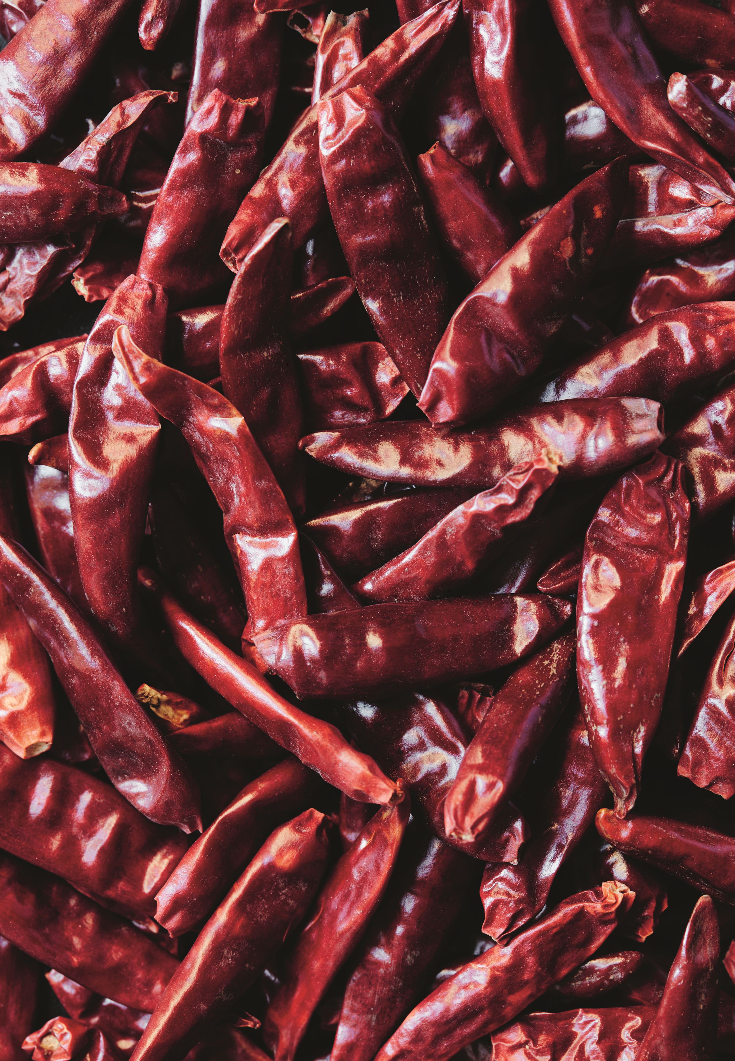 Mød Jose Rafael Marin, som er køkkenchef for en dag​​​​‌﻿‍﻿​‍​‍‌‍﻿﻿‌﻿​‍‌‍‍‌‌‍‌﻿‌‍‍‌‌‍﻿‍​‍​‍​﻿‍‍​‍​‍‌﻿​﻿‌‍​‌‌‍﻿‍‌‍‍‌‌﻿‌​‌﻿‍‌​‍﻿‍‌‍‍‌‌‍﻿﻿​‍​‍​‍﻿​​‍​‍‌‍‍​‌﻿​‍‌‍‌‌‌‍‌‍​‍​‍​﻿‍‍​‍​‍‌‍‍​‌﻿‌​‌﻿‌​‌﻿​​​﻿‍‍​‍﻿﻿​‍﻿﻿‌‍﻿​‌‍﻿﻿‌‍​﻿‌‍​‌‌‍﻿​‌‍‍​‌‍﻿﻿‌﻿​﻿‌﻿‌​​﻿‍‍​﻿​﻿​﻿​﻿​﻿​﻿​﻿​﻿​‍﻿﻿‌‍‍‌‌‍﻿‍‌﻿‌​‌‍‌‌‌‍﻿‍‌﻿‌​​‍﻿﻿‌‍‌‌‌‍‌​‌‍‍‌‌﻿‌​​‍﻿﻿‌‍﻿‌‌‍﻿﻿‌‍‌​‌‍‌‌​﻿﻿‌‌﻿​​‌﻿​‍‌‍‌‌‌﻿​﻿‌‍‌‌‌‍﻿‍‌﻿‌​‌‍​‌‌﻿‌​‌‍‍‌‌‍﻿﻿‌‍﻿‍​﻿‍﻿‌‍‍‌‌‍‌​​﻿﻿‌​﻿‌​‌‍​‌​﻿‌﻿​﻿​﻿‌‍​‌​﻿‌‌​﻿​‌‌‍​‍​‍﻿‌‌‍‌​​﻿‌‌​﻿‌﻿​﻿​﻿​‍﻿‌​﻿‌​‌‍‌‌​﻿‍‌​﻿‌‌​‍﻿‌​﻿‍‌​﻿‌​​﻿​﻿​﻿‍​​‍﻿‌‌‍‌‍‌‍‌​‌‍‌​​﻿‌‌​﻿‌‌​﻿‌‌‌‍​‌​﻿‌﻿​﻿‌‌‌‍​‍​﻿‌​​﻿‌﻿​﻿‍﻿‌﻿‌​‌﻿‍‌‌﻿​​‌‍‌‌​﻿﻿‌‌‍​‌‌﻿​‍‌﻿‌​‌‍‍‌‌‍​﻿‌‍﻿​‌‍‌‌​﻿‍﻿‌﻿​​‌‍​‌‌﻿‌​‌‍‍​​﻿﻿‌‌‍‍‌‌‍﻿‌‌‍​‌‌‍‌﻿‌‍‌‌​‍﻿‍‌‍​‌‌‍﻿​‌﻿‌​​﻿﻿﻿‌‍​‍‌‍​‌‌﻿​﻿‌‍‌‌‌‌‌‌‌﻿​‍‌‍﻿​​﻿﻿‌‌‍‍​‌﻿‌​‌﻿‌​‌﻿​​​‍‌‌​﻿​﻿‌​​‌​‍‌‌​﻿​‍‌​‌‍​‍‌‌​﻿​‍‌​‌‍‌‍﻿​‌‍﻿﻿‌‍​﻿‌‍​‌‌‍﻿​‌‍‍​‌‍﻿﻿‌﻿​﻿‌﻿‌​​‍‌‌​﻿​﻿‌​​‌​﻿​﻿​﻿​﻿​﻿​﻿​﻿​﻿​‍‌‍‌‍‍‌‌‍‌​​﻿﻿‌​﻿‌​‌‍​‌​﻿‌﻿​﻿​﻿‌‍​‌​﻿‌‌​﻿​‌‌‍​‍​‍﻿‌‌‍‌​​﻿‌‌​﻿‌﻿​﻿​﻿​‍﻿‌​﻿‌​‌‍‌‌​﻿‍‌​﻿‌‌​‍﻿‌​﻿‍‌​﻿‌​​﻿​﻿​﻿‍​​‍﻿‌‌‍‌‍‌‍‌​‌‍‌​​﻿‌‌​﻿‌‌​﻿‌‌‌‍​‌​﻿‌﻿​﻿‌‌‌‍​‍​﻿‌​​﻿‌﻿​‍‌‍‌﻿‌​‌﻿‍‌‌﻿​​‌‍‌‌​﻿﻿‌‌‍​‌‌﻿​‍‌﻿‌​‌‍‍‌‌‍​﻿‌‍﻿​‌‍‌‌​‍‌‍‌﻿​​‌‍​‌‌﻿‌​‌‍‍​​﻿﻿‌‌‍‍‌‌‍﻿‌‌‍​‌‌‍‌﻿‌‍‌‌​‍﻿‍‌‍​‌‌‍﻿​‌﻿‌​​‍‌‍‌﻿​​‌‍‌‌‌﻿​‍‌﻿​﻿‌﻿​​‌‍‌‌‌‍​﻿‌﻿‌​‌‍‍‌‌﻿‌‍‌‍‌‌​﻿﻿‌‌﻿​​‌﻿‌‌‌‍​‍‌‍﻿​‌‍‍‌‌﻿​﻿‌‍‍​‌‍‌‌‌‍‌​​‍​‍‌﻿﻿‌