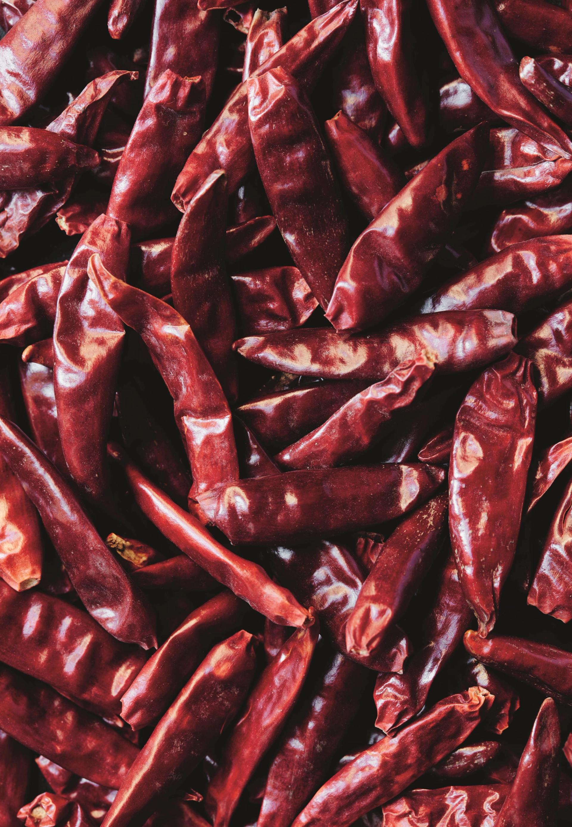 Mød Jose Rafael Marin, som er køkkenchef for en dag