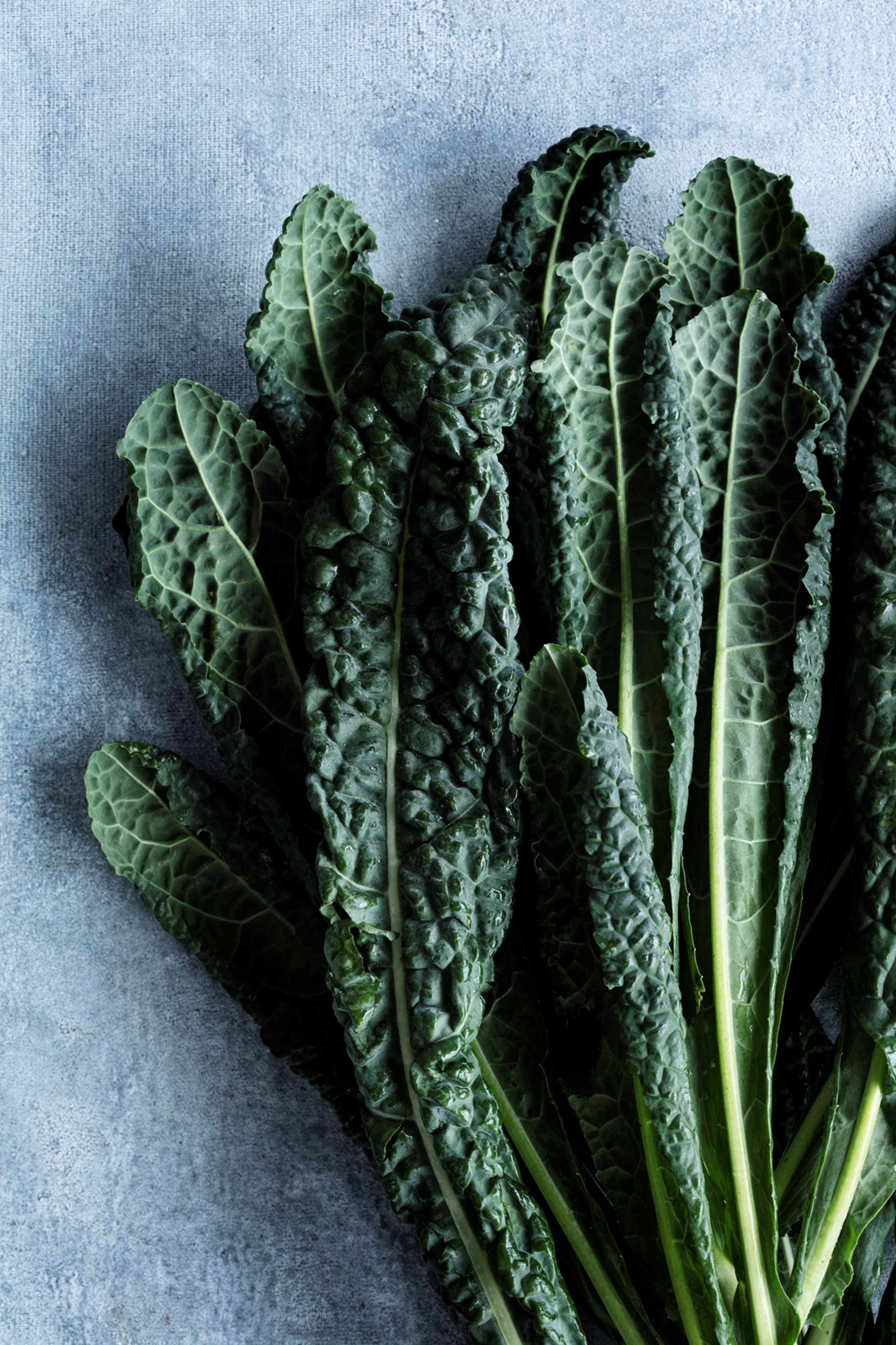 Spis sæsonens råvarer i februar​​​​‌﻿‍﻿​‍​‍‌‍﻿﻿‌﻿​‍‌‍‍‌‌‍‌﻿‌‍‍‌‌‍﻿‍​‍​‍​﻿‍‍​‍​‍‌﻿​﻿‌‍​‌‌‍﻿‍‌‍‍‌‌﻿‌​‌﻿‍‌​‍﻿‍‌‍‍‌‌‍﻿﻿​‍​‍​‍﻿​​‍​‍‌‍‍​‌﻿​‍‌‍‌‌‌‍‌‍​‍​‍​﻿‍‍​‍​‍‌‍‍​‌﻿‌​‌﻿‌​‌﻿​​​﻿‍‍​‍﻿﻿​‍﻿﻿‌‍﻿​‌‍﻿﻿‌‍​﻿‌‍​‌‌‍﻿​‌‍‍​‌‍﻿﻿‌﻿​﻿‌﻿‌​​﻿‍‍​﻿​﻿​﻿​﻿​﻿​﻿​﻿​﻿​‍﻿﻿‌‍‍‌‌‍﻿‍‌﻿‌​‌‍‌‌‌‍﻿‍‌﻿‌​​‍﻿﻿‌‍‌‌‌‍‌​‌‍‍‌‌﻿‌​​‍﻿﻿‌‍﻿‌‌‍﻿﻿‌‍‌​‌‍‌‌​﻿﻿‌‌﻿​​‌﻿​‍‌‍‌‌‌﻿​﻿‌‍‌‌‌‍﻿‍‌﻿‌​‌‍​‌‌﻿‌​‌‍‍‌‌‍﻿﻿‌‍﻿‍​﻿‍﻿‌‍‍‌‌‍‌​​﻿﻿‌​﻿​﻿‌‍‌​​﻿‌‍​﻿‌‍​﻿‌​​﻿‌​​﻿​‌​﻿‍​​‍﻿‌​﻿‌‌​﻿​﻿​﻿‌﻿‌‍‌‍​‍﻿‌​﻿‌​​﻿​​​﻿‌‍​﻿‌﻿​‍﻿‌​﻿‍​‌‍‌‍​﻿​​​﻿‌‍​‍﻿‌‌‍​﻿‌‍‌‍​﻿‍​​﻿‍​​﻿​‍​﻿​​‌‍‌‌‌‍​‍​﻿‍​​﻿‍‌‌‍​‍​﻿​﻿​﻿‍﻿‌﻿‌​‌﻿‍‌‌﻿​​‌‍‌‌​﻿﻿‌‌‍​‌‌﻿​‍‌﻿‌​‌‍‍‌‌‍​﻿‌‍﻿​‌‍‌‌​﻿‍﻿‌﻿​​‌‍​‌‌﻿‌​‌‍‍​​﻿﻿‌‌‍‍‌‌‍﻿‌‌‍​‌‌‍‌﻿‌‍‌‌​‍﻿‍‌‍​‌‌‍﻿​‌﻿‌​​﻿﻿﻿‌‍​‍‌‍​‌‌﻿​﻿‌‍‌‌‌‌‌‌‌﻿​‍‌‍﻿​​﻿﻿‌‌‍‍​‌﻿‌​‌﻿‌​‌﻿​​​‍‌‌​﻿​﻿‌​​‌​‍‌‌​﻿​‍‌​‌‍​‍‌‌​﻿​‍‌​‌‍‌‍﻿​‌‍﻿﻿‌‍​﻿‌‍​‌‌‍﻿​‌‍‍​‌‍﻿﻿‌﻿​﻿‌﻿‌​​‍‌‌​﻿​﻿‌​​‌​﻿​﻿​﻿​﻿​﻿​﻿​﻿​﻿​‍‌‍‌‍‍‌‌‍‌​​﻿﻿‌​﻿​﻿‌‍‌​​﻿‌‍​﻿‌‍​﻿‌​​﻿‌​​﻿​‌​﻿‍​​‍﻿‌​﻿‌‌​﻿​﻿​﻿‌﻿‌‍‌‍​‍﻿‌​﻿‌​​﻿​​​﻿‌‍​﻿‌﻿​‍﻿‌​﻿‍​‌‍‌‍​﻿​​​﻿‌‍​‍﻿‌‌‍​﻿‌‍‌‍​﻿‍​​﻿‍​​﻿​‍​﻿​​‌‍‌‌‌‍​‍​﻿‍​​﻿‍‌‌‍​‍​﻿​﻿​‍‌‍‌﻿‌​‌﻿‍‌‌﻿​​‌‍‌‌​﻿﻿‌‌‍​‌‌﻿​‍‌﻿‌​‌‍‍‌‌‍​﻿‌‍﻿​‌‍‌‌​‍‌‍‌﻿​​‌‍​‌‌﻿‌​‌‍‍​​﻿﻿‌‌‍‍‌‌‍﻿‌‌‍​‌‌‍‌﻿‌‍‌‌​‍﻿‍‌‍​‌‌‍﻿​‌﻿‌​​‍‌‍‌﻿​​‌‍‌‌‌﻿​‍‌﻿​﻿‌﻿​​‌‍‌‌‌‍​﻿‌﻿‌​‌‍‍‌‌﻿‌‍‌‍‌‌​﻿﻿‌‌﻿​​‌﻿‌‌‌‍​‍‌‍﻿​‌‍‍‌‌﻿​﻿‌‍‍​‌‍‌‌‌‍‌​​‍​‍‌﻿﻿‌