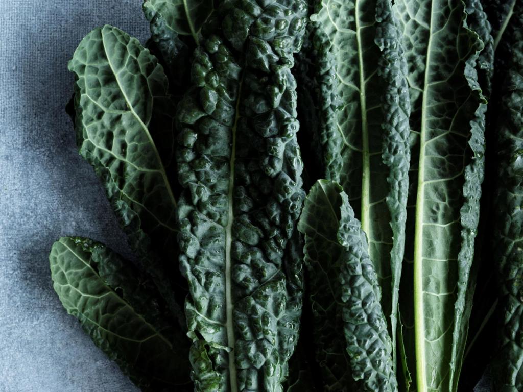 Spis sæsonens råvarer i februar