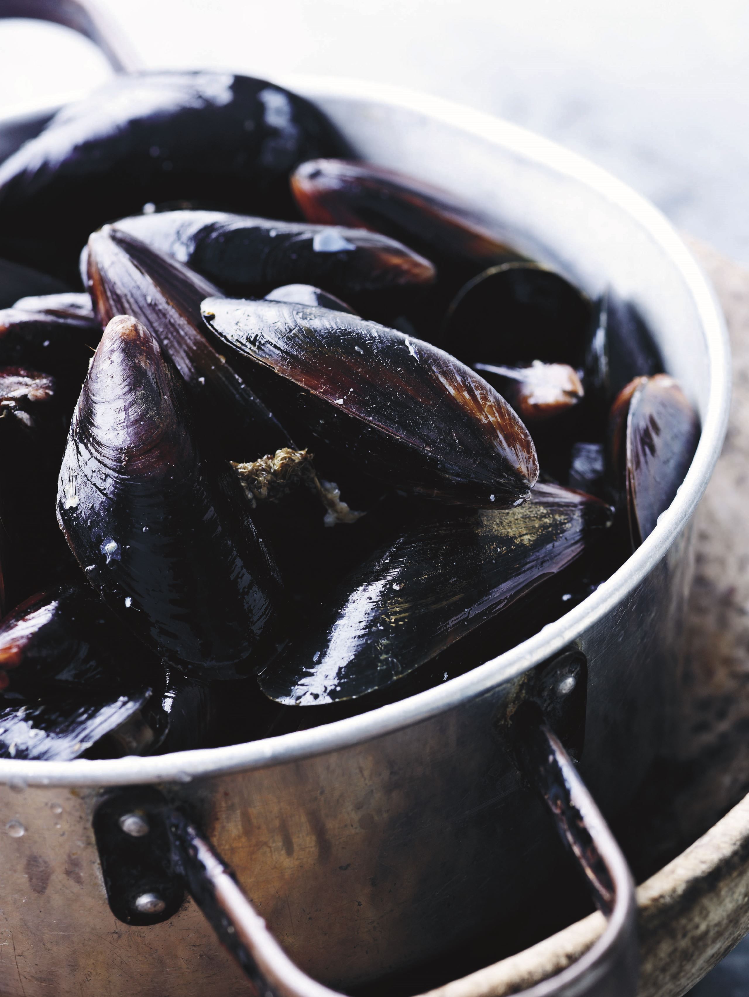 Dampede limfjordsmuslinger​​​​‌﻿‍﻿​‍​‍‌‍﻿﻿‌﻿​‍‌‍‍‌‌‍‌﻿‌‍‍‌‌‍﻿‍​‍​‍​﻿‍‍​‍​‍‌﻿​﻿‌‍​‌‌‍﻿‍‌‍‍‌‌﻿‌​‌﻿‍‌​‍﻿‍‌‍‍‌‌‍﻿﻿​‍​‍​‍﻿​​‍​‍‌‍‍​‌﻿​‍‌‍‌‌‌‍‌‍​‍​‍​﻿‍‍​‍​‍‌‍‍​‌﻿‌​‌﻿‌​‌﻿​​​﻿‍‍​‍﻿﻿​‍﻿﻿‌‍﻿​‌‍﻿﻿‌‍​﻿‌‍​‌‌‍﻿​‌‍‍​‌‍﻿﻿‌﻿​﻿‌﻿‌​​﻿‍‍​﻿​﻿​﻿​﻿​﻿​﻿​﻿​﻿​‍﻿﻿‌‍‍‌‌‍﻿‍‌﻿‌​‌‍‌‌‌‍﻿‍‌﻿‌​​‍﻿﻿‌‍‌‌‌‍‌​‌‍‍‌‌﻿‌​​‍﻿﻿‌‍﻿‌‌‍﻿﻿‌‍‌​‌‍‌‌​﻿﻿‌‌﻿​​‌﻿​‍‌‍‌‌‌﻿​﻿‌‍‌‌‌‍﻿‍‌﻿‌​‌‍​‌‌﻿‌​‌‍‍‌‌‍﻿﻿‌‍﻿‍​﻿‍﻿‌‍‍‌‌‍‌​​﻿﻿‌‌‍‌‌‌‍​‍​﻿‌‌‌‍‌‍‌‍​‌​﻿​﻿​﻿​‌‌‍​﻿​‍﻿‌‌‍‌‍‌‍‌​​﻿‌﻿​﻿​​​‍﻿‌​﻿‌‌​﻿‌﻿​﻿‌‌​﻿​﻿​‍﻿‌​﻿‍​‌‍‌‍​﻿​﻿​﻿​‍​‍﻿‌‌‍​‌‌‍‌‍​﻿​﻿​﻿​‍‌‍‌‍​﻿​‍‌‍‌‌‌‍‌‌​﻿‍‌​﻿​‍‌‍‌​​﻿​‍​﻿‍﻿‌﻿‌​‌﻿‍‌‌﻿​​‌‍‌‌​﻿﻿‌‌﻿​‍‌‍‌‌‌‍​﻿‌‍‍‌‌﻿​​‌‍‌‌​﻿‍﻿‌﻿​​‌‍​‌‌﻿‌​‌‍‍​​﻿﻿‌‌‍‍‌‌‍﻿‌‌‍​‌‌‍‌﻿‌‍‌‌​‍﻿‍‌‍​‌‌‍﻿​‌﻿‌​​﻿﻿﻿‌‍​‍‌‍​‌‌﻿​﻿‌‍‌‌‌‌‌‌‌﻿​‍‌‍﻿​​﻿﻿‌‌‍‍​‌﻿‌​‌﻿‌​‌﻿​​​‍‌‌​﻿​﻿‌​​‌​‍‌‌​﻿​‍‌​‌‍​‍‌‌​﻿​‍‌​‌‍‌‍﻿​‌‍﻿﻿‌‍​﻿‌‍​‌‌‍﻿​‌‍‍​‌‍﻿﻿‌﻿​﻿‌﻿‌​​‍‌‌​﻿​﻿‌​​‌​﻿​﻿​﻿​﻿​﻿​﻿​﻿​﻿​‍‌‍‌‍‍‌‌‍‌​​﻿﻿‌‌‍‌‌‌‍​‍​﻿‌‌‌‍‌‍‌‍​‌​﻿​﻿​﻿​‌‌‍​﻿​‍﻿‌‌‍‌‍‌‍‌​​﻿‌﻿​﻿​​​‍﻿‌​﻿‌‌​﻿‌﻿​﻿‌‌​﻿​﻿​‍﻿‌​﻿‍​‌‍‌‍​﻿​﻿​﻿​‍​‍﻿‌‌‍​‌‌‍‌‍​﻿​﻿​﻿​‍‌‍‌‍​﻿​‍‌‍‌‌‌‍‌‌​﻿‍‌​﻿​‍‌‍‌​​﻿​‍​‍‌‍‌﻿‌​‌﻿‍‌‌﻿​​‌‍‌‌​﻿﻿‌‌﻿​‍‌‍‌‌‌‍​﻿‌‍‍‌‌﻿​​‌‍‌‌​‍‌‍‌﻿​​‌‍​‌‌﻿‌​‌‍‍​​﻿﻿‌‌‍‍‌‌‍﻿‌‌‍​‌‌‍‌﻿‌‍‌‌​‍﻿‍‌‍​‌‌‍﻿​‌﻿‌​​‍‌‍‌﻿​​‌‍‌‌‌﻿​‍‌﻿​﻿‌﻿​​‌‍‌‌‌‍​﻿‌﻿‌​‌‍‍‌‌﻿‌‍‌‍‌‌​﻿﻿‌‌﻿​​‌﻿‌‌‌‍​‍‌‍﻿​‌‍‍‌‌﻿​﻿‌‍‍​‌‍‌‌‌‍‌​​‍​‍‌﻿﻿‌