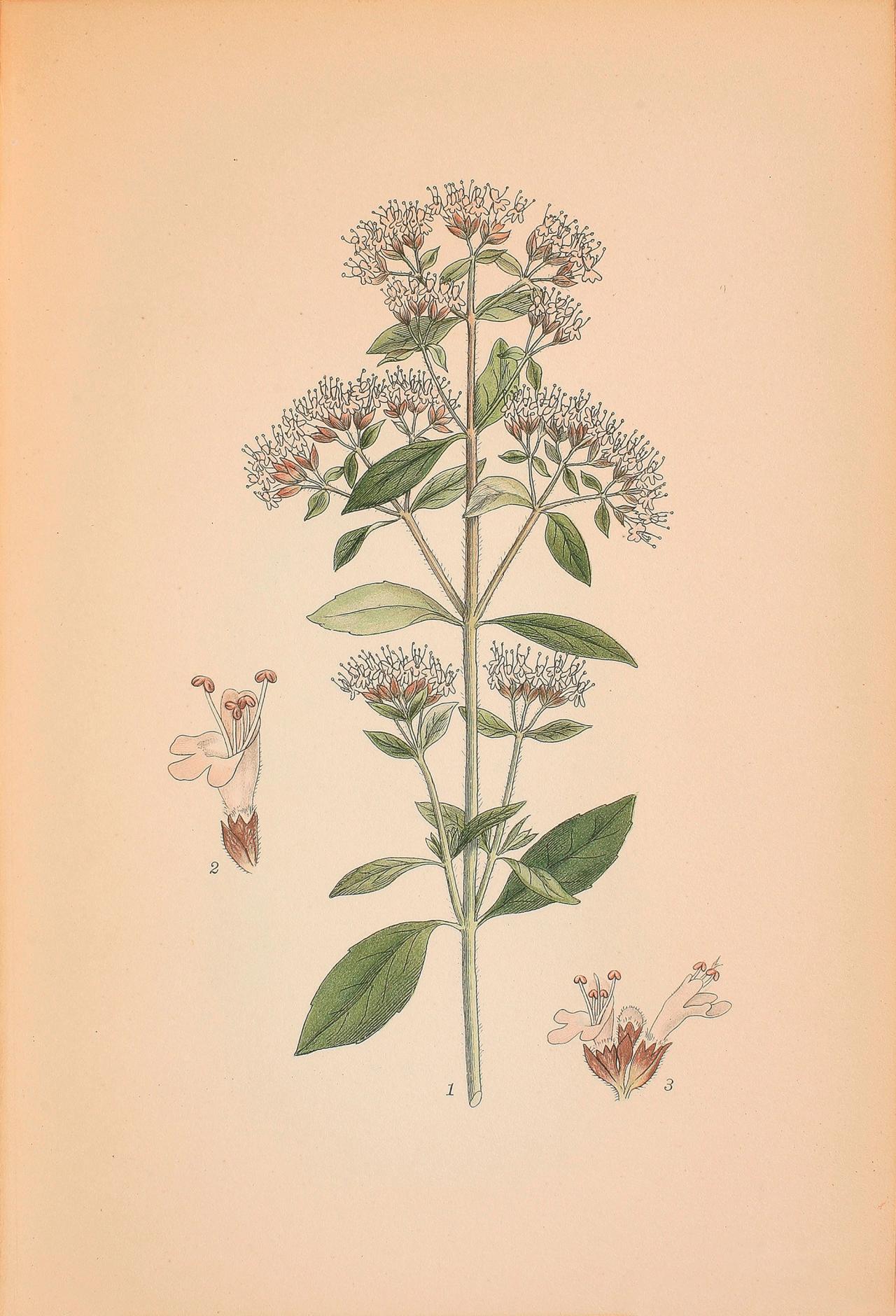 Sommer​​​​‌﻿‍﻿​‍​‍‌‍﻿﻿‌﻿​‍‌‍‍‌‌‍‌﻿‌‍‍‌‌‍﻿‍​‍​‍​﻿‍‍​‍​‍‌﻿​﻿‌‍​‌‌‍﻿‍‌‍‍‌‌﻿‌​‌﻿‍‌​‍﻿‍‌‍‍‌‌‍﻿﻿​‍​‍​‍﻿​​‍​‍‌‍‍​‌﻿​‍‌‍‌‌‌‍‌‍​‍​‍​﻿‍‍​‍​‍‌‍‍​‌﻿‌​‌﻿‌​‌﻿​​​﻿‍‍​‍﻿﻿​‍﻿﻿‌‍﻿​‌‍﻿﻿‌‍​﻿‌‍​‌‌‍﻿​‌‍‍​‌‍﻿﻿‌﻿​﻿‌﻿‌​​﻿‍‍​﻿​﻿​﻿​﻿​﻿​﻿​﻿​﻿​‍﻿﻿‌‍‍‌‌‍﻿‍‌﻿‌​‌‍‌‌‌‍﻿‍‌﻿‌​​‍﻿﻿‌‍‌‌‌‍‌​‌‍‍‌‌﻿‌​​‍﻿﻿‌‍﻿‌‌‍﻿﻿‌‍‌​‌‍‌‌​﻿﻿‌‌﻿​​‌﻿​‍‌‍‌‌‌﻿​﻿‌‍‌‌‌‍﻿‍‌﻿‌​‌‍​‌‌﻿‌​‌‍‍‌‌‍﻿﻿‌‍﻿‍​﻿‍﻿‌‍‍‌‌‍‌​​﻿﻿‌​﻿‌‍​﻿​‍‌‍​‌‌‍‌‍​﻿‍​​﻿​﻿​﻿​​​﻿‌﻿​‍﻿‌​﻿​‌​﻿​‌‌‍​‍​﻿‌﻿​‍﻿‌​﻿‌​​﻿‌‌‌‍‌​​﻿​﻿​‍﻿‌​﻿‍‌‌‍​﻿​﻿‌‌‌‍‌​​‍﻿‌‌‍​‌​﻿​﻿‌‍‌​‌‍‌‍​﻿‌‌‌‍‌‍​﻿‌﻿​﻿‌​​﻿‍‌​﻿‌‍‌‍​‍‌‍‌‍​﻿‍﻿‌﻿‌​‌﻿‍‌‌﻿​​‌‍‌‌​﻿﻿‌‌‍​‌‌﻿​‍‌﻿‌​‌‍‍‌‌‍​﻿‌‍﻿​‌‍‌‌​﻿‍﻿‌﻿​​‌‍​‌‌﻿‌​‌‍‍​​﻿﻿‌‌﻿​​‌‍﻿﻿‌﻿​‍‌﻿‌​‌‍​‌‌‍​‍‌‍﻿​‌‍‌‌‌﻿‌​‌‍‌‌‌﻿‍​‌﻿‌​​‍‌‌​﻿‌‌‌​​‍‌‌﻿﻿‌‍‍﻿‌‍‌‌‌﻿‍‌​‍‌‌​﻿​﻿‌​‌​​‍‌‌​﻿​﻿‌​‌​​‍‌‌​﻿​‍​﻿​‍‌‍​‍​﻿‍‌‌‍‌​‌‍‌‌​﻿‌‌​﻿‌‌​﻿​​​﻿​‌​‍‌‌​﻿​‍​﻿​‍​‍‌‌​﻿‌‌‌​‌​​‍﻿‍‌﻿​﻿‌‍﻿​‌‍‍‌‌‍‌​‌‍‌‌‌﻿​﻿​‍‌‌​﻿‌‌‌​​‍‌‌﻿﻿‌‍‍﻿‌‍‌‌‌﻿‍‌​‍‌‌​﻿​﻿‌​‌​​‍‌‌​﻿​﻿‌​‌​​‍‌‌​﻿​‍​﻿​‍​﻿​​​﻿‌​​﻿‌‌​﻿‌​​﻿​‍​﻿‍​​﻿‍‌‌‍​‌​‍‌‌​﻿​‍​﻿​‍​‍‌‌​﻿‌‌‌​‌​​‍﻿‍‌‍‍‌‌‍﻿‌‌‍​‌‌‍‌﻿‌‍‌‌​‍﻿‍‌‍​‌‌‍﻿​‌﻿‌​​﻿﻿﻿‌‍​‍‌‍​‌‌﻿​﻿‌‍‌‌‌‌‌‌‌﻿​‍‌‍﻿​​﻿﻿‌‌‍‍​‌﻿‌​‌﻿‌​‌﻿​​​‍‌‌​﻿​﻿‌​​‌​‍‌‌​﻿​‍‌​‌‍​‍‌‌​﻿​‍‌​‌‍‌‍﻿​‌‍﻿﻿‌‍​﻿‌‍​‌‌‍﻿​‌‍‍​‌‍﻿﻿‌﻿​﻿‌﻿‌​​‍‌‌​﻿​﻿‌​​‌​﻿​﻿​﻿​﻿​﻿​﻿​﻿​﻿​‍‌‍‌‍‍‌‌‍‌​​﻿﻿‌​﻿‌‍​﻿​‍‌‍​‌‌‍‌‍​﻿‍​​﻿​﻿​﻿​​​﻿‌﻿​‍﻿‌​﻿​‌​﻿​‌‌‍​‍​﻿‌﻿​‍﻿‌​﻿‌​​﻿‌‌‌‍‌​​﻿​﻿​‍﻿‌​﻿‍‌‌‍​﻿​﻿‌‌‌‍‌​​‍﻿‌‌‍​‌​﻿​﻿‌‍‌​‌‍‌‍​﻿‌‌‌‍‌‍​﻿‌﻿​﻿‌​​﻿‍‌​﻿‌‍‌‍​‍‌‍‌‍​‍‌‍‌﻿‌​‌﻿‍‌‌﻿​​‌‍‌‌​﻿﻿‌‌‍​‌‌﻿​‍‌﻿‌​‌‍‍‌‌‍​﻿‌‍﻿​‌‍‌‌​‍‌‍‌﻿​​‌‍​‌‌﻿‌​‌‍‍​​﻿﻿‌‌﻿​​‌‍﻿﻿‌﻿​‍‌﻿‌​‌‍​‌‌‍​‍‌‍﻿​‌‍‌‌‌﻿‌​‌‍‌‌‌﻿‍​‌﻿‌​​‍‌‌​﻿‌‌‌​​‍‌‌﻿﻿‌‍‍﻿‌‍‌‌‌﻿‍‌​‍‌‌​﻿​﻿‌​‌​​‍‌‌​﻿​﻿‌​‌​​‍‌‌​﻿​‍​﻿​‍‌‍​‍​﻿‍‌‌‍‌​‌‍‌‌​﻿‌‌​﻿‌‌​﻿​​​﻿​‌​‍‌‌​﻿​‍​﻿​‍​‍‌‌​﻿‌‌‌​‌​​‍﻿‍‌﻿​﻿‌‍﻿​‌‍‍‌‌‍‌​‌‍‌‌‌﻿​﻿​‍‌‌​﻿‌‌‌​​‍‌‌﻿﻿‌‍‍﻿‌‍‌‌‌﻿‍‌​‍‌‌​﻿​﻿‌​‌​​‍‌‌​﻿​﻿‌​‌​​‍‌‌​﻿​‍​﻿​‍​﻿​​​﻿‌​​﻿‌‌​﻿‌​​﻿​‍​﻿‍​​﻿‍‌‌‍​‌​‍‌‌​﻿​‍​﻿​‍​‍‌‌​﻿‌‌‌​‌​​‍﻿‍‌‍‍‌‌‍﻿‌‌‍​‌‌‍‌﻿‌‍‌‌​‍﻿‍‌‍​‌‌‍﻿​‌﻿‌​​‍‌‍‌﻿​​‌‍‌‌‌﻿​‍‌﻿​﻿‌﻿​​‌‍‌‌‌‍​﻿‌﻿‌​‌‍‍‌‌﻿‌‍‌‍‌‌​﻿﻿‌‌﻿​​‌﻿‌‌‌‍​‍‌‍﻿​‌‍‍‌‌﻿​﻿‌‍‍​‌‍‌‌‌‍‌​​‍​‍‌﻿﻿‌