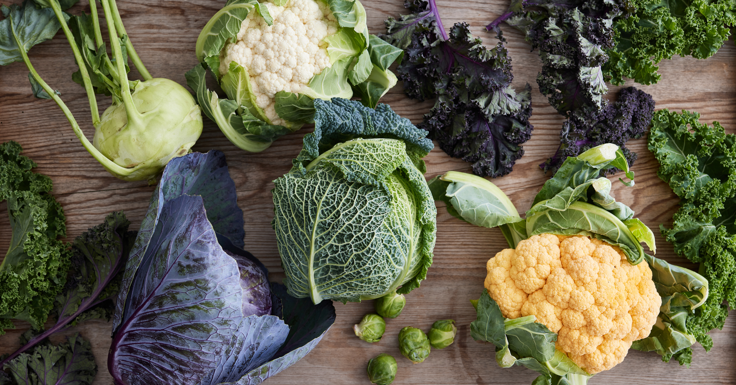 Økologi - en bæredygtig behandling af miljø, natur og dyr.​​​​‌﻿‍﻿​‍​‍‌‍﻿﻿‌﻿​‍‌‍‍‌‌‍‌﻿‌‍‍‌‌‍﻿‍​‍​‍​﻿‍‍​‍​‍‌﻿​﻿‌‍​‌‌‍﻿‍‌‍‍‌‌﻿‌​‌﻿‍‌​‍﻿‍‌‍‍‌‌‍﻿﻿​‍​‍​‍﻿​​‍​‍‌‍‍​‌﻿​‍‌‍‌‌‌‍‌‍​‍​‍​﻿‍‍​‍​‍‌‍‍​‌﻿‌​‌﻿‌​‌﻿​​​﻿‍‍​‍﻿﻿​‍﻿﻿‌‍﻿​‌‍﻿﻿‌‍​﻿‌‍​‌‌‍﻿​‌‍‍​‌‍﻿﻿‌﻿​﻿‌﻿‌​​﻿‍‍​﻿​﻿​﻿​﻿​﻿​﻿​﻿​﻿​‍﻿﻿‌‍‍‌‌‍﻿‍‌﻿‌​‌‍‌‌‌‍﻿‍‌﻿‌​​‍﻿﻿‌‍‌‌‌‍‌​‌‍‍‌‌﻿‌​​‍﻿﻿‌‍﻿‌‌‍﻿﻿‌‍‌​‌‍‌‌​﻿﻿‌‌﻿​​‌﻿​‍‌‍‌‌‌﻿​﻿‌‍‌‌‌‍﻿‍‌﻿‌​‌‍​‌‌﻿‌​‌‍‍‌‌‍﻿﻿‌‍﻿‍​﻿‍﻿‌‍‍‌‌‍‌​​﻿﻿‌​﻿​​​﻿​‌​﻿‌﻿‌‍​﻿​﻿‌﻿​﻿​‍‌‍​﻿‌‍‌‍​‍﻿‌‌‍​‌‌‍​﻿​﻿​‌‌‍‌‌​‍﻿‌​﻿‌​‌‍​﻿​﻿‍‌​﻿​​​‍﻿‌‌‍​‍‌‍‌‌​﻿​‌‌‍​‍​‍﻿‌​﻿​‌​﻿‌‌​﻿​‌​﻿‌​​﻿‌‌‌‍​‍‌‍​‌​﻿‌‌​﻿​‍‌‍‌​‌‍‌​‌‍‌​​﻿‍﻿‌﻿‌​‌﻿‍‌‌﻿​​‌‍‌‌​﻿﻿‌‌‍​‌‌﻿​‍‌﻿‌​‌‍‍‌‌‍​﻿‌‍﻿​‌‍‌‌​﻿‍﻿‌﻿​​‌‍​‌‌﻿‌​‌‍‍​​﻿﻿‌‌‍‍‌‌‍﻿‌‌‍​‌‌‍‌﻿‌‍‌‌​‍﻿‍‌‍​‌‌‍﻿​‌﻿‌​​﻿﻿﻿‌‍​‍‌‍​‌‌﻿​﻿‌‍‌‌‌‌‌‌‌﻿​‍‌‍﻿​​﻿﻿‌‌‍‍​‌﻿‌​‌﻿‌​‌﻿​​​‍‌‌​﻿​﻿‌​​‌​‍‌‌​﻿​‍‌​‌‍​‍‌‌​﻿​‍‌​‌‍‌‍﻿​‌‍﻿﻿‌‍​﻿‌‍​‌‌‍﻿​‌‍‍​‌‍﻿﻿‌﻿​﻿‌﻿‌​​‍‌‌​﻿​﻿‌​​‌​﻿​﻿​﻿​﻿​﻿​﻿​﻿​﻿​‍‌‍‌‍‍‌‌‍‌​​﻿﻿‌​﻿​​​﻿​‌​﻿‌﻿‌‍​﻿​﻿‌﻿​﻿​‍‌‍​﻿‌‍‌‍​‍﻿‌‌‍​‌‌‍​﻿​﻿​‌‌‍‌‌​‍﻿‌​﻿‌​‌‍​﻿​﻿‍‌​﻿​​​‍﻿‌‌‍​‍‌‍‌‌​﻿​‌‌‍​‍​‍﻿‌​﻿​‌​﻿‌‌​﻿​‌​﻿‌​​﻿‌‌‌‍​‍‌‍​‌​﻿‌‌​﻿​‍‌‍‌​‌‍‌​‌‍‌​​‍‌‍‌﻿‌​‌﻿‍‌‌﻿​​‌‍‌‌​﻿﻿‌‌‍​‌‌﻿​‍‌﻿‌​‌‍‍‌‌‍​﻿‌‍﻿​‌‍‌‌​‍‌‍‌﻿​​‌‍​‌‌﻿‌​‌‍‍​​﻿﻿‌‌‍‍‌‌‍﻿‌‌‍​‌‌‍‌﻿‌‍‌‌​‍﻿‍‌‍​‌‌‍﻿​‌﻿‌​​‍‌‍‌﻿​​‌‍‌‌‌﻿​‍‌﻿​﻿‌﻿​​‌‍‌‌‌‍​﻿‌﻿‌​‌‍‍‌‌﻿‌‍‌‍‌‌​﻿﻿‌‌﻿​​‌﻿‌‌‌‍​‍‌‍﻿​‌‍‍‌‌﻿​﻿‌‍‍​‌‍‌‌‌‍‌​​‍​‍‌﻿﻿‌