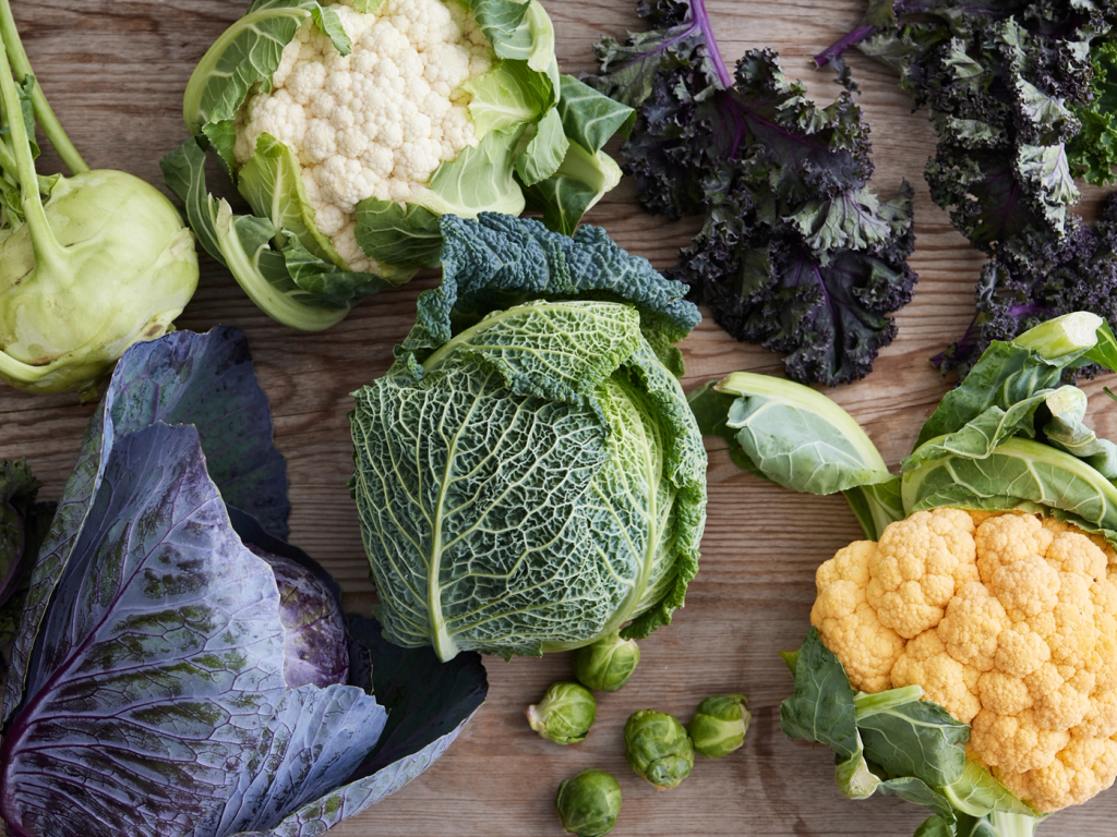 Økologi - en bæredygtig behandling af miljø, natur og dyr.