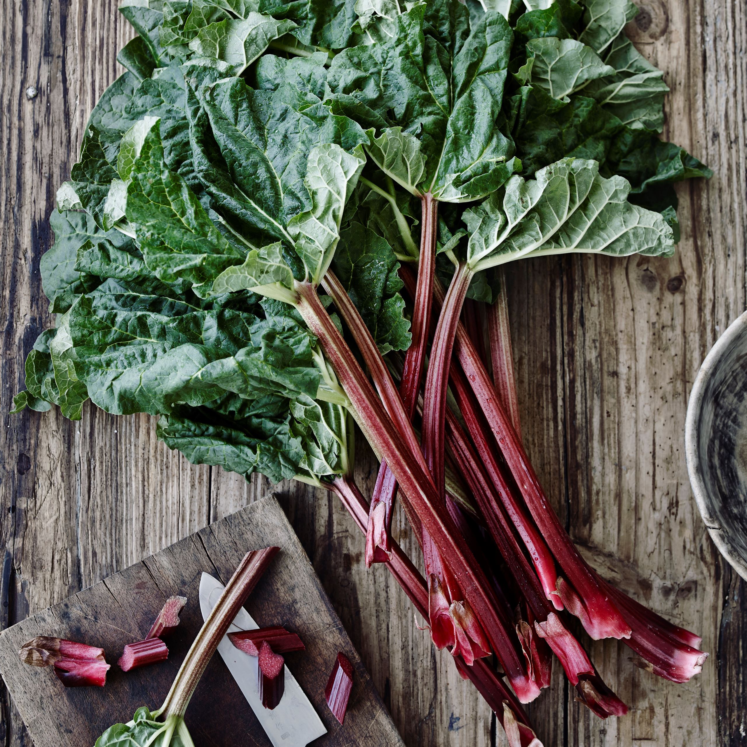 Hjemmelavet yoghurt med rabarber​​​​‌﻿‍﻿​‍​‍‌‍﻿﻿‌﻿​‍‌‍‍‌‌‍‌﻿‌‍‍‌‌‍﻿‍​‍​‍​﻿‍‍​‍​‍‌﻿​﻿‌‍​‌‌‍﻿‍‌‍‍‌‌﻿‌​‌﻿‍‌​‍﻿‍‌‍‍‌‌‍﻿﻿​‍​‍​‍﻿​​‍​‍‌‍‍​‌﻿​‍‌‍‌‌‌‍‌‍​‍​‍​﻿‍‍​‍​‍‌‍‍​‌﻿‌​‌﻿‌​‌﻿​​​﻿‍‍​‍﻿﻿​‍﻿﻿‌‍﻿​‌‍﻿﻿‌‍​﻿‌‍​‌‌‍﻿​‌‍‍​‌‍﻿﻿‌﻿​﻿‌﻿‌​​﻿‍‍​﻿​﻿​﻿​﻿​﻿​﻿​﻿​﻿​‍﻿﻿‌‍‍‌‌‍﻿‍‌﻿‌​‌‍‌‌‌‍﻿‍‌﻿‌​​‍﻿﻿‌‍‌‌‌‍‌​‌‍‍‌‌﻿‌​​‍﻿﻿‌‍﻿‌‌‍﻿﻿‌‍‌​‌‍‌‌​﻿﻿‌‌﻿​​‌﻿​‍‌‍‌‌‌﻿​﻿‌‍‌‌‌‍﻿‍‌﻿‌​‌‍​‌‌﻿‌​‌‍‍‌‌‍﻿﻿‌‍﻿‍​﻿‍﻿‌‍‍‌‌‍‌​​﻿﻿‌​﻿​﻿‌‍‌‌‌‍​‌​﻿‌​‌‍​‌‌‍‌‍​﻿‍‌​﻿‌﻿​‍﻿‌​﻿‌​​﻿​‌​﻿​﻿‌‍‌​​‍﻿‌​﻿‌​​﻿‌​‌‍​‌‌‍​‍​‍﻿‌​﻿‍‌‌‍‌​​﻿‌﻿​﻿‍​​‍﻿‌​﻿‍‌​﻿​​‌‍​‌‌‍‌​‌‍​‍​﻿‌​​﻿‌‍​﻿‍‌‌‍​‍‌‍‌‍​﻿‌‌‌‍‌‍​﻿‍﻿‌﻿‌​‌﻿‍‌‌﻿​​‌‍‌‌​﻿﻿‌‌‍​‌‌﻿​‍‌﻿‌​‌‍‍‌‌‍​﻿‌‍﻿​‌‍‌‌​﻿‍﻿‌﻿​​‌‍​‌‌﻿‌​‌‍‍​​﻿﻿‌‌﻿​​‌‍﻿﻿‌﻿​‍‌﻿‌​‌‍​‌‌‍​‍‌‍﻿​‌‍‌‌‌﻿‌​‌‍‌‌‌﻿‍​‌﻿‌​​‍‌‌​﻿‌‌‌​​‍‌‌﻿﻿‌‍‍﻿‌‍‌‌‌﻿‍‌​‍‌‌​﻿​﻿‌​‌​​‍‌‌​﻿​﻿‌​‌​​‍‌‌​﻿​‍​﻿​‍​﻿‍‌‌‍‌‍‌‍​﻿​﻿​‍​﻿​‌‌‍‌‌‌‍​﻿​﻿‍‌​‍‌‌​﻿​‍​﻿​‍​‍‌‌​﻿‌‌‌​‌​​‍﻿‍‌‍​﻿‌‍​‌‌﻿​‍‌‍‌​‌﻿​﻿​‍‌‌​﻿‌‌‌​​‍‌‌﻿﻿‌‍‍﻿‌‍‌‌‌﻿‍‌​‍‌‌​﻿​﻿‌​‌​​‍‌‌​﻿​﻿‌​‌​​‍‌‌​﻿​‍​﻿​‍‌‍‌‍‌‍​﻿​﻿‍​​﻿‌﻿​﻿​‍​﻿​﻿​﻿‌​‌‍‌​​‍‌‌​﻿​‍​﻿​‍​‍‌‌​﻿‌‌‌​‌​​‍﻿‍‌‍‍‌‌‍﻿‌‌‍​‌‌‍‌﻿‌‍‌‌​‍﻿‍‌‍​‌‌‍﻿​‌﻿‌​​﻿﻿﻿‌‍​‍‌‍​‌‌﻿​﻿‌‍‌‌‌‌‌‌‌﻿​‍‌‍﻿​​﻿﻿‌‌‍‍​‌﻿‌​‌﻿‌​‌﻿​​​‍‌‌​﻿​﻿‌​​‌​‍‌‌​﻿​‍‌​‌‍​‍‌‌​﻿​‍‌​‌‍‌‍﻿​‌‍﻿﻿‌‍​﻿‌‍​‌‌‍﻿​‌‍‍​‌‍﻿﻿‌﻿​﻿‌﻿‌​​‍‌‌​﻿​﻿‌​​‌​﻿​﻿​﻿​﻿​﻿​﻿​﻿​﻿​‍‌‍‌‍‍‌‌‍‌​​﻿﻿‌​﻿​﻿‌‍‌‌‌‍​‌​﻿‌​‌‍​‌‌‍‌‍​﻿‍‌​﻿‌﻿​‍﻿‌​﻿‌​​﻿​‌​﻿​﻿‌‍‌​​‍﻿‌​﻿‌​​﻿‌​‌‍​‌‌‍​‍​‍﻿‌​﻿‍‌‌‍‌​​﻿‌﻿​﻿‍​​‍﻿‌​﻿‍‌​﻿​​‌‍​‌‌‍‌​‌‍​‍​﻿‌​​﻿‌‍​﻿‍‌‌‍​‍‌‍‌‍​﻿‌‌‌‍‌‍​‍‌‍‌﻿‌​‌﻿‍‌‌﻿​​‌‍‌‌​﻿﻿‌‌‍​‌‌﻿​‍‌﻿‌​‌‍‍‌‌‍​﻿‌‍﻿​‌‍‌‌​‍‌‍‌﻿​​‌‍​‌‌﻿‌​‌‍‍​​﻿﻿‌‌﻿​​‌‍﻿﻿‌﻿​‍‌﻿‌​‌‍​‌‌‍​‍‌‍﻿​‌‍‌‌‌﻿‌​‌‍‌‌‌﻿‍​‌﻿‌​​‍‌‌​﻿‌‌‌​​‍‌‌﻿﻿‌‍‍﻿‌‍‌‌‌﻿‍‌​‍‌‌​﻿​﻿‌​‌​​‍‌‌​﻿​﻿‌​‌​​‍‌‌​﻿​‍​﻿​‍​﻿‍‌‌‍‌‍‌‍​﻿​﻿​‍​﻿​‌‌‍‌‌‌‍​﻿​﻿‍‌​‍‌‌​﻿​‍​﻿​‍​‍‌‌​﻿‌‌‌​‌​​‍﻿‍‌‍​﻿‌‍​‌‌﻿​‍‌‍‌​‌﻿​﻿​‍‌‌​﻿‌‌‌​​‍‌‌﻿﻿‌‍‍﻿‌‍‌‌‌﻿‍‌​‍‌‌​﻿​﻿‌​‌​​‍‌‌​﻿​﻿‌​‌​​‍‌‌​﻿​‍​﻿​‍‌‍‌‍‌‍​﻿​﻿‍​​﻿‌﻿​﻿​‍​﻿​﻿​﻿‌​‌‍‌​​‍‌‌​﻿​‍​﻿​‍​‍‌‌​﻿‌‌‌​‌​​‍﻿‍‌‍‍‌‌‍﻿‌‌‍​‌‌‍‌﻿‌‍‌‌​‍﻿‍‌‍​‌‌‍﻿​‌﻿‌​​‍‌‍‌﻿​​‌‍‌‌‌﻿​‍‌﻿​﻿‌﻿​​‌‍‌‌‌‍​﻿‌﻿‌​‌‍‍‌‌﻿‌‍‌‍‌‌​﻿﻿‌‌﻿​​‌﻿‌‌‌‍​‍‌‍﻿​‌‍‍‌‌﻿​﻿‌‍‍​‌‍‌‌‌‍‌​​‍​‍‌﻿﻿‌