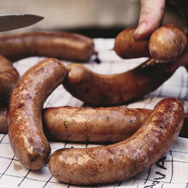 Sønderjyske ringridere