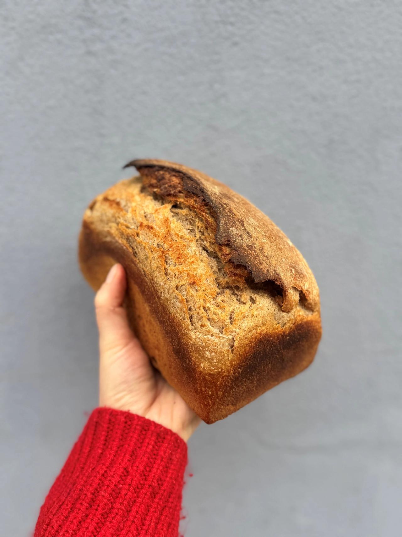 Rug-hvedebrød​​​​‌﻿‍﻿​‍​‍‌‍﻿﻿‌﻿​‍‌‍‍‌‌‍‌﻿‌‍‍‌‌‍﻿‍​‍​‍​﻿‍‍​‍​‍‌﻿​﻿‌‍​‌‌‍﻿‍‌‍‍‌‌﻿‌​‌﻿‍‌​‍﻿‍‌‍‍‌‌‍﻿﻿​‍​‍​‍﻿​​‍​‍‌‍‍​‌﻿​‍‌‍‌‌‌‍‌‍​‍​‍​﻿‍‍​‍​‍‌‍‍​‌﻿‌​‌﻿‌​‌﻿​​​﻿‍‍​‍﻿﻿​‍﻿﻿‌‍﻿​‌‍﻿﻿‌‍​﻿‌‍​‌‌‍﻿​‌‍‍​‌‍﻿﻿‌﻿​﻿‌﻿‌​​﻿‍‍​﻿​﻿​﻿​﻿​﻿​﻿​﻿​﻿​‍﻿﻿‌‍‍‌‌‍﻿‍‌﻿‌​‌‍‌‌‌‍﻿‍‌﻿‌​​‍﻿﻿‌‍‌‌‌‍‌​‌‍‍‌‌﻿‌​​‍﻿﻿‌‍﻿‌‌‍﻿﻿‌‍‌​‌‍‌‌​﻿﻿‌‌﻿​​‌﻿​‍‌‍‌‌‌﻿​﻿‌‍‌‌‌‍﻿‍‌﻿‌​‌‍​‌‌﻿‌​‌‍‍‌‌‍﻿﻿‌‍﻿‍​﻿‍﻿‌‍‍‌‌‍‌​​﻿﻿‌​﻿‌‍​﻿​‍‌‍​‌​﻿​﻿‌‍‌​‌‍‌‌‌‍​‌​﻿​​​‍﻿‌​﻿‍‌​﻿​​​﻿‌﻿‌‍‌​​‍﻿‌​﻿‌​​﻿‌‍‌‍‌‍​﻿​﻿​‍﻿‌‌‍​‌​﻿​​‌‍‌‌‌‍‌​​‍﻿‌​﻿‍‌​﻿‍​‌‍​‍​﻿‌﻿​﻿‌‍​﻿​‌​﻿‍‌‌‍​﻿​﻿‌​​﻿​​​﻿‍​​﻿‌‌​﻿‍﻿‌﻿‌​‌﻿‍‌‌﻿​​‌‍‌‌​﻿﻿‌‌‍​‌‌﻿​‍‌﻿‌​‌‍‍‌‌‍​﻿‌‍﻿​‌‍‌‌​﻿‍﻿‌﻿​​‌‍​‌‌﻿‌​‌‍‍​​﻿﻿‌‌﻿​​‌‍﻿﻿‌﻿​‍‌﻿‌​‌‍​‌‌‍​‍‌‍﻿​‌‍‌‌‌﻿‌​‌‍‌‌‌﻿‍​‌﻿‌​​‍‌‌​﻿‌‌‌​​‍‌‌﻿﻿‌‍‍﻿‌‍‌‌‌﻿‍‌​‍‌‌​﻿​﻿‌​‌​​‍‌‌​﻿​﻿‌​‌​​‍‌‌​﻿​‍​﻿​‍‌‍‌‌​﻿​‍​﻿​﻿​﻿‍‌‌‍‌​​﻿‍​​﻿‌﻿​﻿‌﻿​‍‌‌​﻿​‍​﻿​‍​‍‌‌​﻿‌‌‌​‌​​‍﻿‍‌﻿​﻿‌‍﻿​‌‍‍‌‌‍‌​‌‍‌‌‌﻿​﻿​‍‌‌​﻿‌‌‌​​‍‌‌﻿﻿‌‍‍﻿‌‍‌‌‌﻿‍‌​‍‌‌​﻿​﻿‌​‌​​‍‌‌​﻿​﻿‌​‌​​‍‌‌​﻿​‍​﻿​‍‌‍​‍‌‍‌​​﻿​‍‌‍​‌‌‍‌‍​﻿​‍‌‍​‌‌‍​‌​‍‌‌​﻿​‍​﻿​‍​‍‌‌​﻿‌‌‌​‌​​‍﻿‍‌‍‍‌‌‍﻿‌‌‍​‌‌‍‌﻿‌‍‌‌​‍﻿‍‌‍​‌‌‍﻿​‌﻿‌​​﻿﻿﻿‌‍​‍‌‍​‌‌﻿​﻿‌‍‌‌‌‌‌‌‌﻿​‍‌‍﻿​​﻿﻿‌‌‍‍​‌﻿‌​‌﻿‌​‌﻿​​​‍‌‌​﻿​﻿‌​​‌​‍‌‌​﻿​‍‌​‌‍​‍‌‌​﻿​‍‌​‌‍‌‍﻿​‌‍﻿﻿‌‍​﻿‌‍​‌‌‍﻿​‌‍‍​‌‍﻿﻿‌﻿​﻿‌﻿‌​​‍‌‌​﻿​﻿‌​​‌​﻿​﻿​﻿​﻿​﻿​﻿​﻿​﻿​‍‌‍‌‍‍‌‌‍‌​​﻿﻿‌​﻿‌‍​﻿​‍‌‍​‌​﻿​﻿‌‍‌​‌‍‌‌‌‍​‌​﻿​​​‍﻿‌​﻿‍‌​﻿​​​﻿‌﻿‌‍‌​​‍﻿‌​﻿‌​​﻿‌‍‌‍‌‍​﻿​﻿​‍﻿‌‌‍​‌​﻿​​‌‍‌‌‌‍‌​​‍﻿‌​﻿‍‌​﻿‍​‌‍​‍​﻿‌﻿​﻿‌‍​﻿​‌​﻿‍‌‌‍​﻿​﻿‌​​﻿​​​﻿‍​​﻿‌‌​‍‌‍‌﻿‌​‌﻿‍‌‌﻿​​‌‍‌‌​﻿﻿‌‌‍​‌‌﻿​‍‌﻿‌​‌‍‍‌‌‍​﻿‌‍﻿​‌‍‌‌​‍‌‍‌﻿​​‌‍​‌‌﻿‌​‌‍‍​​﻿﻿‌‌﻿​​‌‍﻿﻿‌﻿​‍‌﻿‌​‌‍​‌‌‍​‍‌‍﻿​‌‍‌‌‌﻿‌​‌‍‌‌‌﻿‍​‌﻿‌​​‍‌‌​﻿‌‌‌​​‍‌‌﻿﻿‌‍‍﻿‌‍‌‌‌﻿‍‌​‍‌‌​﻿​﻿‌​‌​​‍‌‌​﻿​﻿‌​‌​​‍‌‌​﻿​‍​﻿​‍‌‍‌‌​﻿​‍​﻿​﻿​﻿‍‌‌‍‌​​﻿‍​​﻿‌﻿​﻿‌﻿​‍‌‌​﻿​‍​﻿​‍​‍‌‌​﻿‌‌‌​‌​​‍﻿‍‌﻿​﻿‌‍﻿​‌‍‍‌‌‍‌​‌‍‌‌‌﻿​﻿​‍‌‌​﻿‌‌‌​​‍‌‌﻿﻿‌‍‍﻿‌‍‌‌‌﻿‍‌​‍‌‌​﻿​﻿‌​‌​​‍‌‌​﻿​﻿‌​‌​​‍‌‌​﻿​‍​﻿​‍‌‍​‍‌‍‌​​﻿​‍‌‍​‌‌‍‌‍​﻿​‍‌‍​‌‌‍​‌​‍‌‌​﻿​‍​﻿​‍​‍‌‌​﻿‌‌‌​‌​​‍﻿‍‌‍‍‌‌‍﻿‌‌‍​‌‌‍‌﻿‌‍‌‌​‍﻿‍‌‍​‌‌‍﻿​‌﻿‌​​‍‌‍‌﻿​​‌‍‌‌‌﻿​‍‌﻿​﻿‌﻿​​‌‍‌‌‌‍​﻿‌﻿‌​‌‍‍‌‌﻿‌‍‌‍‌‌​﻿﻿‌‌﻿​​‌﻿‌‌‌‍​‍‌‍﻿​‌‍‍‌‌﻿​﻿‌‍‍​‌‍‌‌‌‍‌​​‍​‍‌﻿﻿‌