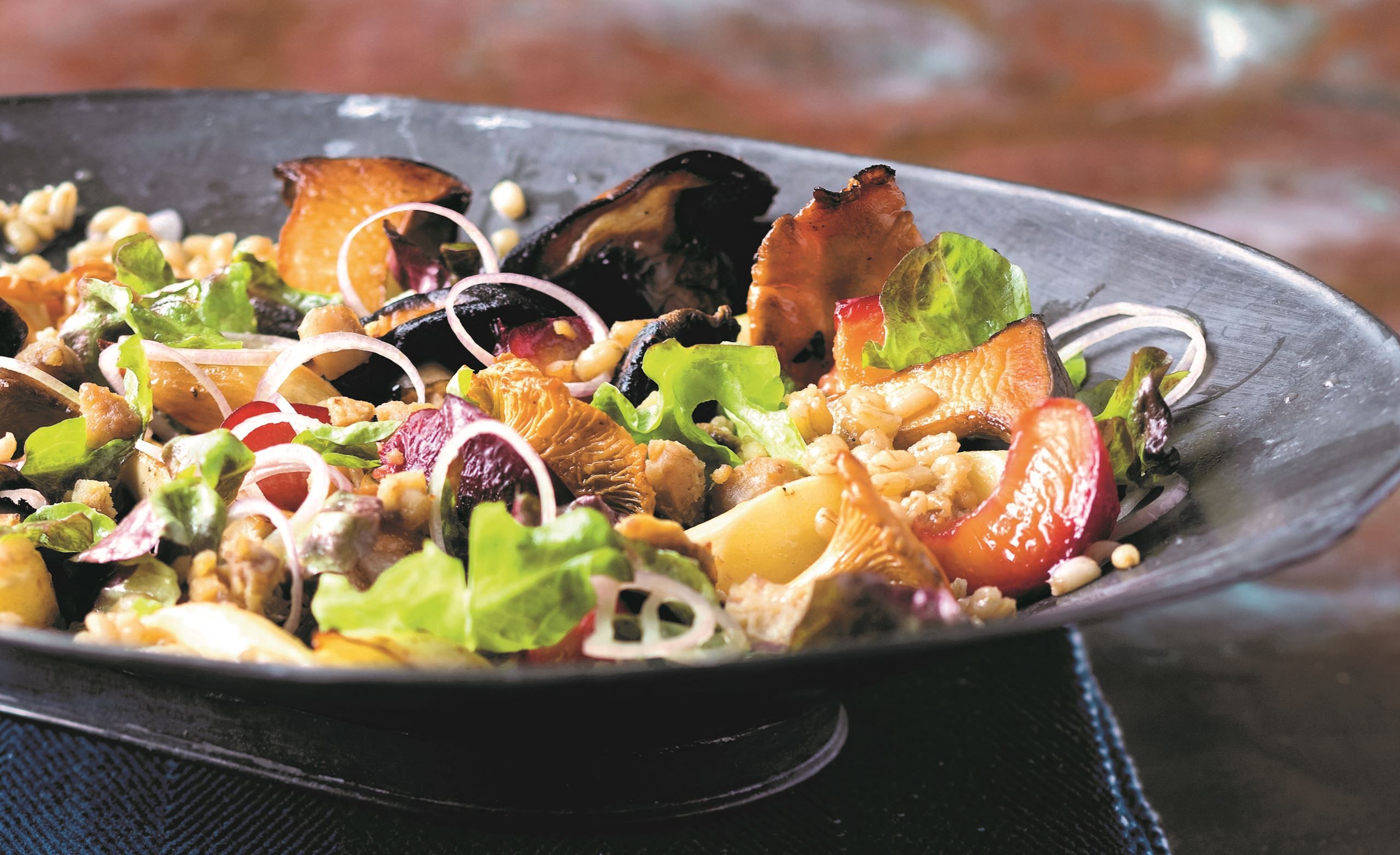 Efterårssalat med bagte blommer og kastanjer​​​​‌﻿‍﻿​‍​‍‌‍﻿﻿‌﻿​‍‌‍‍‌‌‍‌﻿‌‍‍‌‌‍﻿‍​‍​‍​﻿‍‍​‍​‍‌﻿​﻿‌‍​‌‌‍﻿‍‌‍‍‌‌﻿‌​‌﻿‍‌​‍﻿‍‌‍‍‌‌‍﻿﻿​‍​‍​‍﻿​​‍​‍‌‍‍​‌﻿​‍‌‍‌‌‌‍‌‍​‍​‍​﻿‍‍​‍​‍‌‍‍​‌﻿‌​‌﻿‌​‌﻿​​​﻿‍‍​‍﻿﻿​‍﻿﻿‌‍﻿​‌‍﻿﻿‌‍​﻿‌‍​‌‌‍﻿​‌‍‍​‌‍﻿﻿‌﻿​﻿‌﻿‌​​﻿‍‍​﻿​﻿​﻿​﻿​﻿​﻿​﻿​﻿​‍﻿﻿‌‍‍‌‌‍﻿‍‌﻿‌​‌‍‌‌‌‍﻿‍‌﻿‌​​‍﻿﻿‌‍‌‌‌‍‌​‌‍‍‌‌﻿‌​​‍﻿﻿‌‍﻿‌‌‍﻿﻿‌‍‌​‌‍‌‌​﻿﻿‌‌﻿​​‌﻿​‍‌‍‌‌‌﻿​﻿‌‍‌‌‌‍﻿‍‌﻿‌​‌‍​‌‌﻿‌​‌‍‍‌‌‍﻿﻿‌‍﻿‍​﻿‍﻿‌‍‍‌‌‍‌​​﻿﻿‌​﻿‍‌​﻿‌​‌‍‌‍‌‍‌​​﻿​‌​﻿​‍‌‍​﻿​﻿‍​​‍﻿‌​﻿‌‍​﻿​﻿​﻿‍​​﻿​﻿​‍﻿‌​﻿‌‌‌‍​‍‌‍​‍​﻿‍​​‍﻿‌​﻿‍​​﻿‌‍‌‍‌‍​﻿‍‌​‍﻿‌‌‍‌‍‌‍‌‍‌‍​‌‌‍​‍​﻿​​‌‍‌‍‌‍‌‍‌‍​﻿​﻿​﻿​﻿‌‌​﻿‍​​﻿‍​​﻿‍﻿‌﻿‌​‌﻿‍‌‌﻿​​‌‍‌‌​﻿﻿‌‌﻿​‍‌‍‌‌‌‍​﻿‌‍‍‌‌﻿​​‌‍‌‌​﻿‍﻿‌﻿​​‌‍​‌‌﻿‌​‌‍‍​​﻿﻿‌‌‍‍‌‌‍﻿‌‌‍​‌‌‍‌﻿‌‍‌‌​‍﻿‍‌‍​‌‌‍﻿​‌﻿‌​​﻿﻿﻿‌‍​‍‌‍​‌‌﻿​﻿‌‍‌‌‌‌‌‌‌﻿​‍‌‍﻿​​﻿﻿‌‌‍‍​‌﻿‌​‌﻿‌​‌﻿​​​‍‌‌​﻿​﻿‌​​‌​‍‌‌​﻿​‍‌​‌‍​‍‌‌​﻿​‍‌​‌‍‌‍﻿​‌‍﻿﻿‌‍​﻿‌‍​‌‌‍﻿​‌‍‍​‌‍﻿﻿‌﻿​﻿‌﻿‌​​‍‌‌​﻿​﻿‌​​‌​﻿​﻿​﻿​﻿​﻿​﻿​﻿​﻿​‍‌‍‌‍‍‌‌‍‌​​﻿﻿‌​﻿‍‌​﻿‌​‌‍‌‍‌‍‌​​﻿​‌​﻿​‍‌‍​﻿​﻿‍​​‍﻿‌​﻿‌‍​﻿​﻿​﻿‍​​﻿​﻿​‍﻿‌​﻿‌‌‌‍​‍‌‍​‍​﻿‍​​‍﻿‌​﻿‍​​﻿‌‍‌‍‌‍​﻿‍‌​‍﻿‌‌‍‌‍‌‍‌‍‌‍​‌‌‍​‍​﻿​​‌‍‌‍‌‍‌‍‌‍​﻿​﻿​﻿​﻿‌‌​﻿‍​​﻿‍​​‍‌‍‌﻿‌​‌﻿‍‌‌﻿​​‌‍‌‌​﻿﻿‌‌﻿​‍‌‍‌‌‌‍​﻿‌‍‍‌‌﻿​​‌‍‌‌​‍‌‍‌﻿​​‌‍​‌‌﻿‌​‌‍‍​​﻿﻿‌‌‍‍‌‌‍﻿‌‌‍​‌‌‍‌﻿‌‍‌‌​‍﻿‍‌‍​‌‌‍﻿​‌﻿‌​​‍‌‍‌﻿​​‌‍‌‌‌﻿​‍‌﻿​﻿‌﻿​​‌‍‌‌‌‍​﻿‌﻿‌​‌‍‍‌‌﻿‌‍‌‍‌‌​﻿﻿‌‌﻿​​‌﻿‌‌‌‍​‍‌‍﻿​‌‍‍‌‌﻿​﻿‌‍‍​‌‍‌‌‌‍‌​​‍​‍‌﻿﻿‌