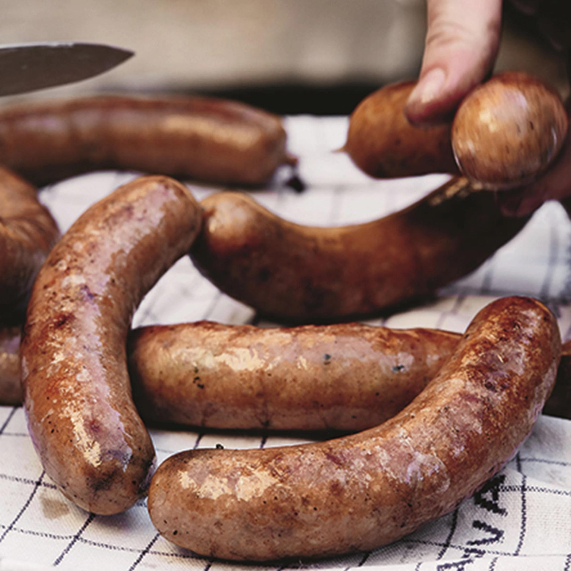 Sønderjyske ringridere