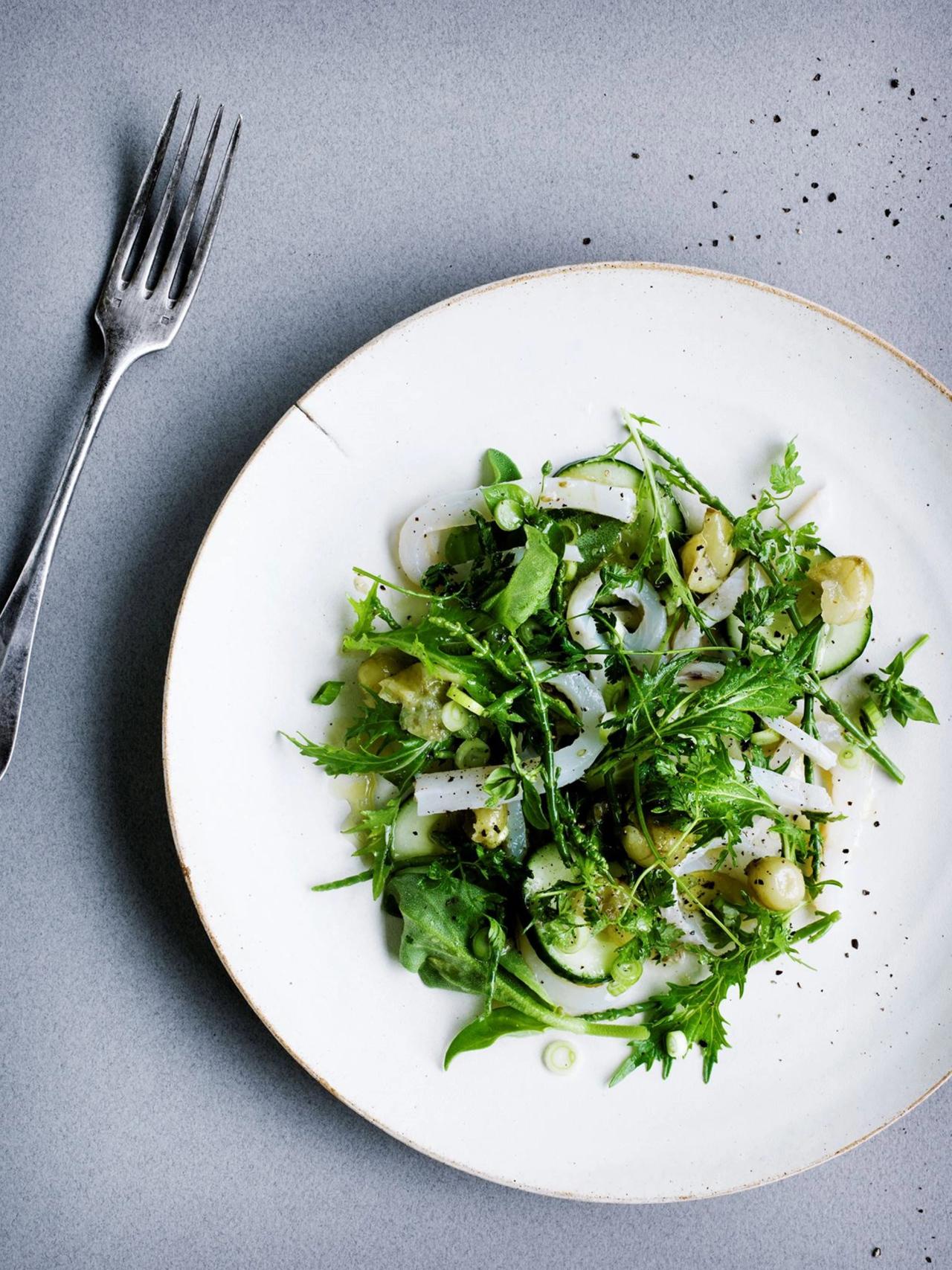 Råmarineret rødtunge med stikkelsbær, hyldeblomsteddike, salturt og agurk​​​​‌﻿‍﻿​‍​‍‌‍﻿﻿‌﻿​‍‌‍‍‌‌‍‌﻿‌‍‍‌‌‍﻿‍​‍​‍​﻿‍‍​‍​‍‌﻿​﻿‌‍​‌‌‍﻿‍‌‍‍‌‌﻿‌​‌﻿‍‌​‍﻿‍‌‍‍‌‌‍﻿﻿​‍​‍​‍﻿​​‍​‍‌‍‍​‌﻿​‍‌‍‌‌‌‍‌‍​‍​‍​﻿‍‍​‍​‍‌‍‍​‌﻿‌​‌﻿‌​‌﻿​​​﻿‍‍​‍﻿﻿​‍﻿﻿‌‍﻿​‌‍﻿﻿‌‍​﻿‌‍​‌‌‍﻿​‌‍‍​‌‍﻿﻿‌﻿​﻿‌﻿‌​​﻿‍‍​﻿​﻿​﻿​﻿​﻿​﻿​﻿​﻿​‍﻿﻿‌‍‍‌‌‍﻿‍‌﻿‌​‌‍‌‌‌‍﻿‍‌﻿‌​​‍﻿﻿‌‍‌‌‌‍‌​‌‍‍‌‌﻿‌​​‍﻿﻿‌‍﻿‌‌‍﻿﻿‌‍‌​‌‍‌‌​﻿﻿‌‌﻿​​‌﻿​‍‌‍‌‌‌﻿​﻿‌‍‌‌‌‍﻿‍‌﻿‌​‌‍​‌‌﻿‌​‌‍‍‌‌‍﻿﻿‌‍﻿‍​﻿‍﻿‌‍‍‌‌‍‌​​﻿﻿‌​﻿​‍‌‍​‍​﻿‍‌​﻿‌​‌‍​‍​﻿‍‌​﻿​‍​﻿​​​‍﻿‌​﻿​﻿​﻿‍‌​﻿‍‌​﻿‌‍​‍﻿‌​﻿‌​‌‍‌‌​﻿​‌‌‍‌​​‍﻿‌​﻿‍​​﻿‌​​﻿‌﻿​﻿‍‌​‍﻿‌​﻿‌​‌‍‌‍​﻿‌‍​﻿‌‍​﻿​‍​﻿‌​‌‍​‌​﻿​‌‌‍​﻿‌‍​﻿​﻿​‌‌‍‌​​﻿‍﻿‌﻿‌​‌﻿‍‌‌﻿​​‌‍‌‌​﻿﻿‌‌‍​‌‌﻿​‍‌﻿‌​‌‍‍‌‌‍​﻿‌‍﻿​‌‍‌‌​﻿‍﻿‌﻿​​‌‍​‌‌﻿‌​‌‍‍​​﻿﻿‌‌﻿​​‌‍﻿﻿‌﻿​‍‌﻿‌​‌‍​‌‌‍​‍‌‍﻿​‌‍‌‌‌﻿‌​‌‍‌‌‌﻿‍​‌﻿‌​​‍‌‌​﻿‌‌‌​​‍‌‌﻿﻿‌‍‍﻿‌‍‌‌‌﻿‍‌​‍‌‌​﻿​﻿‌​‌​​‍‌‌​﻿​﻿‌​‌​​‍‌‌​﻿​‍​﻿​‍​﻿​‍​﻿​​‌‍​‌​﻿‍​‌‍​﻿​﻿​​​﻿‌﻿‌‍​‌​‍‌‌​﻿​‍​﻿​‍​‍‌‌​﻿‌‌‌​‌​​‍﻿‍‌﻿​﻿‌‍﻿​‌‍‍‌‌‍‌​‌‍‌‌‌﻿​﻿​‍‌‌​﻿‌‌‌​​‍‌‌﻿﻿‌‍‍﻿‌‍‌‌‌﻿‍‌​‍‌‌​﻿​﻿‌​‌​​‍‌‌​﻿​﻿‌​‌​​‍‌‌​﻿​‍​﻿​‍​﻿​﻿​﻿​​‌‍‌‍​﻿‍‌‌‍​﻿​﻿​​‌‍​﻿‌‍​﻿​‍‌‌​﻿​‍​﻿​‍​‍‌‌​﻿‌‌‌​‌​​‍﻿‍‌‍‍‌‌‍﻿‌‌‍​‌‌‍‌﻿‌‍‌‌​‍﻿‍‌‍​‌‌‍﻿​‌﻿‌​​﻿﻿﻿‌‍​‍‌‍​‌‌﻿​﻿‌‍‌‌‌‌‌‌‌﻿​‍‌‍﻿​​﻿﻿‌‌‍‍​‌﻿‌​‌﻿‌​‌﻿​​​‍‌‌​﻿​﻿‌​​‌​‍‌‌​﻿​‍‌​‌‍​‍‌‌​﻿​‍‌​‌‍‌‍﻿​‌‍﻿﻿‌‍​﻿‌‍​‌‌‍﻿​‌‍‍​‌‍﻿﻿‌﻿​﻿‌﻿‌​​‍‌‌​﻿​﻿‌​​‌​﻿​﻿​﻿​﻿​﻿​﻿​﻿​﻿​‍‌‍‌‍‍‌‌‍‌​​﻿﻿‌​﻿​‍‌‍​‍​﻿‍‌​﻿‌​‌‍​‍​﻿‍‌​﻿​‍​﻿​​​‍﻿‌​﻿​﻿​﻿‍‌​﻿‍‌​﻿‌‍​‍﻿‌​﻿‌​‌‍‌‌​﻿​‌‌‍‌​​‍﻿‌​﻿‍​​﻿‌​​﻿‌﻿​﻿‍‌​‍﻿‌​﻿‌​‌‍‌‍​﻿‌‍​﻿‌‍​﻿​‍​﻿‌​‌‍​‌​﻿​‌‌‍​﻿‌‍​﻿​﻿​‌‌‍‌​​‍‌‍‌﻿‌​‌﻿‍‌‌﻿​​‌‍‌‌​﻿﻿‌‌‍​‌‌﻿​‍‌﻿‌​‌‍‍‌‌‍​﻿‌‍﻿​‌‍‌‌​‍‌‍‌﻿​​‌‍​‌‌﻿‌​‌‍‍​​﻿﻿‌‌﻿​​‌‍﻿﻿‌﻿​‍‌﻿‌​‌‍​‌‌‍​‍‌‍﻿​‌‍‌‌‌﻿‌​‌‍‌‌‌﻿‍​‌﻿‌​​‍‌‌​﻿‌‌‌​​‍‌‌﻿﻿‌‍‍﻿‌‍‌‌‌﻿‍‌​‍‌‌​﻿​﻿‌​‌​​‍‌‌​﻿​﻿‌​‌​​‍‌‌​﻿​‍​﻿​‍​﻿​‍​﻿​​‌‍​‌​﻿‍​‌‍​﻿​﻿​​​﻿‌﻿‌‍​‌​‍‌‌​﻿​‍​﻿​‍​‍‌‌​﻿‌‌‌​‌​​‍﻿‍‌﻿​﻿‌‍﻿​‌‍‍‌‌‍‌​‌‍‌‌‌﻿​﻿​‍‌‌​﻿‌‌‌​​‍‌‌﻿﻿‌‍‍﻿‌‍‌‌‌﻿‍‌​‍‌‌​﻿​﻿‌​‌​​‍‌‌​﻿​﻿‌​‌​​‍‌‌​﻿​‍​﻿​‍​﻿​﻿​﻿​​‌‍‌‍​﻿‍‌‌‍​﻿​﻿​​‌‍​﻿‌‍​﻿​‍‌‌​﻿​‍​﻿​‍​‍‌‌​﻿‌‌‌​‌​​‍﻿‍‌‍‍‌‌‍﻿‌‌‍​‌‌‍‌﻿‌‍‌‌​‍﻿‍‌‍​‌‌‍﻿​‌﻿‌​​‍‌‍‌﻿​​‌‍‌‌‌﻿​‍‌﻿​﻿‌﻿​​‌‍‌‌‌‍​﻿‌﻿‌​‌‍‍‌‌﻿‌‍‌‍‌‌​﻿﻿‌‌﻿​​‌﻿‌‌‌‍​‍‌‍﻿​‌‍‍‌‌﻿​﻿‌‍‍​‌‍‌‌‌‍‌​​‍​‍‌﻿﻿‌