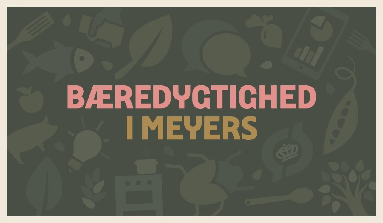 Overblik: sådan arbejder vi med bæredygtighed i Meyers