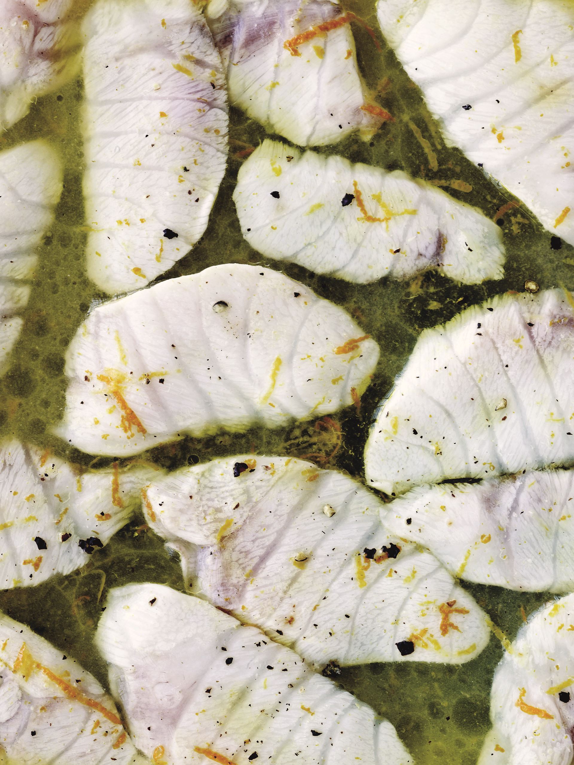 Citrussyltet stenbider​​​​‌﻿‍﻿​‍​‍‌‍﻿﻿‌﻿​‍‌‍‍‌‌‍‌﻿‌‍‍‌‌‍﻿‍​‍​‍​﻿‍‍​‍​‍‌﻿​﻿‌‍​‌‌‍﻿‍‌‍‍‌‌﻿‌​‌﻿‍‌​‍﻿‍‌‍‍‌‌‍﻿﻿​‍​‍​‍﻿​​‍​‍‌‍‍​‌﻿​‍‌‍‌‌‌‍‌‍​‍​‍​﻿‍‍​‍​‍‌‍‍​‌﻿‌​‌﻿‌​‌﻿​​​﻿‍‍​‍﻿﻿​‍﻿﻿‌‍﻿​‌‍﻿﻿‌‍​﻿‌‍​‌‌‍﻿​‌‍‍​‌‍﻿﻿‌﻿​﻿‌﻿‌​​﻿‍‍​﻿​﻿​﻿​﻿​﻿​﻿​﻿​﻿​‍﻿﻿‌‍‍‌‌‍﻿‍‌﻿‌​‌‍‌‌‌‍﻿‍‌﻿‌​​‍﻿﻿‌‍‌‌‌‍‌​‌‍‍‌‌﻿‌​​‍﻿﻿‌‍﻿‌‌‍﻿﻿‌‍‌​‌‍‌‌​﻿﻿‌‌﻿​​‌﻿​‍‌‍‌‌‌﻿​﻿‌‍‌‌‌‍﻿‍‌﻿‌​‌‍​‌‌﻿‌​‌‍‍‌‌‍﻿﻿‌‍﻿‍​﻿‍﻿‌‍‍‌‌‍‌​​﻿﻿‌‌‍​‍​﻿‍‌​﻿​﻿​﻿‌​​﻿‌﻿‌‍‌‍​﻿‌‌​﻿‌‍​‍﻿‌‌‍​﻿​﻿​​​﻿‌​​﻿​​​‍﻿‌​﻿‌‌​﻿‌‍​﻿‌‌​﻿​‍​‍﻿‌​﻿‍‌​﻿​﻿​﻿​‌​﻿‍​​‍﻿‌‌‍​‍​﻿​​‌‍​‌‌‍‌‌​﻿‌﻿​﻿​‌​﻿​​​﻿​‌‌‍​‌​﻿‍‌‌‍​‌‌‍​﻿​﻿‍﻿‌﻿‌​‌﻿‍‌‌﻿​​‌‍‌‌​﻿﻿‌‌﻿​‍‌‍‌‌‌‍​﻿‌‍‍‌‌﻿​​‌‍‌‌​﻿‍﻿‌﻿​​‌‍​‌‌﻿‌​‌‍‍​​﻿﻿‌‌‍‍‌‌‍﻿‌‌‍​‌‌‍‌﻿‌‍‌‌​‍﻿‍‌‍​‌‌‍﻿​‌﻿‌​​﻿﻿﻿‌‍​‍‌‍​‌‌﻿​﻿‌‍‌‌‌‌‌‌‌﻿​‍‌‍﻿​​﻿﻿‌‌‍‍​‌﻿‌​‌﻿‌​‌﻿​​​‍‌‌​﻿​﻿‌​​‌​‍‌‌​﻿​‍‌​‌‍​‍‌‌​﻿​‍‌​‌‍‌‍﻿​‌‍﻿﻿‌‍​﻿‌‍​‌‌‍﻿​‌‍‍​‌‍﻿﻿‌﻿​﻿‌﻿‌​​‍‌‌​﻿​﻿‌​​‌​﻿​﻿​﻿​﻿​﻿​﻿​﻿​﻿​‍‌‍‌‍‍‌‌‍‌​​﻿﻿‌‌‍​‍​﻿‍‌​﻿​﻿​﻿‌​​﻿‌﻿‌‍‌‍​﻿‌‌​﻿‌‍​‍﻿‌‌‍​﻿​﻿​​​﻿‌​​﻿​​​‍﻿‌​﻿‌‌​﻿‌‍​﻿‌‌​﻿​‍​‍﻿‌​﻿‍‌​﻿​﻿​﻿​‌​﻿‍​​‍﻿‌‌‍​‍​﻿​​‌‍​‌‌‍‌‌​﻿‌﻿​﻿​‌​﻿​​​﻿​‌‌‍​‌​﻿‍‌‌‍​‌‌‍​﻿​‍‌‍‌﻿‌​‌﻿‍‌‌﻿​​‌‍‌‌​﻿﻿‌‌﻿​‍‌‍‌‌‌‍​﻿‌‍‍‌‌﻿​​‌‍‌‌​‍‌‍‌﻿​​‌‍​‌‌﻿‌​‌‍‍​​﻿﻿‌‌‍‍‌‌‍﻿‌‌‍​‌‌‍‌﻿‌‍‌‌​‍﻿‍‌‍​‌‌‍﻿​‌﻿‌​​‍‌‍‌﻿​​‌‍‌‌‌﻿​‍‌﻿​﻿‌﻿​​‌‍‌‌‌‍​﻿‌﻿‌​‌‍‍‌‌﻿‌‍‌‍‌‌​﻿﻿‌‌﻿​​‌﻿‌‌‌‍​‍‌‍﻿​‌‍‍‌‌﻿​﻿‌‍‍​‌‍‌‌‌‍‌​​‍​‍‌﻿﻿‌