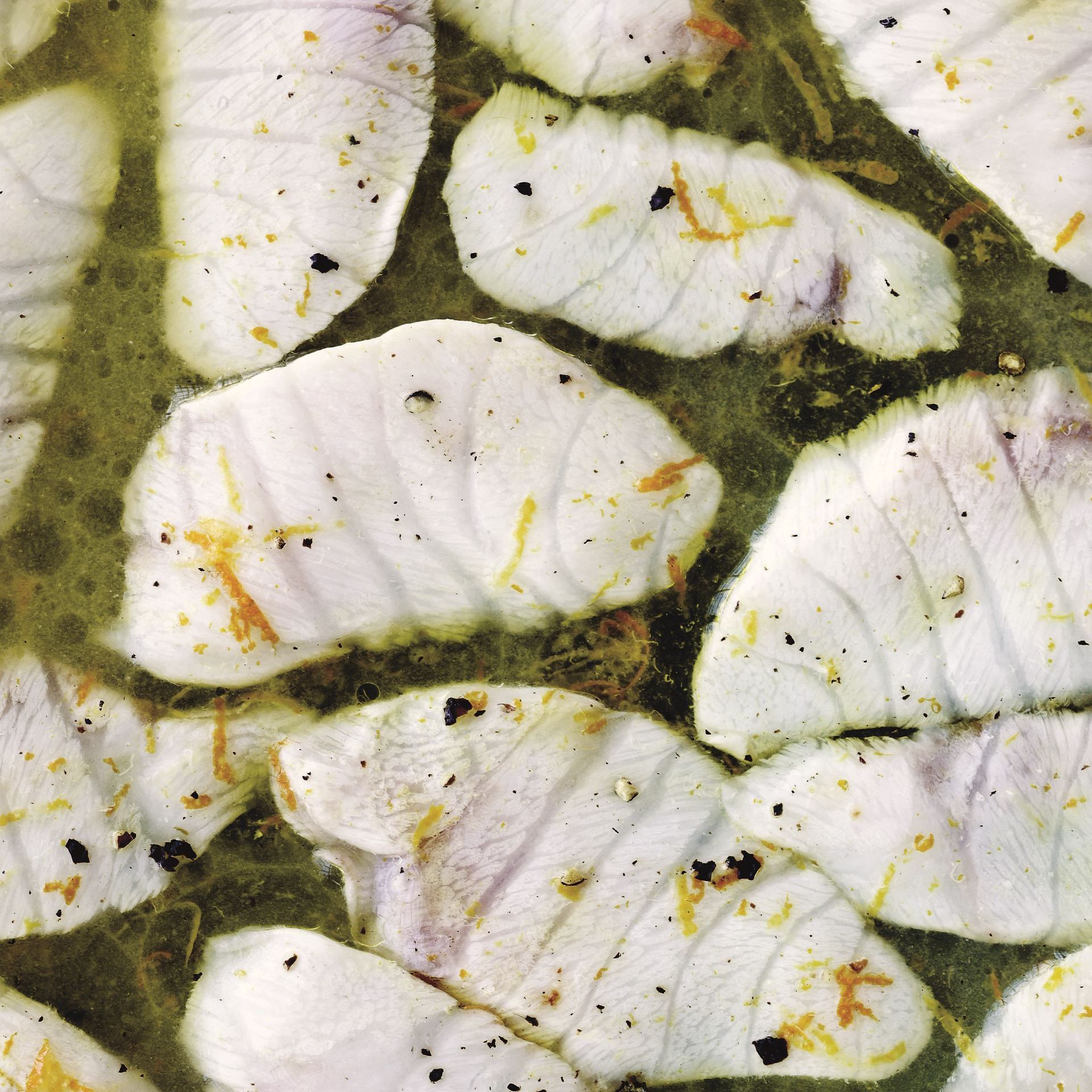 Citrussyltet stenbider