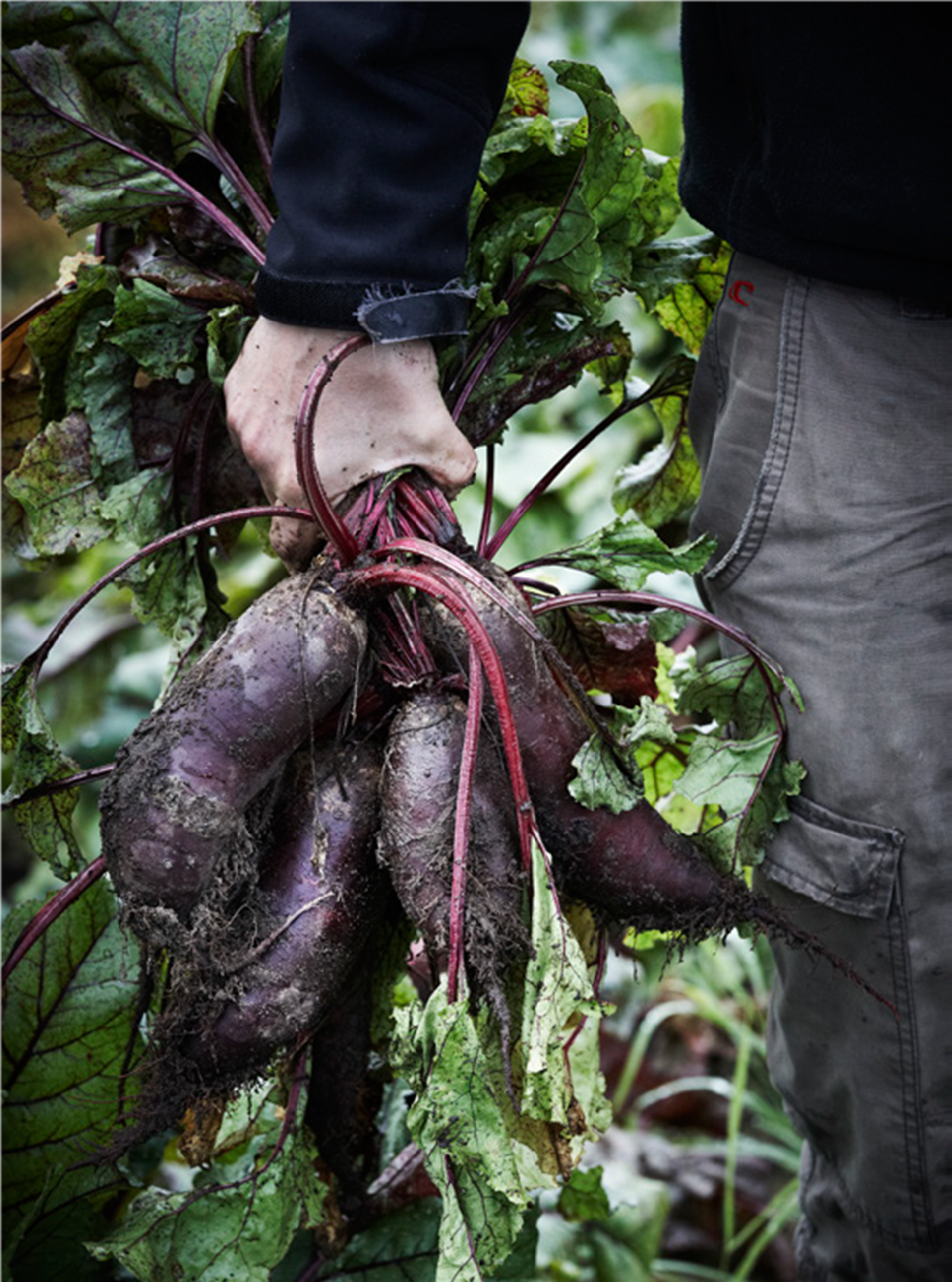 Beet jerkey​​​​‌﻿‍﻿​‍​‍‌‍﻿﻿‌﻿​‍‌‍‍‌‌‍‌﻿‌‍‍‌‌‍﻿‍​‍​‍​﻿‍‍​‍​‍‌﻿​﻿‌‍​‌‌‍﻿‍‌‍‍‌‌﻿‌​‌﻿‍‌​‍﻿‍‌‍‍‌‌‍﻿﻿​‍​‍​‍﻿​​‍​‍‌‍‍​‌﻿​‍‌‍‌‌‌‍‌‍​‍​‍​﻿‍‍​‍​‍‌‍‍​‌﻿‌​‌﻿‌​‌﻿​​​﻿‍‍​‍﻿﻿​‍﻿﻿‌‍﻿​‌‍﻿﻿‌‍​﻿‌‍​‌‌‍﻿​‌‍‍​‌‍﻿﻿‌﻿​﻿‌﻿‌​​﻿‍‍​﻿​﻿​﻿​﻿​﻿​﻿​﻿​﻿​‍﻿﻿‌‍‍‌‌‍﻿‍‌﻿‌​‌‍‌‌‌‍﻿‍‌﻿‌​​‍﻿﻿‌‍‌‌‌‍‌​‌‍‍‌‌﻿‌​​‍﻿﻿‌‍﻿‌‌‍﻿﻿‌‍‌​‌‍‌‌​﻿﻿‌‌﻿​​‌﻿​‍‌‍‌‌‌﻿​﻿‌‍‌‌‌‍﻿‍‌﻿‌​‌‍​‌‌﻿‌​‌‍‍‌‌‍﻿﻿‌‍﻿‍​﻿‍﻿‌‍‍‌‌‍‌​​﻿﻿‌​﻿‌‌‌‍‌‍​﻿‌‍‌‍​‌​﻿​‍​﻿​​‌‍‌​‌‍​﻿​‍﻿‌‌‍​‍​﻿‌​‌‍​‌​﻿‌‍​‍﻿‌​﻿‌‌‌‍​‍‌‍‌​‌‍‌‌​‍﻿‌‌‍​‌​﻿‍‌‌‍​‍​﻿‌‍​‍﻿‌‌‍​‍‌‍​‌​﻿​​​﻿‍​‌‍‌​‌‍‌‍‌‍‌‍​﻿​​‌‍‌‍​﻿‌​​﻿‍​‌‍‌‍​﻿‍﻿‌﻿‌​‌﻿‍‌‌﻿​​‌‍‌‌​﻿﻿‌‌﻿​‍‌‍‌‌‌‍​﻿‌‍‍‌‌﻿​​‌‍‌‌​﻿‍﻿‌﻿​​‌‍​‌‌﻿‌​‌‍‍​​﻿﻿‌‌‍‍‌‌‍﻿‌‌‍​‌‌‍‌﻿‌‍‌‌​‍﻿‍‌‍​‌‌‍﻿​‌﻿‌​​﻿﻿﻿‌‍​‍‌‍​‌‌﻿​﻿‌‍‌‌‌‌‌‌‌﻿​‍‌‍﻿​​﻿﻿‌‌‍‍​‌﻿‌​‌﻿‌​‌﻿​​​‍‌‌​﻿​﻿‌​​‌​‍‌‌​﻿​‍‌​‌‍​‍‌‌​﻿​‍‌​‌‍‌‍﻿​‌‍﻿﻿‌‍​﻿‌‍​‌‌‍﻿​‌‍‍​‌‍﻿﻿‌﻿​﻿‌﻿‌​​‍‌‌​﻿​﻿‌​​‌​﻿​﻿​﻿​﻿​﻿​﻿​﻿​﻿​‍‌‍‌‍‍‌‌‍‌​​﻿﻿‌​﻿‌‌‌‍‌‍​﻿‌‍‌‍​‌​﻿​‍​﻿​​‌‍‌​‌‍​﻿​‍﻿‌‌‍​‍​﻿‌​‌‍​‌​﻿‌‍​‍﻿‌​﻿‌‌‌‍​‍‌‍‌​‌‍‌‌​‍﻿‌‌‍​‌​﻿‍‌‌‍​‍​﻿‌‍​‍﻿‌‌‍​‍‌‍​‌​﻿​​​﻿‍​‌‍‌​‌‍‌‍‌‍‌‍​﻿​​‌‍‌‍​﻿‌​​﻿‍​‌‍‌‍​‍‌‍‌﻿‌​‌﻿‍‌‌﻿​​‌‍‌‌​﻿﻿‌‌﻿​‍‌‍‌‌‌‍​﻿‌‍‍‌‌﻿​​‌‍‌‌​‍‌‍‌﻿​​‌‍​‌‌﻿‌​‌‍‍​​﻿﻿‌‌‍‍‌‌‍﻿‌‌‍​‌‌‍‌﻿‌‍‌‌​‍﻿‍‌‍​‌‌‍﻿​‌﻿‌​​‍‌‍‌﻿​​‌‍‌‌‌﻿​‍‌﻿​﻿‌﻿​​‌‍‌‌‌‍​﻿‌﻿‌​‌‍‍‌‌﻿‌‍‌‍‌‌​﻿﻿‌‌﻿​​‌﻿‌‌‌‍​‍‌‍﻿​‌‍‍‌‌﻿​﻿‌‍‍​‌‍‌‌‌‍‌​​‍​‍‌﻿﻿‌