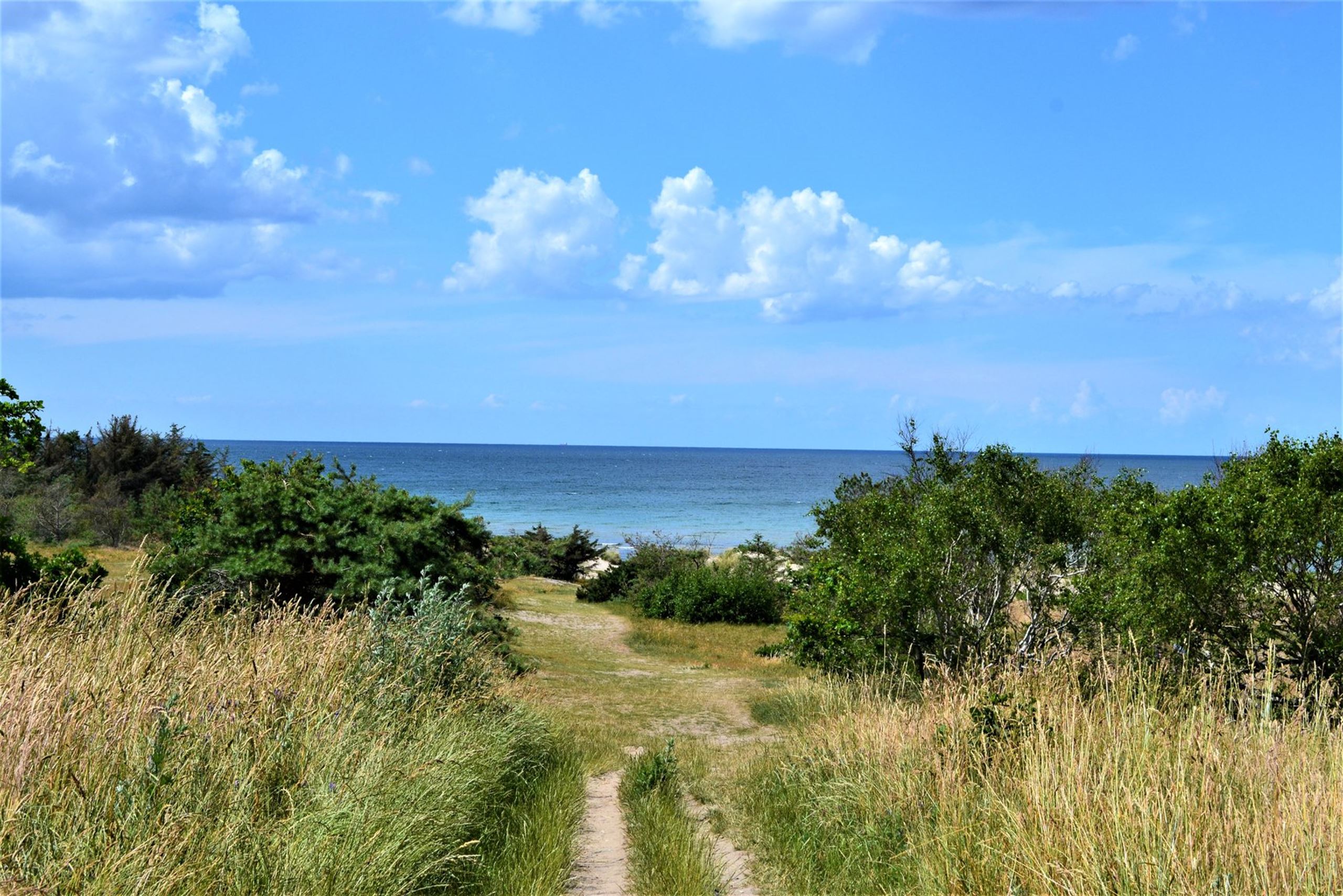 Et tilbageblik på året, der gik​​​​‌﻿‍﻿​‍​‍‌‍﻿﻿‌﻿​‍‌‍‍‌‌‍‌﻿‌‍‍‌‌‍﻿‍​‍​‍​﻿‍‍​‍​‍‌﻿​﻿‌‍​‌‌‍﻿‍‌‍‍‌‌﻿‌​‌﻿‍‌​‍﻿‍‌‍‍‌‌‍﻿﻿​‍​‍​‍﻿​​‍​‍‌‍‍​‌﻿​‍‌‍‌‌‌‍‌‍​‍​‍​﻿‍‍​‍​‍‌‍‍​‌﻿‌​‌﻿‌​‌﻿​​​﻿‍‍​‍﻿﻿​‍﻿﻿‌‍﻿​‌‍﻿﻿‌‍​﻿‌‍​‌‌‍﻿​‌‍‍​‌‍﻿﻿‌﻿​﻿‌﻿‌​​﻿‍‍​﻿​﻿​﻿​﻿​﻿​﻿​﻿​﻿​‍﻿﻿‌‍‍‌‌‍﻿‍‌﻿‌​‌‍‌‌‌‍﻿‍‌﻿‌​​‍﻿﻿‌‍‌‌‌‍‌​‌‍‍‌‌﻿‌​​‍﻿﻿‌‍﻿‌‌‍﻿﻿‌‍‌​‌‍‌‌​﻿﻿‌‌﻿​​‌﻿​‍‌‍‌‌‌﻿​﻿‌‍‌‌‌‍﻿‍‌﻿‌​‌‍​‌‌﻿‌​‌‍‍‌‌‍﻿﻿‌‍﻿‍​﻿‍﻿‌‍‍‌‌‍‌​​﻿﻿‌‌‍‌‍​﻿‌​​﻿‍‌‌‍​﻿​﻿​‍‌‍​‌​﻿‍‌​﻿‌​​‍﻿‌​﻿‌‍​﻿‍‌​﻿‍​​﻿​﻿​‍﻿‌​﻿‌​‌‍​‌​﻿‌​‌‍‌‍​‍﻿‌‌‍​‌​﻿‌﻿‌‍‌‍‌‍‌‍​‍﻿‌​﻿‍‌​﻿‍​​﻿‍​​﻿​​​﻿‍‌​﻿​﻿‌‍‌‍​﻿​‍​﻿‌﻿​﻿‌​​﻿‌﻿‌‍​‍​﻿‍﻿‌﻿‌​‌﻿‍‌‌﻿​​‌‍‌‌​﻿﻿‌‌‍​‌‌﻿​‍‌﻿‌​‌‍‍‌‌‍​﻿‌‍﻿​‌‍‌‌​﻿‍﻿‌﻿​​‌‍​‌‌﻿‌​‌‍‍​​﻿﻿‌‌‍‍‌‌‍﻿‌‌‍​‌‌‍‌﻿‌‍‌‌​‍﻿‍‌‍​‌‌‍﻿​‌﻿‌​​﻿﻿﻿‌‍​‍‌‍​‌‌﻿​﻿‌‍‌‌‌‌‌‌‌﻿​‍‌‍﻿​​﻿﻿‌‌‍‍​‌﻿‌​‌﻿‌​‌﻿​​​‍‌‌​﻿​﻿‌​​‌​‍‌‌​﻿​‍‌​‌‍​‍‌‌​﻿​‍‌​‌‍‌‍﻿​‌‍﻿﻿‌‍​﻿‌‍​‌‌‍﻿​‌‍‍​‌‍﻿﻿‌﻿​﻿‌﻿‌​​‍‌‌​﻿​﻿‌​​‌​﻿​﻿​﻿​﻿​﻿​﻿​﻿​﻿​‍‌‍‌‍‍‌‌‍‌​​﻿﻿‌‌‍‌‍​﻿‌​​﻿‍‌‌‍​﻿​﻿​‍‌‍​‌​﻿‍‌​﻿‌​​‍﻿‌​﻿‌‍​﻿‍‌​﻿‍​​﻿​﻿​‍﻿‌​﻿‌​‌‍​‌​﻿‌​‌‍‌‍​‍﻿‌‌‍​‌​﻿‌﻿‌‍‌‍‌‍‌‍​‍﻿‌​﻿‍‌​﻿‍​​﻿‍​​﻿​​​﻿‍‌​﻿​﻿‌‍‌‍​﻿​‍​﻿‌﻿​﻿‌​​﻿‌﻿‌‍​‍​‍‌‍‌﻿‌​‌﻿‍‌‌﻿​​‌‍‌‌​﻿﻿‌‌‍​‌‌﻿​‍‌﻿‌​‌‍‍‌‌‍​﻿‌‍﻿​‌‍‌‌​‍‌‍‌﻿​​‌‍​‌‌﻿‌​‌‍‍​​﻿﻿‌‌‍‍‌‌‍﻿‌‌‍​‌‌‍‌﻿‌‍‌‌​‍﻿‍‌‍​‌‌‍﻿​‌﻿‌​​‍‌‍‌﻿​​‌‍‌‌‌﻿​‍‌﻿​﻿‌﻿​​‌‍‌‌‌‍​﻿‌﻿‌​‌‍‍‌‌﻿‌‍‌‍‌‌​﻿﻿‌‌﻿​​‌﻿‌‌‌‍​‍‌‍﻿​‌‍‍‌‌﻿​﻿‌‍‍​‌‍‌‌‌‍‌​​‍​‍‌﻿﻿‌