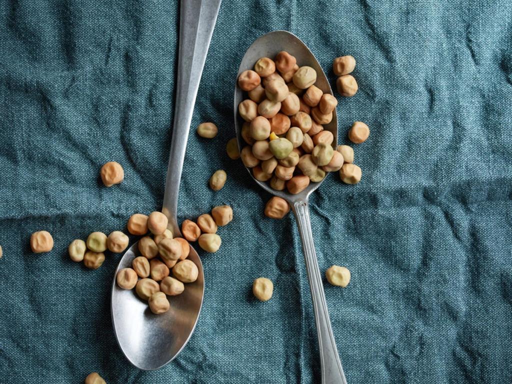 VIND ET BÆLGFRUGTBATTERI