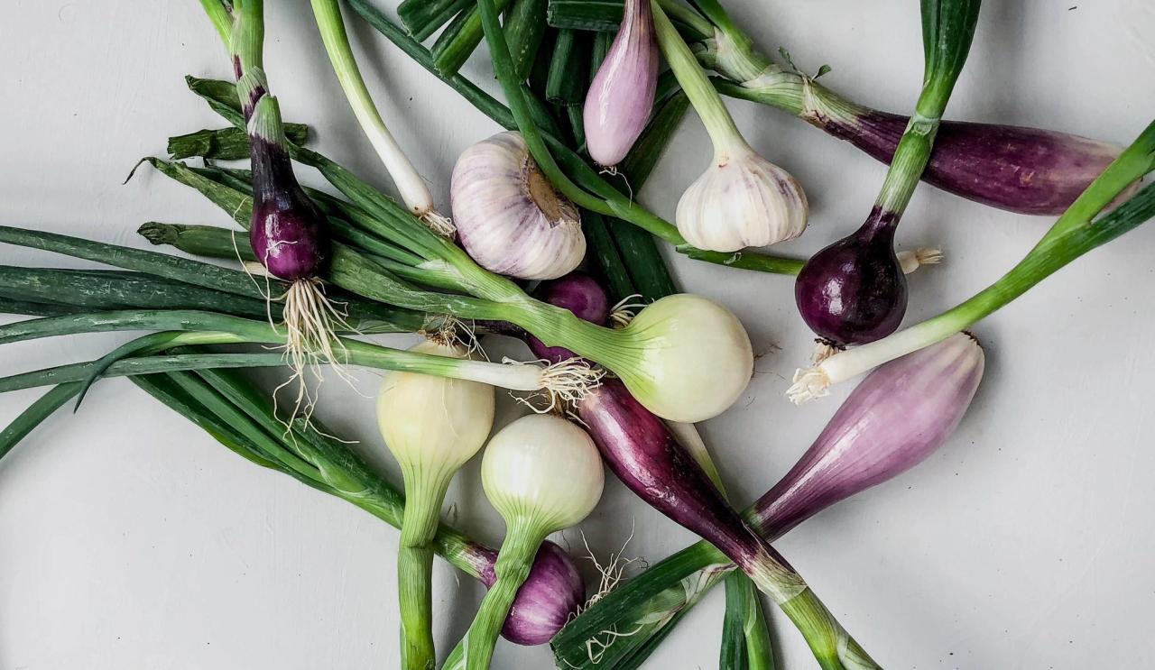 Løg​​​​‌﻿‍﻿​‍​‍‌‍﻿﻿‌﻿​‍‌‍‍‌‌‍‌﻿‌‍‍‌‌‍﻿‍​‍​‍​﻿‍‍​‍​‍‌﻿​﻿‌‍​‌‌‍﻿‍‌‍‍‌‌﻿‌​‌﻿‍‌​‍﻿‍‌‍‍‌‌‍﻿﻿​‍​‍​‍﻿​​‍​‍‌‍‍​‌﻿​‍‌‍‌‌‌‍‌‍​‍​‍​﻿‍‍​‍​‍‌‍‍​‌﻿‌​‌﻿‌​‌﻿​​​﻿‍‍​‍﻿﻿​‍﻿﻿‌‍﻿​‌‍﻿﻿‌‍​﻿‌‍​‌‌‍﻿​‌‍‍​‌‍﻿﻿‌﻿​﻿‌﻿‌​​﻿‍‍​﻿​﻿​﻿​﻿​﻿​﻿​﻿​﻿​‍﻿﻿‌‍‍‌‌‍﻿‍‌﻿‌​‌‍‌‌‌‍﻿‍‌﻿‌​​‍﻿﻿‌‍‌‌‌‍‌​‌‍‍‌‌﻿‌​​‍﻿﻿‌‍﻿‌‌‍﻿﻿‌‍‌​‌‍‌‌​﻿﻿‌‌﻿​​‌﻿​‍‌‍‌‌‌﻿​﻿‌‍‌‌‌‍﻿‍‌﻿‌​‌‍​‌‌﻿‌​‌‍‍‌‌‍﻿﻿‌‍﻿‍​﻿‍﻿‌‍‍‌‌‍‌​​﻿﻿‌​﻿‍​​﻿​﻿​﻿‌‌​﻿​‍​﻿​‍​﻿​﻿​﻿​‍‌‍​﻿​‍﻿‌‌‍​﻿​﻿‍​​﻿​​​﻿‍​​‍﻿‌​﻿‌​​﻿‌‍​﻿​﻿​﻿‍‌​‍﻿‌‌‍​‍​﻿‍​‌‍‌​​﻿​‌​‍﻿‌‌‍​‌‌‍​‌​﻿‌‌​﻿‌​‌‍‌‍​﻿​​​﻿‌​​﻿‌‍‌‍​‍​﻿‍‌​﻿​​‌‍‌‍​﻿‍﻿‌﻿‌​‌﻿‍‌‌﻿​​‌‍‌‌​﻿﻿‌‌‍​‌‌﻿​‍‌﻿‌​‌‍‍‌‌‍​﻿‌‍﻿​‌‍‌‌​﻿‍﻿‌﻿​​‌‍​‌‌﻿‌​‌‍‍​​﻿﻿‌‌﻿​​‌‍﻿﻿‌﻿​‍‌﻿‌​‌‍​‌‌‍​‍‌‍﻿​‌‍‌‌‌﻿‌​‌‍‌‌‌﻿‍​‌﻿‌​​‍‌‌​﻿‌‌‌​​‍‌‌﻿﻿‌‍‍﻿‌‍‌‌‌﻿‍‌​‍‌‌​﻿​﻿‌​‌​​‍‌‌​﻿​﻿‌​‌​​‍‌‌​﻿​‍​﻿​‍‌‍​‌‌‍​﻿​﻿​​‌‍‌‍​﻿‌​​﻿‍​‌‍‌​​﻿​‌​‍‌‌​﻿​‍​﻿​‍​‍‌‌​﻿‌‌‌​‌​​‍﻿‍‌﻿​﻿‌‍﻿​‌‍‍‌‌‍‌​‌‍‌‌‌﻿​﻿​‍‌‌​﻿‌‌‌​​‍‌‌﻿﻿‌‍‍﻿‌‍‌‌‌﻿‍‌​‍‌‌​﻿​﻿‌​‌​​‍‌‌​﻿​﻿‌​‌​​‍‌‌​﻿​‍​﻿​‍​﻿​‌​﻿​‌​﻿​‌‌‍‌‍‌‍‌‌​﻿​‌​﻿‍‌​﻿​‌​‍‌‌​﻿​‍​﻿​‍​‍‌‌​﻿‌‌‌​‌​​‍﻿‍‌‍‍‌‌‍﻿‌‌‍​‌‌‍‌﻿‌‍‌‌​‍﻿‍‌‍​‌‌‍﻿​‌﻿‌​​﻿﻿﻿‌‍​‍‌‍​‌‌﻿​﻿‌‍‌‌‌‌‌‌‌﻿​‍‌‍﻿​​﻿﻿‌‌‍‍​‌﻿‌​‌﻿‌​‌﻿​​​‍‌‌​﻿​﻿‌​​‌​‍‌‌​﻿​‍‌​‌‍​‍‌‌​﻿​‍‌​‌‍‌‍﻿​‌‍﻿﻿‌‍​﻿‌‍​‌‌‍﻿​‌‍‍​‌‍﻿﻿‌﻿​﻿‌﻿‌​​‍‌‌​﻿​﻿‌​​‌​﻿​﻿​﻿​﻿​﻿​﻿​﻿​﻿​‍‌‍‌‍‍‌‌‍‌​​﻿﻿‌​﻿‍​​﻿​﻿​﻿‌‌​﻿​‍​﻿​‍​﻿​﻿​﻿​‍‌‍​﻿​‍﻿‌‌‍​﻿​﻿‍​​﻿​​​﻿‍​​‍﻿‌​﻿‌​​﻿‌‍​﻿​﻿​﻿‍‌​‍﻿‌‌‍​‍​﻿‍​‌‍‌​​﻿​‌​‍﻿‌‌‍​‌‌‍​‌​﻿‌‌​﻿‌​‌‍‌‍​﻿​​​﻿‌​​﻿‌‍‌‍​‍​﻿‍‌​﻿​​‌‍‌‍​‍‌‍‌﻿‌​‌﻿‍‌‌﻿​​‌‍‌‌​﻿﻿‌‌‍​‌‌﻿​‍‌﻿‌​‌‍‍‌‌‍​﻿‌‍﻿​‌‍‌‌​‍‌‍‌﻿​​‌‍​‌‌﻿‌​‌‍‍​​﻿﻿‌‌﻿​​‌‍﻿﻿‌﻿​‍‌﻿‌​‌‍​‌‌‍​‍‌‍﻿​‌‍‌‌‌﻿‌​‌‍‌‌‌﻿‍​‌﻿‌​​‍‌‌​﻿‌‌‌​​‍‌‌﻿﻿‌‍‍﻿‌‍‌‌‌﻿‍‌​‍‌‌​﻿​﻿‌​‌​​‍‌‌​﻿​﻿‌​‌​​‍‌‌​﻿​‍​﻿​‍‌‍​‌‌‍​﻿​﻿​​‌‍‌‍​﻿‌​​﻿‍​‌‍‌​​﻿​‌​‍‌‌​﻿​‍​﻿​‍​‍‌‌​﻿‌‌‌​‌​​‍﻿‍‌﻿​﻿‌‍﻿​‌‍‍‌‌‍‌​‌‍‌‌‌﻿​﻿​‍‌‌​﻿‌‌‌​​‍‌‌﻿﻿‌‍‍﻿‌‍‌‌‌﻿‍‌​‍‌‌​﻿​﻿‌​‌​​‍‌‌​﻿​﻿‌​‌​​‍‌‌​﻿​‍​﻿​‍​﻿​‌​﻿​‌​﻿​‌‌‍‌‍‌‍‌‌​﻿​‌​﻿‍‌​﻿​‌​‍‌‌​﻿​‍​﻿​‍​‍‌‌​﻿‌‌‌​‌​​‍﻿‍‌‍‍‌‌‍﻿‌‌‍​‌‌‍‌﻿‌‍‌‌​‍﻿‍‌‍​‌‌‍﻿​‌﻿‌​​‍‌‍‌﻿​​‌‍‌‌‌﻿​‍‌﻿​﻿‌﻿​​‌‍‌‌‌‍​﻿‌﻿‌​‌‍‍‌‌﻿‌‍‌‍‌‌​﻿﻿‌‌﻿​​‌﻿‌‌‌‍​‍‌‍﻿​‌‍‍‌‌﻿​﻿‌‍‍​‌‍‌‌‌‍‌​​‍​‍‌﻿﻿‌