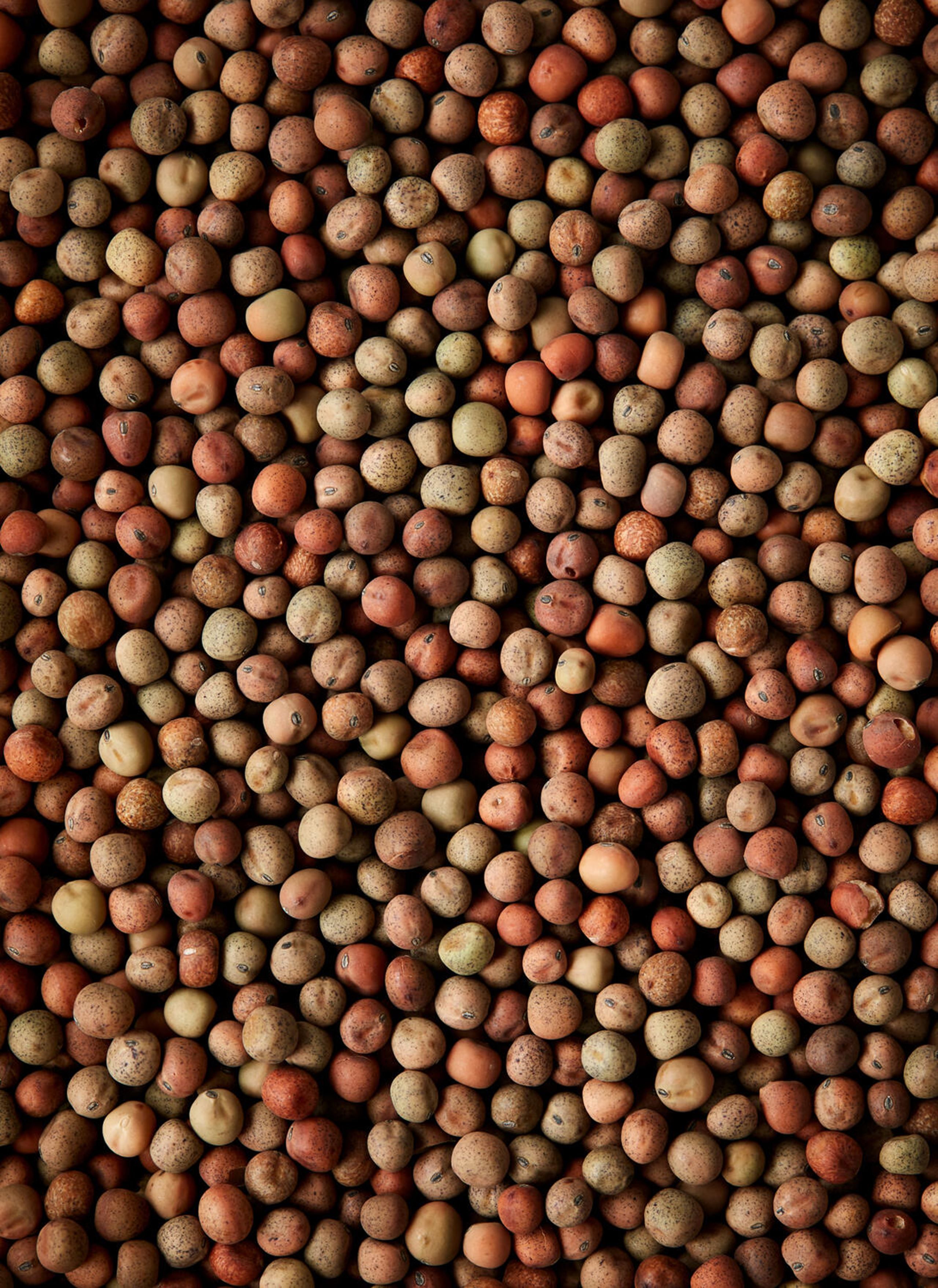 Bælgfrugternes dag​​​​‌﻿‍﻿​‍​‍‌‍﻿﻿‌﻿​‍‌‍‍‌‌‍‌﻿‌‍‍‌‌‍﻿‍​‍​‍​﻿‍‍​‍​‍‌﻿​﻿‌‍​‌‌‍﻿‍‌‍‍‌‌﻿‌​‌﻿‍‌​‍﻿‍‌‍‍‌‌‍﻿﻿​‍​‍​‍﻿​​‍​‍‌‍‍​‌﻿​‍‌‍‌‌‌‍‌‍​‍​‍​﻿‍‍​‍​‍‌‍‍​‌﻿‌​‌﻿‌​‌﻿​​​﻿‍‍​‍﻿﻿​‍﻿﻿‌‍﻿​‌‍﻿﻿‌‍​﻿‌‍​‌‌‍﻿​‌‍‍​‌‍﻿﻿‌﻿​﻿‌﻿‌​​﻿‍‍​﻿​﻿​﻿​﻿​﻿​﻿​﻿​﻿​‍﻿﻿‌‍‍‌‌‍﻿‍‌﻿‌​‌‍‌‌‌‍﻿‍‌﻿‌​​‍﻿﻿‌‍‌‌‌‍‌​‌‍‍‌‌﻿‌​​‍﻿﻿‌‍﻿‌‌‍﻿﻿‌‍‌​‌‍‌‌​﻿﻿‌‌﻿​​‌﻿​‍‌‍‌‌‌﻿​﻿‌‍‌‌‌‍﻿‍‌﻿‌​‌‍​‌‌﻿‌​‌‍‍‌‌‍﻿﻿‌‍﻿‍​﻿‍﻿‌‍‍‌‌‍‌​​﻿﻿‌​﻿‍​​﻿​﻿​﻿​‍​﻿‌‍‌‍​﻿‌‍​‌​﻿​‍‌‍​﻿​‍﻿‌‌‍‌‌‌‍‌‌​﻿‌​​﻿‍‌​‍﻿‌​﻿‌​​﻿‍‌‌‍‌​​﻿‌‌​‍﻿‌​﻿‍​‌‍‌‌​﻿‌‌​﻿‍​​‍﻿‌​﻿​﻿​﻿‌‌​﻿‌‍‌‍‌‍​﻿​﻿‌‍‌​‌‍​‌​﻿‍​‌‍‌‌​﻿‍​‌‍​‌​﻿‍‌​﻿‍﻿‌﻿‌​‌﻿‍‌‌﻿​​‌‍‌‌​﻿﻿‌‌‍​‌‌﻿​‍‌﻿‌​‌‍‍‌‌‍​﻿‌‍﻿​‌‍‌‌​﻿‍﻿‌﻿​​‌‍​‌‌﻿‌​‌‍‍​​﻿﻿‌‌‍‍‌‌‍﻿‌‌‍​‌‌‍‌﻿‌‍‌‌​‍﻿‍‌‍​‌‌‍﻿​‌﻿‌​​﻿﻿﻿‌‍​‍‌‍​‌‌﻿​﻿‌‍‌‌‌‌‌‌‌﻿​‍‌‍﻿​​﻿﻿‌‌‍‍​‌﻿‌​‌﻿‌​‌﻿​​​‍‌‌​﻿​﻿‌​​‌​‍‌‌​﻿​‍‌​‌‍​‍‌‌​﻿​‍‌​‌‍‌‍﻿​‌‍﻿﻿‌‍​﻿‌‍​‌‌‍﻿​‌‍‍​‌‍﻿﻿‌﻿​﻿‌﻿‌​​‍‌‌​﻿​﻿‌​​‌​﻿​﻿​﻿​﻿​﻿​﻿​﻿​﻿​‍‌‍‌‍‍‌‌‍‌​​﻿﻿‌​﻿‍​​﻿​﻿​﻿​‍​﻿‌‍‌‍​﻿‌‍​‌​﻿​‍‌‍​﻿​‍﻿‌‌‍‌‌‌‍‌‌​﻿‌​​﻿‍‌​‍﻿‌​﻿‌​​﻿‍‌‌‍‌​​﻿‌‌​‍﻿‌​﻿‍​‌‍‌‌​﻿‌‌​﻿‍​​‍﻿‌​﻿​﻿​﻿‌‌​﻿‌‍‌‍‌‍​﻿​﻿‌‍‌​‌‍​‌​﻿‍​‌‍‌‌​﻿‍​‌‍​‌​﻿‍‌​‍‌‍‌﻿‌​‌﻿‍‌‌﻿​​‌‍‌‌​﻿﻿‌‌‍​‌‌﻿​‍‌﻿‌​‌‍‍‌‌‍​﻿‌‍﻿​‌‍‌‌​‍‌‍‌﻿​​‌‍​‌‌﻿‌​‌‍‍​​﻿﻿‌‌‍‍‌‌‍﻿‌‌‍​‌‌‍‌﻿‌‍‌‌​‍﻿‍‌‍​‌‌‍﻿​‌﻿‌​​‍‌‍‌﻿​​‌‍‌‌‌﻿​‍‌﻿​﻿‌﻿​​‌‍‌‌‌‍​﻿‌﻿‌​‌‍‍‌‌﻿‌‍‌‍‌‌​﻿﻿‌‌﻿​​‌﻿‌‌‌‍​‍‌‍﻿​‌‍‍‌‌﻿​﻿‌‍‍​‌‍‌‌‌‍‌​​‍​‍‌﻿﻿‌