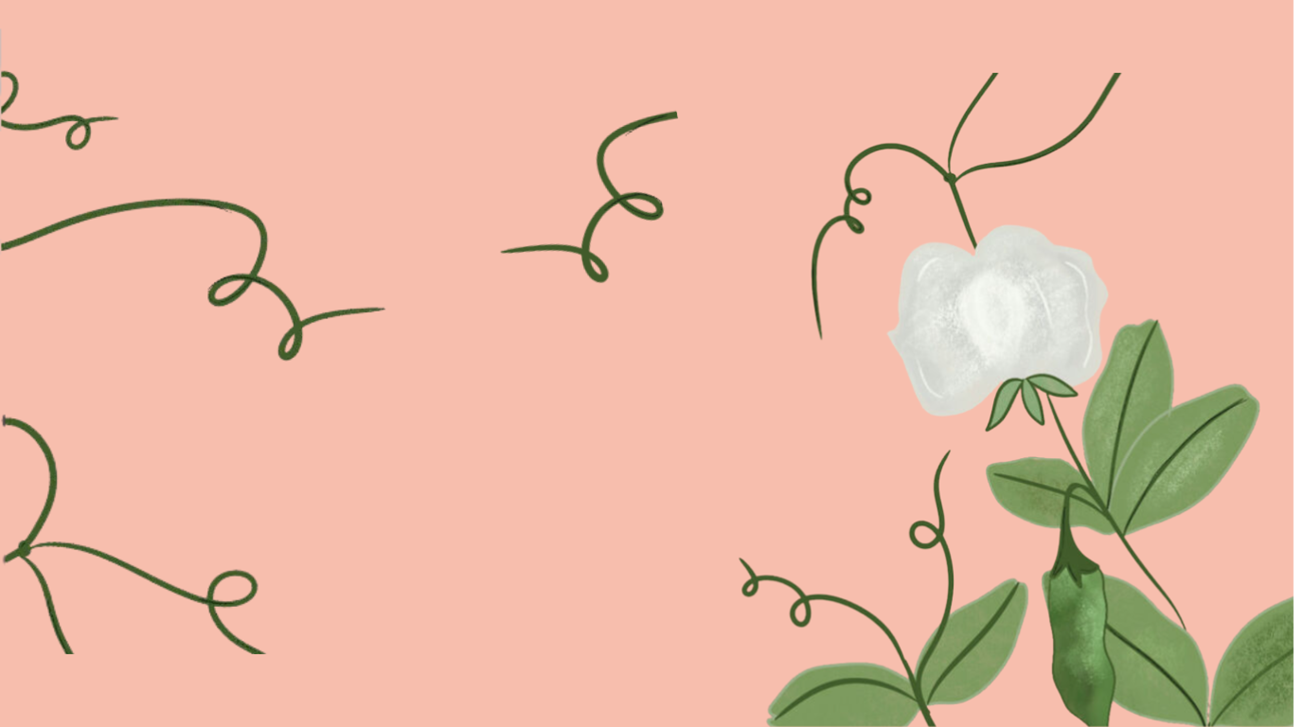 Grøntsagsmissionen​​​​‌﻿‍﻿​‍​‍‌‍﻿﻿‌﻿​‍‌‍‍‌‌‍‌﻿‌‍‍‌‌‍﻿‍​‍​‍​﻿‍‍​‍​‍‌﻿​﻿‌‍​‌‌‍﻿‍‌‍‍‌‌﻿‌​‌﻿‍‌​‍﻿‍‌‍‍‌‌‍﻿﻿​‍​‍​‍﻿​​‍​‍‌‍‍​‌﻿​‍‌‍‌‌‌‍‌‍​‍​‍​﻿‍‍​‍​‍‌‍‍​‌﻿‌​‌﻿‌​‌﻿​​​﻿‍‍​‍﻿﻿​‍﻿﻿‌‍﻿​‌‍﻿﻿‌‍​﻿‌‍​‌‌‍﻿​‌‍‍​‌‍﻿﻿‌﻿​﻿‌﻿‌​​﻿‍‍​﻿​﻿​﻿​﻿​﻿​﻿​﻿​﻿​‍﻿﻿‌‍‍‌‌‍﻿‍‌﻿‌​‌‍‌‌‌‍﻿‍‌﻿‌​​‍﻿﻿‌‍‌‌‌‍‌​‌‍‍‌‌﻿‌​​‍﻿﻿‌‍﻿‌‌‍﻿﻿‌‍‌​‌‍‌‌​﻿﻿‌‌﻿​​‌﻿​‍‌‍‌‌‌﻿​﻿‌‍‌‌‌‍﻿‍‌﻿‌​‌‍​‌‌﻿‌​‌‍‍‌‌‍﻿﻿‌‍﻿‍​﻿‍﻿‌‍‍‌‌‍‌​​﻿﻿‌​﻿​‌‌‍‌‍​﻿​﻿‌‍​‌​﻿​﻿​﻿‌​​﻿‌﻿‌‍​‍​‍﻿‌​﻿​‌​﻿‌​​﻿‌‌​﻿​‌​‍﻿‌​﻿‌​‌‍​‌‌‍‌‌​﻿‌﻿​‍﻿‌‌‍​‌​﻿‌​​﻿​‌‌‍‌​​‍﻿‌​﻿​​​﻿​‍​﻿‌​‌‍​﻿​﻿​‍​﻿‌﻿​﻿‌​‌‍‌‍​﻿​‍​﻿​‍​﻿‍​‌‍​﻿​﻿‍﻿‌﻿‌​‌﻿‍‌‌﻿​​‌‍‌‌​﻿﻿‌‌‍​‌‌﻿​‍‌﻿‌​‌‍‍‌‌‍​﻿‌‍﻿​‌‍‌‌​﻿‍﻿‌﻿​​‌‍​‌‌﻿‌​‌‍‍​​﻿﻿‌‌‍‍‌‌‍﻿‌‌‍​‌‌‍‌﻿‌‍‌‌​‍﻿‍‌‍​‌‌‍﻿​‌﻿‌​​﻿﻿﻿‌‍​‍‌‍​‌‌﻿​﻿‌‍‌‌‌‌‌‌‌﻿​‍‌‍﻿​​﻿﻿‌‌‍‍​‌﻿‌​‌﻿‌​‌﻿​​​‍‌‌​﻿​﻿‌​​‌​‍‌‌​﻿​‍‌​‌‍​‍‌‌​﻿​‍‌​‌‍‌‍﻿​‌‍﻿﻿‌‍​﻿‌‍​‌‌‍﻿​‌‍‍​‌‍﻿﻿‌﻿​﻿‌﻿‌​​‍‌‌​﻿​﻿‌​​‌​﻿​﻿​﻿​﻿​﻿​﻿​﻿​﻿​‍‌‍‌‍‍‌‌‍‌​​﻿﻿‌​﻿​‌‌‍‌‍​﻿​﻿‌‍​‌​﻿​﻿​﻿‌​​﻿‌﻿‌‍​‍​‍﻿‌​﻿​‌​﻿‌​​﻿‌‌​﻿​‌​‍﻿‌​﻿‌​‌‍​‌‌‍‌‌​﻿‌﻿​‍﻿‌‌‍​‌​﻿‌​​﻿​‌‌‍‌​​‍﻿‌​﻿​​​﻿​‍​﻿‌​‌‍​﻿​﻿​‍​﻿‌﻿​﻿‌​‌‍‌‍​﻿​‍​﻿​‍​﻿‍​‌‍​﻿​‍‌‍‌﻿‌​‌﻿‍‌‌﻿​​‌‍‌‌​﻿﻿‌‌‍​‌‌﻿​‍‌﻿‌​‌‍‍‌‌‍​﻿‌‍﻿​‌‍‌‌​‍‌‍‌﻿​​‌‍​‌‌﻿‌​‌‍‍​​﻿﻿‌‌‍‍‌‌‍﻿‌‌‍​‌‌‍‌﻿‌‍‌‌​‍﻿‍‌‍​‌‌‍﻿​‌﻿‌​​‍‌‍‌﻿​​‌‍‌‌‌﻿​‍‌﻿​﻿‌﻿​​‌‍‌‌‌‍​﻿‌﻿‌​‌‍‍‌‌﻿‌‍‌‍‌‌​﻿﻿‌‌﻿​​‌﻿‌‌‌‍​‍‌‍﻿​‌‍‍‌‌﻿​﻿‌‍‍​‌‍‌‌‌‍‌​​‍​‍‌﻿﻿‌