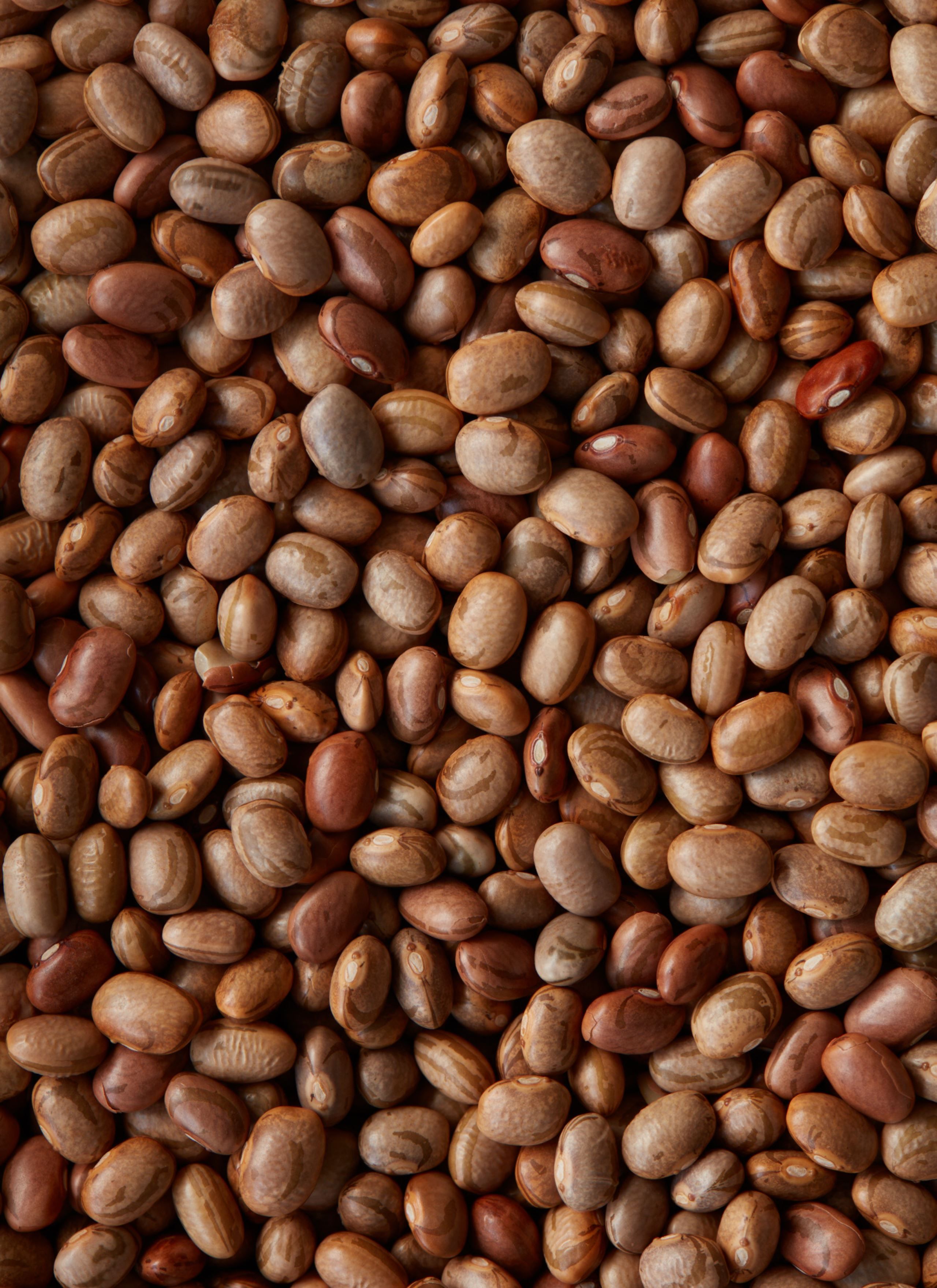 Bliv klog på bælgfrugter ​​​​‌﻿‍﻿​‍​‍‌‍﻿﻿‌﻿​‍‌‍‍‌‌‍‌﻿‌‍‍‌‌‍﻿‍​‍​‍​﻿‍‍​‍​‍‌﻿​﻿‌‍​‌‌‍﻿‍‌‍‍‌‌﻿‌​‌﻿‍‌​‍﻿‍‌‍‍‌‌‍﻿﻿​‍​‍​‍﻿​​‍​‍‌‍‍​‌﻿​‍‌‍‌‌‌‍‌‍​‍​‍​﻿‍‍​‍​‍‌‍‍​‌﻿‌​‌﻿‌​‌﻿​​​﻿‍‍​‍﻿﻿​‍﻿﻿‌‍﻿​‌‍﻿﻿‌‍​﻿‌‍​‌‌‍﻿​‌‍‍​‌‍﻿﻿‌﻿​﻿‌﻿‌​​﻿‍‍​﻿​﻿​﻿​﻿​﻿​﻿​﻿​﻿​‍﻿﻿‌‍‍‌‌‍﻿‍‌﻿‌​‌‍‌‌‌‍﻿‍‌﻿‌​​‍﻿﻿‌‍‌‌‌‍‌​‌‍‍‌‌﻿‌​​‍﻿﻿‌‍﻿‌‌‍﻿﻿‌‍‌​‌‍‌‌​﻿﻿‌‌﻿​​‌﻿​‍‌‍‌‌‌﻿​﻿‌‍‌‌‌‍﻿‍‌﻿‌​‌‍​‌‌﻿‌​‌‍‍‌‌‍﻿﻿‌‍﻿‍​﻿‍﻿‌‍‍‌‌‍‌​​﻿﻿‌​﻿‍​​﻿​‍‌‍​‌​﻿​​​﻿​‌​﻿‌​‌‍‌‌​﻿​﻿​‍﻿‌​﻿‌‌‌‍​‌​﻿​‍​﻿​‌​‍﻿‌​﻿‌​​﻿​‍‌‍​‍‌‍​﻿​‍﻿‌‌‍​‌‌‍‌​​﻿‍‌​﻿​‌​‍﻿‌​﻿​‍​﻿​﻿​﻿‌‌‌‍​﻿​﻿​‍​﻿‍​​﻿‍​‌‍‌‌​﻿‌‍‌‍​‍​﻿‌‍​﻿​​​﻿‍﻿‌﻿‌​‌﻿‍‌‌﻿​​‌‍‌‌​﻿﻿‌‌‍​‌‌﻿​‍‌﻿‌​‌‍‍‌‌‍​﻿‌‍﻿​‌‍‌‌​﻿‍﻿‌﻿​​‌‍​‌‌﻿‌​‌‍‍​​﻿﻿‌‌‍‍‌‌‍﻿‌‌‍​‌‌‍‌﻿‌‍‌‌​‍﻿‍‌‍​‌‌‍﻿​‌﻿‌​​﻿﻿﻿‌‍​‍‌‍​‌‌﻿​﻿‌‍‌‌‌‌‌‌‌﻿​‍‌‍﻿​​﻿﻿‌‌‍‍​‌﻿‌​‌﻿‌​‌﻿​​​‍‌‌​﻿​﻿‌​​‌​‍‌‌​﻿​‍‌​‌‍​‍‌‌​﻿​‍‌​‌‍‌‍﻿​‌‍﻿﻿‌‍​﻿‌‍​‌‌‍﻿​‌‍‍​‌‍﻿﻿‌﻿​﻿‌﻿‌​​‍‌‌​﻿​﻿‌​​‌​﻿​﻿​﻿​﻿​﻿​﻿​﻿​﻿​‍‌‍‌‍‍‌‌‍‌​​﻿﻿‌​﻿‍​​﻿​‍‌‍​‌​﻿​​​﻿​‌​﻿‌​‌‍‌‌​﻿​﻿​‍﻿‌​﻿‌‌‌‍​‌​﻿​‍​﻿​‌​‍﻿‌​﻿‌​​﻿​‍‌‍​‍‌‍​﻿​‍﻿‌‌‍​‌‌‍‌​​﻿‍‌​﻿​‌​‍﻿‌​﻿​‍​﻿​﻿​﻿‌‌‌‍​﻿​﻿​‍​﻿‍​​﻿‍​‌‍‌‌​﻿‌‍‌‍​‍​﻿‌‍​﻿​​​‍‌‍‌﻿‌​‌﻿‍‌‌﻿​​‌‍‌‌​﻿﻿‌‌‍​‌‌﻿​‍‌﻿‌​‌‍‍‌‌‍​﻿‌‍﻿​‌‍‌‌​‍‌‍‌﻿​​‌‍​‌‌﻿‌​‌‍‍​​﻿﻿‌‌‍‍‌‌‍﻿‌‌‍​‌‌‍‌﻿‌‍‌‌​‍﻿‍‌‍​‌‌‍﻿​‌﻿‌​​‍‌‍‌﻿​​‌‍‌‌‌﻿​‍‌﻿​﻿‌﻿​​‌‍‌‌‌‍​﻿‌﻿‌​‌‍‍‌‌﻿‌‍‌‍‌‌​﻿﻿‌‌﻿​​‌﻿‌‌‌‍​‍‌‍﻿​‌‍‍‌‌﻿​﻿‌‍‍​‌‍‌‌‌‍‌​​‍​‍‌﻿﻿‌