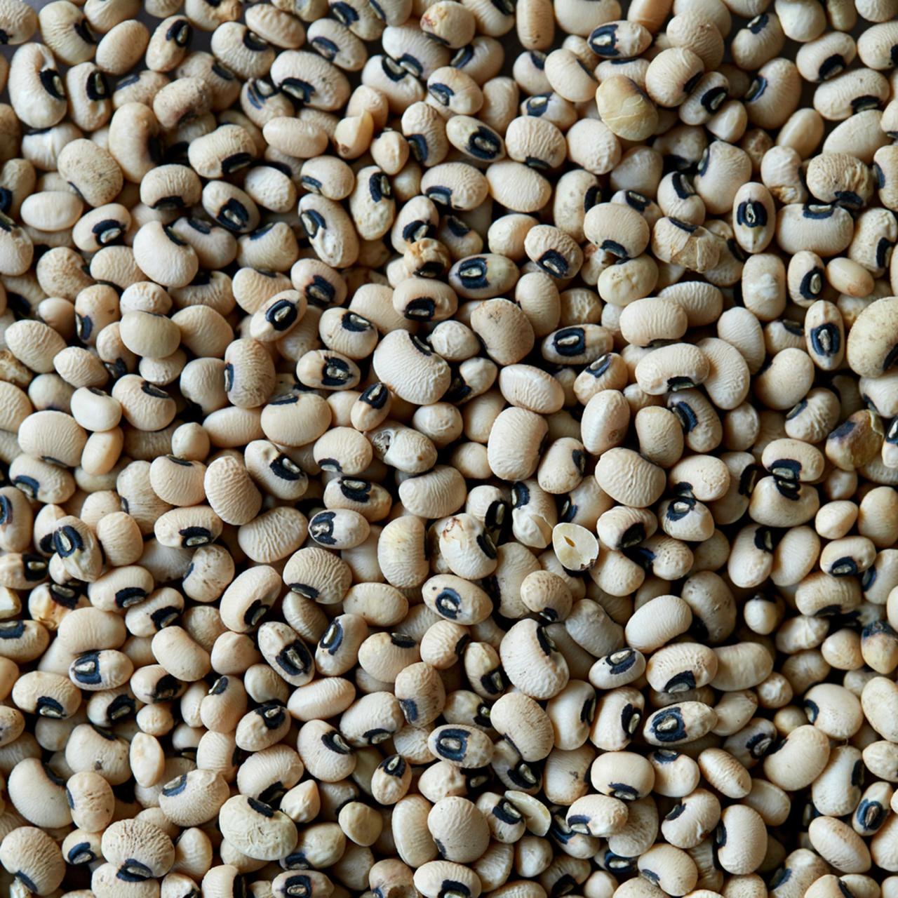 Sortøjebønner​​​​‌﻿‍﻿​‍​‍‌‍﻿﻿‌﻿​‍‌‍‍‌‌‍‌﻿‌‍‍‌‌‍﻿‍​‍​‍​﻿‍‍​‍​‍‌﻿​﻿‌‍​‌‌‍﻿‍‌‍‍‌‌﻿‌​‌﻿‍‌​‍﻿‍‌‍‍‌‌‍﻿﻿​‍​‍​‍﻿​​‍​‍‌‍‍​‌﻿​‍‌‍‌‌‌‍‌‍​‍​‍​﻿‍‍​‍​‍‌‍‍​‌﻿‌​‌﻿‌​‌﻿​​​﻿‍‍​‍﻿﻿​‍﻿﻿‌‍﻿​‌‍﻿﻿‌‍​﻿‌‍​‌‌‍﻿​‌‍‍​‌‍﻿﻿‌﻿​﻿‌﻿‌​​﻿‍‍​﻿​﻿​﻿​﻿​﻿​﻿​﻿​﻿​‍﻿﻿‌‍‍‌‌‍﻿‍‌﻿‌​‌‍‌‌‌‍﻿‍‌﻿‌​​‍﻿﻿‌‍‌‌‌‍‌​‌‍‍‌‌﻿‌​​‍﻿﻿‌‍﻿‌‌‍﻿﻿‌‍‌​‌‍‌‌​﻿﻿‌‌﻿​​‌﻿​‍‌‍‌‌‌﻿​﻿‌‍‌‌‌‍﻿‍‌﻿‌​‌‍​‌‌﻿‌​‌‍‍‌‌‍﻿﻿‌‍﻿‍​﻿‍﻿‌‍‍‌‌‍‌​​﻿﻿‌‌‍‌​​﻿‌﻿​﻿​﻿‌‍​﻿​﻿‌﻿‌‍‌‌​﻿‌‌​﻿‌﻿​‍﻿‌​﻿‍​​﻿‌‍‌‍​﻿​﻿​‍​‍﻿‌​﻿‌​​﻿‌‍​﻿‌‍​﻿​﻿​‍﻿‌‌‍​‍​﻿‌​‌‍‌‌‌‍‌‍​‍﻿‌​﻿‌​‌‍‌‍‌‍​‍‌‍‌‌‌‍​‌‌‍‌​​﻿​​‌‍‌​​﻿​‌​﻿​‌​﻿​‌​﻿‍​​﻿‍﻿‌﻿‌​‌﻿‍‌‌﻿​​‌‍‌‌​﻿﻿‌‌‍​‌‌﻿​‍‌﻿‌​‌‍‍‌‌‍​﻿‌‍﻿​‌‍‌‌​﻿‍﻿‌﻿​​‌‍​‌‌﻿‌​‌‍‍​​﻿﻿‌‌﻿​​‌‍﻿﻿‌﻿​‍‌﻿‌​‌‍​‌‌‍​‍‌‍﻿​‌‍‌‌‌﻿‌​‌‍‌‌‌﻿‍​‌﻿‌​​‍‌‌​﻿‌‌‌​​‍‌‌﻿﻿‌‍‍﻿‌‍‌‌‌﻿‍‌​‍‌‌​﻿​﻿‌​‌​​‍‌‌​﻿​﻿‌​‌​​‍‌‌​﻿​‍​﻿​‍​﻿​‍​﻿​‍​﻿​‌​﻿​​​﻿‍​​﻿‌﻿‌‍‌​‌‍​‌​‍‌‌​﻿​‍​﻿​‍​‍‌‌​﻿‌‌‌​‌​​‍﻿‍‌﻿​﻿‌‍﻿​‌‍‍‌‌‍‌​‌‍‌‌‌﻿​﻿​‍‌‌​﻿‌‌‌​​‍‌‌﻿﻿‌‍‍﻿‌‍‌‌‌﻿‍‌​‍‌‌​﻿​﻿‌​‌​​‍‌‌​﻿​﻿‌​‌​​‍‌‌​﻿​‍​﻿​‍​﻿‌​​﻿​‍​﻿‌‍‌‍​﻿​﻿‌‌‌‍‌‌​﻿‌‍​﻿‌﻿​‍‌‌​﻿​‍​﻿​‍​‍‌‌​﻿‌‌‌​‌​​‍﻿‍‌‍‍‌‌‍﻿‌‌‍​‌‌‍‌﻿‌‍‌‌​‍﻿‍‌‍​‌‌‍﻿​‌﻿‌​​﻿﻿﻿‌‍​‍‌‍​‌‌﻿​﻿‌‍‌‌‌‌‌‌‌﻿​‍‌‍﻿​​﻿﻿‌‌‍‍​‌﻿‌​‌﻿‌​‌﻿​​​‍‌‌​﻿​﻿‌​​‌​‍‌‌​﻿​‍‌​‌‍​‍‌‌​﻿​‍‌​‌‍‌‍﻿​‌‍﻿﻿‌‍​﻿‌‍​‌‌‍﻿​‌‍‍​‌‍﻿﻿‌﻿​﻿‌﻿‌​​‍‌‌​﻿​﻿‌​​‌​﻿​﻿​﻿​﻿​﻿​﻿​﻿​﻿​‍‌‍‌‍‍‌‌‍‌​​﻿﻿‌‌‍‌​​﻿‌﻿​﻿​﻿‌‍​﻿​﻿‌﻿‌‍‌‌​﻿‌‌​﻿‌﻿​‍﻿‌​﻿‍​​﻿‌‍‌‍​﻿​﻿​‍​‍﻿‌​﻿‌​​﻿‌‍​﻿‌‍​﻿​﻿​‍﻿‌‌‍​‍​﻿‌​‌‍‌‌‌‍‌‍​‍﻿‌​﻿‌​‌‍‌‍‌‍​‍‌‍‌‌‌‍​‌‌‍‌​​﻿​​‌‍‌​​﻿​‌​﻿​‌​﻿​‌​﻿‍​​‍‌‍‌﻿‌​‌﻿‍‌‌﻿​​‌‍‌‌​﻿﻿‌‌‍​‌‌﻿​‍‌﻿‌​‌‍‍‌‌‍​﻿‌‍﻿​‌‍‌‌​‍‌‍‌﻿​​‌‍​‌‌﻿‌​‌‍‍​​﻿﻿‌‌﻿​​‌‍﻿﻿‌﻿​‍‌﻿‌​‌‍​‌‌‍​‍‌‍﻿​‌‍‌‌‌﻿‌​‌‍‌‌‌﻿‍​‌﻿‌​​‍‌‌​﻿‌‌‌​​‍‌‌﻿﻿‌‍‍﻿‌‍‌‌‌﻿‍‌​‍‌‌​﻿​﻿‌​‌​​‍‌‌​﻿​﻿‌​‌​​‍‌‌​﻿​‍​﻿​‍​﻿​‍​﻿​‍​﻿​‌​﻿​​​﻿‍​​﻿‌﻿‌‍‌​‌‍​‌​‍‌‌​﻿​‍​﻿​‍​‍‌‌​﻿‌‌‌​‌​​‍﻿‍‌﻿​﻿‌‍﻿​‌‍‍‌‌‍‌​‌‍‌‌‌﻿​﻿​‍‌‌​﻿‌‌‌​​‍‌‌﻿﻿‌‍‍﻿‌‍‌‌‌﻿‍‌​‍‌‌​﻿​﻿‌​‌​​‍‌‌​﻿​﻿‌​‌​​‍‌‌​﻿​‍​﻿​‍​﻿‌​​﻿​‍​﻿‌‍‌‍​﻿​﻿‌‌‌‍‌‌​﻿‌‍​﻿‌﻿​‍‌‌​﻿​‍​﻿​‍​‍‌‌​﻿‌‌‌​‌​​‍﻿‍‌‍‍‌‌‍﻿‌‌‍​‌‌‍‌﻿‌‍‌‌​‍﻿‍‌‍​‌‌‍﻿​‌﻿‌​​‍‌‍‌﻿​​‌‍‌‌‌﻿​‍‌﻿​﻿‌﻿​​‌‍‌‌‌‍​﻿‌﻿‌​‌‍‍‌‌﻿‌‍‌‍‌‌​﻿﻿‌‌﻿​​‌﻿‌‌‌‍​‍‌‍﻿​‌‍‍‌‌﻿​﻿‌‍‍​‌‍‌‌‌‍‌​​‍​‍‌﻿﻿‌