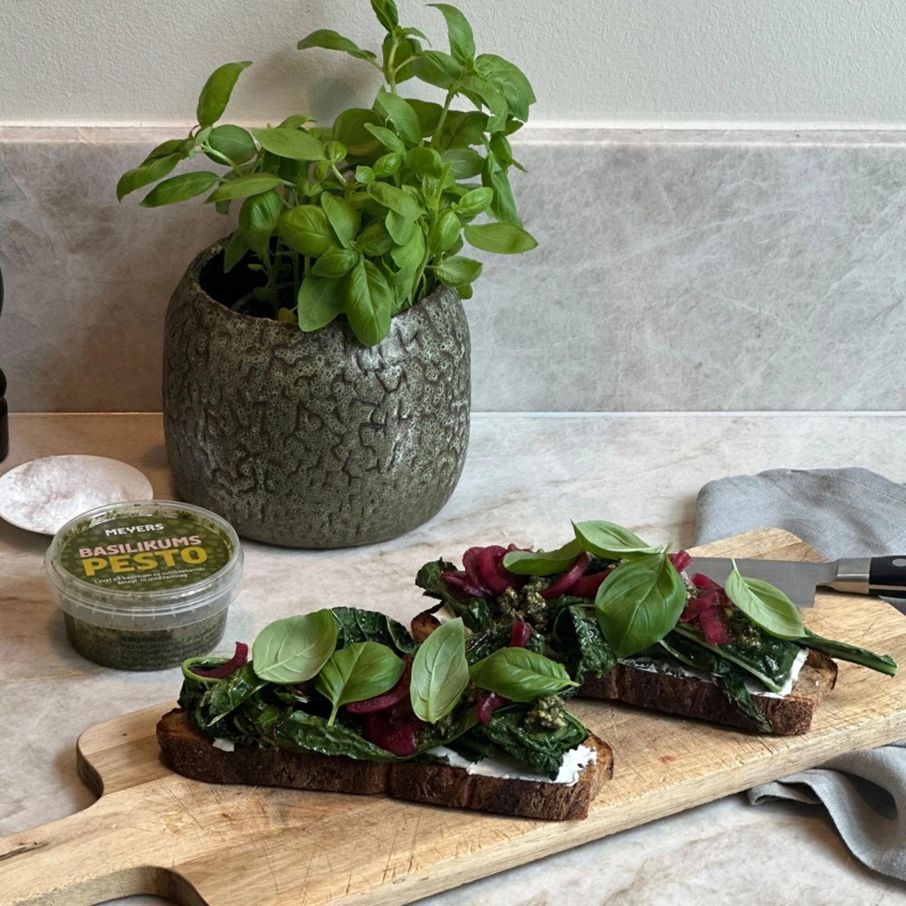 Bruschetta med palmekål, pesto og syltede rødløg​​​​‌﻿‍﻿​‍​‍‌‍﻿﻿‌﻿​‍‌‍‍‌‌‍‌﻿‌‍‍‌‌‍﻿‍​‍​‍​﻿‍‍​‍​‍‌﻿​﻿‌‍​‌‌‍﻿‍‌‍‍‌‌﻿‌​‌﻿‍‌​‍﻿‍‌‍‍‌‌‍﻿﻿​‍​‍​‍﻿​​‍​‍‌‍‍​‌﻿​‍‌‍‌‌‌‍‌‍​‍​‍​﻿‍‍​‍​‍‌‍‍​‌﻿‌​‌﻿‌​‌﻿​​​﻿‍‍​‍﻿﻿​‍﻿﻿‌‍﻿​‌‍﻿﻿‌‍​﻿‌‍​‌‌‍﻿​‌‍‍​‌‍﻿﻿‌﻿​﻿‌﻿‌​​﻿‍‍​﻿​﻿​﻿​﻿​﻿​﻿​﻿​﻿​‍﻿﻿‌‍‍‌‌‍﻿‍‌﻿‌​‌‍‌‌‌‍﻿‍‌﻿‌​​‍﻿﻿‌‍‌‌‌‍‌​‌‍‍‌‌﻿‌​​‍﻿﻿‌‍﻿‌‌‍﻿﻿‌‍‌​‌‍‌‌​﻿﻿‌‌﻿​​‌﻿​‍‌‍‌‌‌﻿​﻿‌‍‌‌‌‍﻿‍‌﻿‌​‌‍​‌‌﻿‌​‌‍‍‌‌‍﻿﻿‌‍﻿‍​﻿‍﻿‌‍‍‌‌‍‌​​﻿﻿‌​﻿‍​​﻿‍‌​﻿‌﻿​﻿​‍‌‍​‌‌‍‌​​﻿‍‌‌‍​﻿​‍﻿‌‌‍​‍‌‍‌‍​﻿‌​‌‍​﻿​‍﻿‌​﻿‌​‌‍​‍​﻿‌﻿​﻿​​​‍﻿‌‌‍​‌​﻿‌‌​﻿​‌​﻿​‌​‍﻿‌​﻿‌‌‌‍​‌​﻿‌‍​﻿​​‌‍‌‍​﻿‌﻿​﻿​​‌‍‌‌‌‍​﻿‌‍‌​​﻿​‍‌‍‌‌​﻿‍﻿‌﻿‌​‌﻿‍‌‌﻿​​‌‍‌‌​﻿﻿‌‌‍​‌‌﻿​‍‌﻿‌​‌‍‍‌‌‍​﻿‌‍﻿​‌‍‌‌​﻿‍﻿‌﻿​​‌‍​‌‌﻿‌​‌‍‍​​﻿﻿‌‌﻿​​‌‍﻿﻿‌﻿​‍‌﻿‌​‌‍​‌‌‍​‍‌‍﻿​‌‍‌‌‌﻿‌​‌‍‌‌‌﻿‍​‌﻿‌​​‍‌‌​﻿‌‌‌​​‍‌‌﻿﻿‌‍‍﻿‌‍‌‌‌﻿‍‌​‍‌‌​﻿​﻿‌​‌​​‍‌‌​﻿​﻿‌​‌​​‍‌‌​﻿​‍​﻿​‍​﻿​﻿‌‍​‌​﻿‌﻿​﻿‌‌‌‍‌​​﻿‍​​﻿‍​‌‍​‍​‍‌‌​﻿​‍​﻿​‍​‍‌‌​﻿‌‌‌​‌​​‍﻿‍‌﻿​﻿‌‍﻿​‌‍‍‌‌‍‌​‌‍‌‌‌﻿​﻿​‍‌‌​﻿‌‌‌​​‍‌‌﻿﻿‌‍‍﻿‌‍‌‌‌﻿‍‌​‍‌‌​﻿​﻿‌​‌​​‍‌‌​﻿​﻿‌​‌​​‍‌‌​﻿​‍​﻿​‍​﻿‌‌‌‍​﻿​﻿​​​﻿‍‌​﻿‌‍​﻿‍‌​﻿‌‌​﻿​﻿​‍‌‌​﻿​‍​﻿​‍​‍‌‌​﻿‌‌‌​‌​​‍﻿‍‌‍‍‌‌‍﻿‌‌‍​‌‌‍‌﻿‌‍‌‌​‍﻿‍‌‍​‌‌‍﻿​‌﻿‌​​﻿﻿﻿‌‍​‍‌‍​‌‌﻿​﻿‌‍‌‌‌‌‌‌‌﻿​‍‌‍﻿​​﻿﻿‌‌‍‍​‌﻿‌​‌﻿‌​‌﻿​​​‍‌‌​﻿​﻿‌​​‌​‍‌‌​﻿​‍‌​‌‍​‍‌‌​﻿​‍‌​‌‍‌‍﻿​‌‍﻿﻿‌‍​﻿‌‍​‌‌‍﻿​‌‍‍​‌‍﻿﻿‌﻿​﻿‌﻿‌​​‍‌‌​﻿​﻿‌​​‌​﻿​﻿​﻿​﻿​﻿​﻿​﻿​﻿​‍‌‍‌‍‍‌‌‍‌​​﻿﻿‌​﻿‍​​﻿‍‌​﻿‌﻿​﻿​‍‌‍​‌‌‍‌​​﻿‍‌‌‍​﻿​‍﻿‌‌‍​‍‌‍‌‍​﻿‌​‌‍​﻿​‍﻿‌​﻿‌​‌‍​‍​﻿‌﻿​﻿​​​‍﻿‌‌‍​‌​﻿‌‌​﻿​‌​﻿​‌​‍﻿‌​﻿‌‌‌‍​‌​﻿‌‍​﻿​​‌‍‌‍​﻿‌﻿​﻿​​‌‍‌‌‌‍​﻿‌‍‌​​﻿​‍‌‍‌‌​‍‌‍‌﻿‌​‌﻿‍‌‌﻿​​‌‍‌‌​﻿﻿‌‌‍​‌‌﻿​‍‌﻿‌​‌‍‍‌‌‍​﻿‌‍﻿​‌‍‌‌​‍‌‍‌﻿​​‌‍​‌‌﻿‌​‌‍‍​​﻿﻿‌‌﻿​​‌‍﻿﻿‌﻿​‍‌﻿‌​‌‍​‌‌‍​‍‌‍﻿​‌‍‌‌‌﻿‌​‌‍‌‌‌﻿‍​‌﻿‌​​‍‌‌​﻿‌‌‌​​‍‌‌﻿﻿‌‍‍﻿‌‍‌‌‌﻿‍‌​‍‌‌​﻿​﻿‌​‌​​‍‌‌​﻿​﻿‌​‌​​‍‌‌​﻿​‍​﻿​‍​﻿​﻿‌‍​‌​﻿‌﻿​﻿‌‌‌‍‌​​﻿‍​​﻿‍​‌‍​‍​‍‌‌​﻿​‍​﻿​‍​‍‌‌​﻿‌‌‌​‌​​‍﻿‍‌﻿​﻿‌‍﻿​‌‍‍‌‌‍‌​‌‍‌‌‌﻿​﻿​‍‌‌​﻿‌‌‌​​‍‌‌﻿﻿‌‍‍﻿‌‍‌‌‌﻿‍‌​‍‌‌​﻿​﻿‌​‌​​‍‌‌​﻿​﻿‌​‌​​‍‌‌​﻿​‍​﻿​‍​﻿‌‌‌‍​﻿​﻿​​​﻿‍‌​﻿‌‍​﻿‍‌​﻿‌‌​﻿​﻿​‍‌‌​﻿​‍​﻿​‍​‍‌‌​﻿‌‌‌​‌​​‍﻿‍‌‍‍‌‌‍﻿‌‌‍​‌‌‍‌﻿‌‍‌‌​‍﻿‍‌‍​‌‌‍﻿​‌﻿‌​​‍‌‍‌﻿​​‌‍‌‌‌﻿​‍‌﻿​﻿‌﻿​​‌‍‌‌‌‍​﻿‌﻿‌​‌‍‍‌‌﻿‌‍‌‍‌‌​﻿﻿‌‌﻿​​‌﻿‌‌‌‍​‍‌‍﻿​‌‍‍‌‌﻿​﻿‌‍‍​‌‍‌‌‌‍‌​​‍​‍‌﻿﻿‌