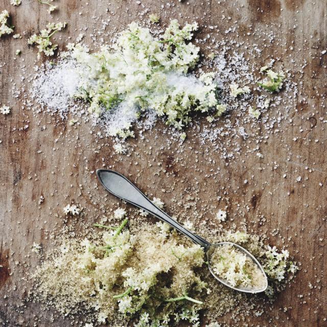 Hyldeblomstsalt & -sukker