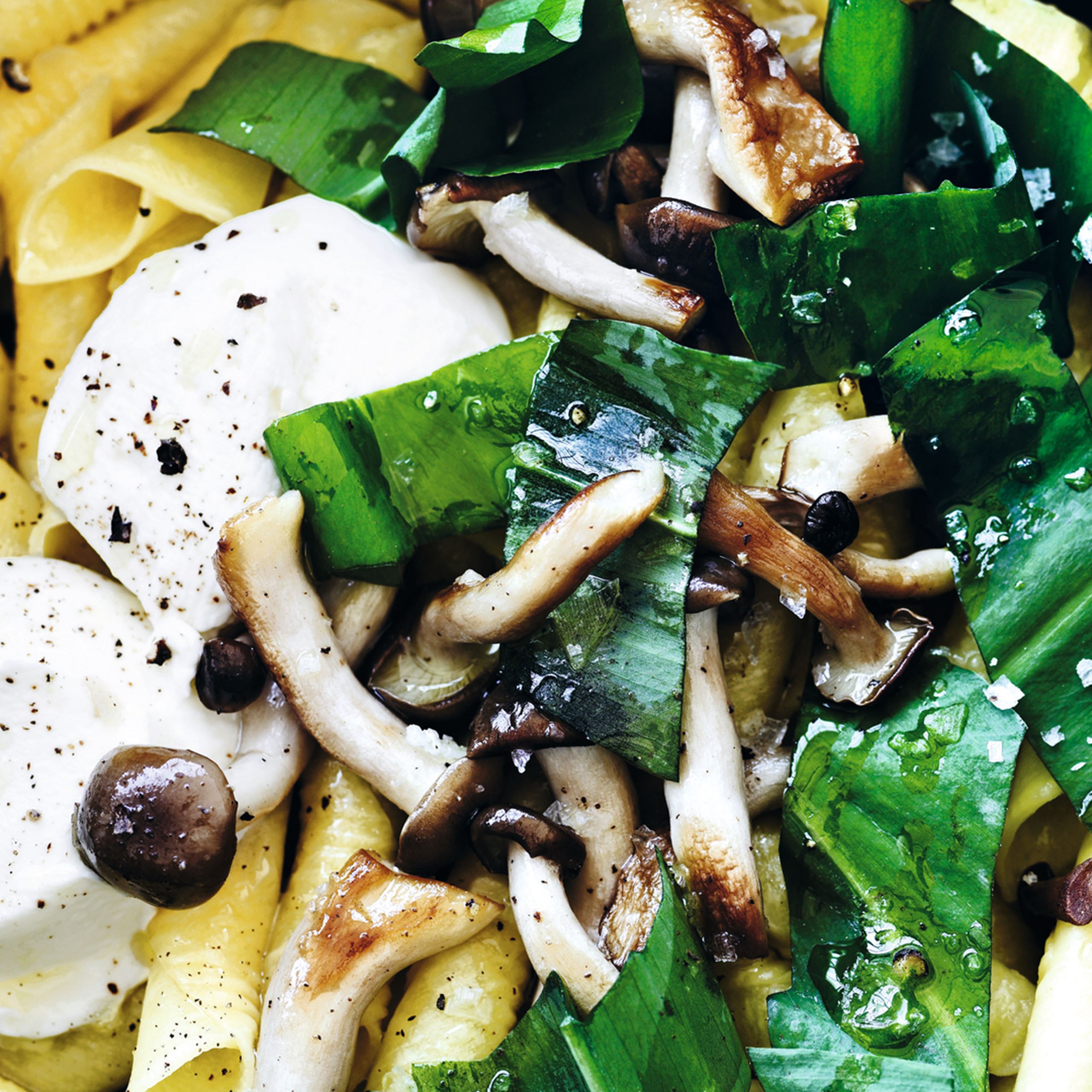 GARGANELLI MED RAMSLØG, FORÅRSSVAMPE OG FRISKOST​​​​‌﻿‍﻿​‍​‍‌‍﻿﻿‌﻿​‍‌‍‍‌‌‍‌﻿‌‍‍‌‌‍﻿‍​‍​‍​﻿‍‍​‍​‍‌﻿​﻿‌‍​‌‌‍﻿‍‌‍‍‌‌﻿‌​‌﻿‍‌​‍﻿‍‌‍‍‌‌‍﻿﻿​‍​‍​‍﻿​​‍​‍‌‍‍​‌﻿​‍‌‍‌‌‌‍‌‍​‍​‍​﻿‍‍​‍​‍‌‍‍​‌﻿‌​‌﻿‌​‌﻿​​​﻿‍‍​‍﻿﻿​‍﻿﻿‌‍﻿​‌‍﻿﻿‌‍​﻿‌‍​‌‌‍﻿​‌‍‍​‌‍﻿﻿‌﻿​﻿‌﻿‌​​﻿‍‍​﻿​﻿​﻿​﻿​﻿​﻿​﻿​﻿​‍﻿﻿‌‍‍‌‌‍﻿‍‌﻿‌​‌‍‌‌‌‍﻿‍‌﻿‌​​‍﻿﻿‌‍‌‌‌‍‌​‌‍‍‌‌﻿‌​​‍﻿﻿‌‍﻿‌‌‍﻿﻿‌‍‌​‌‍‌‌​﻿﻿‌‌﻿​​‌﻿​‍‌‍‌‌‌﻿​﻿‌‍‌‌‌‍﻿‍‌﻿‌​‌‍​‌‌﻿‌​‌‍‍‌‌‍﻿﻿‌‍﻿‍​﻿‍﻿‌‍‍‌‌‍‌​​﻿﻿‌‌‍​﻿​﻿‍‌​﻿​‌​﻿‌‌‌‍‌‌‌‍​﻿​﻿​﻿​﻿‌‍​‍﻿‌​﻿​﻿​﻿‍​​﻿‌‌​﻿‍‌​‍﻿‌​﻿‌​‌‍​‌​﻿‌﻿‌‍‌​​‍﻿‌​﻿‍​‌‍‌​‌‍​﻿‌‍‌‌​‍﻿‌​﻿‌​​﻿‌‌​﻿‍‌​﻿‍‌​﻿‌‍​﻿‌﻿​﻿‌‌​﻿​​​﻿‍‌​﻿‌‍​﻿‍​​﻿‌‍​﻿‍﻿‌﻿‌​‌﻿‍‌‌﻿​​‌‍‌‌​﻿﻿‌‌‍​‌‌﻿​‍‌﻿‌​‌‍‍‌‌‍​﻿‌‍﻿​‌‍‌‌​﻿‍﻿‌﻿​​‌‍​‌‌﻿‌​‌‍‍​​﻿﻿‌‌﻿​​‌‍﻿﻿‌﻿​‍‌﻿‌​‌‍​‌‌‍​‍‌‍﻿​‌‍‌‌‌﻿‌​‌‍‌‌‌﻿‍​‌﻿‌​​‍‌‌​﻿‌‌‌​​‍‌‌﻿﻿‌‍‍﻿‌‍‌‌‌﻿‍‌​‍‌‌​﻿​﻿‌​‌​​‍‌‌​﻿​﻿‌​‌​​‍‌‌​﻿​‍​﻿​‍​﻿‌​‌‍​‌‌‍‌‍‌‍​﻿​﻿​‌​﻿​‍​﻿​​‌‍​‍​‍‌‌​﻿​‍​﻿​‍​‍‌‌​﻿‌‌‌​‌​​‍﻿‍‌‍​﻿‌‍​‌‌﻿​‍‌‍‌​‌﻿​﻿​‍‌‌​﻿‌‌‌​​‍‌‌﻿﻿‌‍‍﻿‌‍‌‌‌﻿‍‌​‍‌‌​﻿​﻿‌​‌​​‍‌‌​﻿​﻿‌​‌​​‍‌‌​﻿​‍​﻿​‍‌‍​‍‌‍​‍​﻿‍​‌‍‌‌​﻿‍​​﻿​‍‌‍​﻿​﻿​‌​‍‌‌​﻿​‍​﻿​‍​‍‌‌​﻿‌‌‌​‌​​‍﻿‍‌‍‍‌‌‍﻿‌‌‍​‌‌‍‌﻿‌‍‌‌​‍﻿‍‌‍​‌‌‍﻿​‌﻿‌​​﻿﻿﻿‌‍​‍‌‍​‌‌﻿​﻿‌‍‌‌‌‌‌‌‌﻿​‍‌‍﻿​​﻿﻿‌‌‍‍​‌﻿‌​‌﻿‌​‌﻿​​​‍‌‌​﻿​﻿‌​​‌​‍‌‌​﻿​‍‌​‌‍​‍‌‌​﻿​‍‌​‌‍‌‍﻿​‌‍﻿﻿‌‍​﻿‌‍​‌‌‍﻿​‌‍‍​‌‍﻿﻿‌﻿​﻿‌﻿‌​​‍‌‌​﻿​﻿‌​​‌​﻿​﻿​﻿​﻿​﻿​﻿​﻿​﻿​‍‌‍‌‍‍‌‌‍‌​​﻿﻿‌‌‍​﻿​﻿‍‌​﻿​‌​﻿‌‌‌‍‌‌‌‍​﻿​﻿​﻿​﻿‌‍​‍﻿‌​﻿​﻿​﻿‍​​﻿‌‌​﻿‍‌​‍﻿‌​﻿‌​‌‍​‌​﻿‌﻿‌‍‌​​‍﻿‌​﻿‍​‌‍‌​‌‍​﻿‌‍‌‌​‍﻿‌​﻿‌​​﻿‌‌​﻿‍‌​﻿‍‌​﻿‌‍​﻿‌﻿​﻿‌‌​﻿​​​﻿‍‌​﻿‌‍​﻿‍​​﻿‌‍​‍‌‍‌﻿‌​‌﻿‍‌‌﻿​​‌‍‌‌​﻿﻿‌‌‍​‌‌﻿​‍‌﻿‌​‌‍‍‌‌‍​﻿‌‍﻿​‌‍‌‌​‍‌‍‌﻿​​‌‍​‌‌﻿‌​‌‍‍​​﻿﻿‌‌﻿​​‌‍﻿﻿‌﻿​‍‌﻿‌​‌‍​‌‌‍​‍‌‍﻿​‌‍‌‌‌﻿‌​‌‍‌‌‌﻿‍​‌﻿‌​​‍‌‌​﻿‌‌‌​​‍‌‌﻿﻿‌‍‍﻿‌‍‌‌‌﻿‍‌​‍‌‌​﻿​﻿‌​‌​​‍‌‌​﻿​﻿‌​‌​​‍‌‌​﻿​‍​﻿​‍​﻿‌​‌‍​‌‌‍‌‍‌‍​﻿​﻿​‌​﻿​‍​﻿​​‌‍​‍​‍‌‌​﻿​‍​﻿​‍​‍‌‌​﻿‌‌‌​‌​​‍﻿‍‌‍​﻿‌‍​‌‌﻿​‍‌‍‌​‌﻿​﻿​‍‌‌​﻿‌‌‌​​‍‌‌﻿﻿‌‍‍﻿‌‍‌‌‌﻿‍‌​‍‌‌​﻿​﻿‌​‌​​‍‌‌​﻿​﻿‌​‌​​‍‌‌​﻿​‍​﻿​‍‌‍​‍‌‍​‍​﻿‍​‌‍‌‌​﻿‍​​﻿​‍‌‍​﻿​﻿​‌​‍‌‌​﻿​‍​﻿​‍​‍‌‌​﻿‌‌‌​‌​​‍﻿‍‌‍‍‌‌‍﻿‌‌‍​‌‌‍‌﻿‌‍‌‌​‍﻿‍‌‍​‌‌‍﻿​‌﻿‌​​‍‌‍‌﻿​​‌‍‌‌‌﻿​‍‌﻿​﻿‌﻿​​‌‍‌‌‌‍​﻿‌﻿‌​‌‍‍‌‌﻿‌‍‌‍‌‌​﻿﻿‌‌﻿​​‌﻿‌‌‌‍​‍‌‍﻿​‌‍‍‌‌﻿​﻿‌‍‍​‌‍‌‌‌‍‌​​‍​‍‌﻿﻿‌