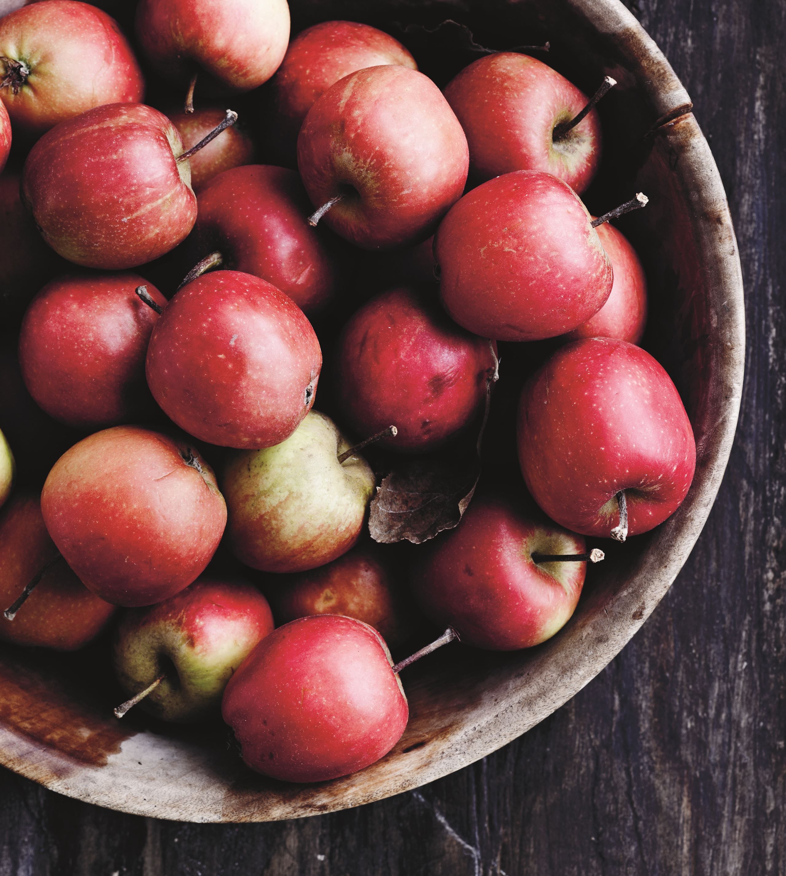 De gode, danske æbler​​​​‌﻿‍﻿​‍​‍‌‍﻿﻿‌﻿​‍‌‍‍‌‌‍‌﻿‌‍‍‌‌‍﻿‍​‍​‍​﻿‍‍​‍​‍‌﻿​﻿‌‍​‌‌‍﻿‍‌‍‍‌‌﻿‌​‌﻿‍‌​‍﻿‍‌‍‍‌‌‍﻿﻿​‍​‍​‍﻿​​‍​‍‌‍‍​‌﻿​‍‌‍‌‌‌‍‌‍​‍​‍​﻿‍‍​‍​‍‌‍‍​‌﻿‌​‌﻿‌​‌﻿​​​﻿‍‍​‍﻿﻿​‍﻿﻿‌‍﻿​‌‍﻿﻿‌‍​﻿‌‍​‌‌‍﻿​‌‍‍​‌‍﻿﻿‌﻿​﻿‌﻿‌​​﻿‍‍​﻿​﻿​﻿​﻿​﻿​﻿​﻿​﻿​‍﻿﻿‌‍‍‌‌‍﻿‍‌﻿‌​‌‍‌‌‌‍﻿‍‌﻿‌​​‍﻿﻿‌‍‌‌‌‍‌​‌‍‍‌‌﻿‌​​‍﻿﻿‌‍﻿‌‌‍﻿﻿‌‍‌​‌‍‌‌​﻿﻿‌‌﻿​​‌﻿​‍‌‍‌‌‌﻿​﻿‌‍‌‌‌‍﻿‍‌﻿‌​‌‍​‌‌﻿‌​‌‍‍‌‌‍﻿﻿‌‍﻿‍​﻿‍﻿‌‍‍‌‌‍‌​​﻿﻿‌‌‍‌​​﻿‌​‌‍‌‍​﻿‍​​﻿​‍​﻿‌‍​﻿‌​‌‍‌​​‍﻿‌‌‍​‍​﻿​﻿​﻿‌‌​﻿​‍​‍﻿‌​﻿‌​‌‍‌‌​﻿‌﻿‌‍‌‍​‍﻿‌‌‍​‌​﻿‍​​﻿‌‌​﻿​​​‍﻿‌‌‍​﻿​﻿​‌‌‍‌​​﻿‍‌‌‍​‌​﻿‌﻿​﻿‌​​﻿​﻿​﻿​﻿‌‍​﻿‌‍‌‌‌‍‌‌​﻿‍﻿‌﻿‌​‌﻿‍‌‌﻿​​‌‍‌‌​﻿﻿‌‌‍​‌‌﻿​‍‌﻿‌​‌‍‍‌‌‍​﻿‌‍﻿​‌‍‌‌​﻿‍﻿‌﻿​​‌‍​‌‌﻿‌​‌‍‍​​﻿﻿‌‌‍‍‌‌‍﻿‌‌‍​‌‌‍‌﻿‌‍‌‌​‍﻿‍‌‍​‌‌‍﻿​‌﻿‌​​﻿﻿﻿‌‍​‍‌‍​‌‌﻿​﻿‌‍‌‌‌‌‌‌‌﻿​‍‌‍﻿​​﻿﻿‌‌‍‍​‌﻿‌​‌﻿‌​‌﻿​​​‍‌‌​﻿​﻿‌​​‌​‍‌‌​﻿​‍‌​‌‍​‍‌‌​﻿​‍‌​‌‍‌‍﻿​‌‍﻿﻿‌‍​﻿‌‍​‌‌‍﻿​‌‍‍​‌‍﻿﻿‌﻿​﻿‌﻿‌​​‍‌‌​﻿​﻿‌​​‌​﻿​﻿​﻿​﻿​﻿​﻿​﻿​﻿​‍‌‍‌‍‍‌‌‍‌​​﻿﻿‌‌‍‌​​﻿‌​‌‍‌‍​﻿‍​​﻿​‍​﻿‌‍​﻿‌​‌‍‌​​‍﻿‌‌‍​‍​﻿​﻿​﻿‌‌​﻿​‍​‍﻿‌​﻿‌​‌‍‌‌​﻿‌﻿‌‍‌‍​‍﻿‌‌‍​‌​﻿‍​​﻿‌‌​﻿​​​‍﻿‌‌‍​﻿​﻿​‌‌‍‌​​﻿‍‌‌‍​‌​﻿‌﻿​﻿‌​​﻿​﻿​﻿​﻿‌‍​﻿‌‍‌‌‌‍‌‌​‍‌‍‌﻿‌​‌﻿‍‌‌﻿​​‌‍‌‌​﻿﻿‌‌‍​‌‌﻿​‍‌﻿‌​‌‍‍‌‌‍​﻿‌‍﻿​‌‍‌‌​‍‌‍‌﻿​​‌‍​‌‌﻿‌​‌‍‍​​﻿﻿‌‌‍‍‌‌‍﻿‌‌‍​‌‌‍‌﻿‌‍‌‌​‍﻿‍‌‍​‌‌‍﻿​‌﻿‌​​‍‌‍‌﻿​​‌‍‌‌‌﻿​‍‌﻿​﻿‌﻿​​‌‍‌‌‌‍​﻿‌﻿‌​‌‍‍‌‌﻿‌‍‌‍‌‌​﻿﻿‌‌﻿​​‌﻿‌‌‌‍​‍‌‍﻿​‌‍‍‌‌﻿​﻿‌‍‍​‌‍‌‌‌‍‌​​‍​‍‌﻿﻿‌